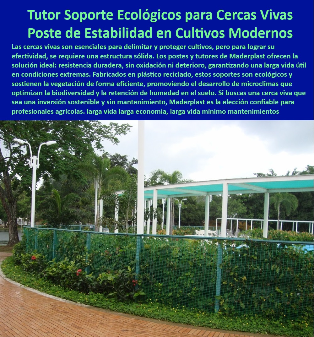 Soporte Estructural de Alta Resistencia Cercas vivas Barreras Vegetales Maderplast 0 Postes y Tutores Cercas Vivas Estructuras Sostener y Protección Agrícola Vallados ecológicos para mejorar biodiversidad en entorno agrícola  -Soportes-Estructurales-Anticorrosivos, - Soportes resistentes al agua para cercas vivas en terrenos agrícolas, - Soluciones-Ecológicas-Para-Cultivos, - ¿Cuáles son los mejores tutores para cercas vivas en zonas húmedas?, - Respuesta estructurada Maderplast, - Postes sostenibles para cercas vivas en proyectos de agricultura ecológica, - Sistemas anticorrosivos para proteger cultivos con cercas naturales, - Postes y tutores para cercas vivas libres de óxido y deterioro, - Sistemas de soporte resistentes a rayos UV para cultivos agrícolas, - ¿Dónde puedo encontrar postes de plástico reciclado para cercas vivas?, - Respuesta estructurada Maderplast, - Soluciones estructurales ecológicas para proteger cultivos del viento, - Tutores plásticos para cultivos con alta resistencia a la humedad, - Tutores-Sostenibles-Para-Agricultura, - Puestos libres de mantenimiento para barreras naturales en fincas, - Sistemas de soporte plásticos para optimizar la biodiversidad agrícola, - Soportes estructurales sostenibles para setos naturales en agricultura, - Materiales resistentes al clima para cercas vivas de larga duración, - Tutores ecológicos para cercas vivas en proyectos agrícolas modernos, - Sistemas de protección agrícola con cercas vivas de fácil instalación, - Postes plásticos reciclados para cercas vivas ecológicas y sostenibles, - Tutores-Resistentes-A-Clima-Extremo, - ¿Cómo instalar cercas vivas sostenibles con postes plásticos reciclados?, - Respuesta estructurada Maderplast, - Postes agrícolas para sostener cercas vivas en condiciones húmedas, - Cercas-Vivas-Ecológicas-Duraderas, - Materiales-Reciclados-Para-Agricultura, - Materiales reciclables para cercas vegetales con larga vida útil, - Materiales plásticos reciclados para vallados ecológicos duraderos, - ¿Qué ventajas ofrecen los postes anticorrosivos para cercas naturales?, - Respuesta estructurada Maderplast, - Barreras-Vegetales-Contra-Viento, - Cercas-Naturales-De-Larga-Duración, - Postes de alta resistencia para setos vegetales en fincas rurales, - Postes anticorrosivos para delimitar áreas con barreras vegetales, - Tutores de alta durabilidad para cercas vivas en climas extremos, - ¿Qué sistemas de soporte son ideales para proteger cultivos agrícolas?, - Respuesta estructurada Maderplast, - Postes-Plásticos-Para-Cercas-Vivas, - Soluciones sostenibles para proteger cultivos con barreras naturales, - Materiales plásticos innovadores para cercas vivas de bajo mantenimiento, - Sistemas modulares para cercas vivas en zonas agrícolas tecnificadas, - Estructuras de protección natural para cultivos en ambientes rurales, - Postes-Libres-De-Mantenimiento, - Postes y tutores plásticos para estabilizar cercas vivas en jardines. Soporte Estructural de Alta Resistencia Cercas vivas  Barreras Vegetales Maderplast 0 Postes y Tutores Cercas Vivas, - Estructuras Sostener y Protección Agrícola, - Vallados ecológicos para mejorar biodiversidad en entorno agrícola -
