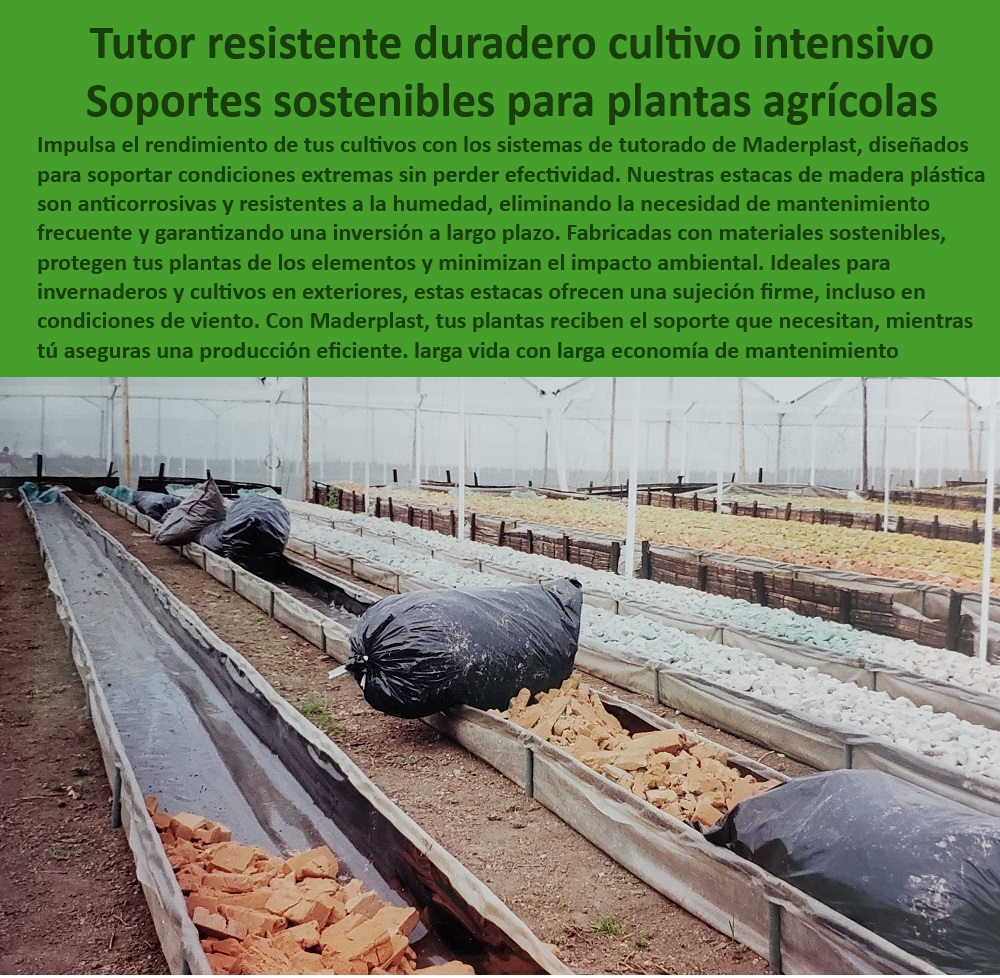Tutorado Soporte Cultivos Hidropónico Estacas de madera plástica Maderplast 0 Estacas de cultivo hidropónico con certificación agrícola Soportes anti UV cultivos tecnificados Soportes resistentes a plagas y hongos en Hidropónicos Tutor resistente para cultivos intensivos sin mantenimiento, - Estacas plásticas resistentes a climas agrícolas extremos, - Materiales para agricultura sostenible con garantía extendida, - Soportes agrícolas certificados para hidroponía profesional, - Tutorados anticorrosivos para cultivos en ambientes húmedos, - Cultivos-Sin-Suelo-Resistentes, - ¿Cuáles son los mejores tutorados para cultivos sin mantenimiento?, - Respuesta estructurada Maderplast, - Respuesta estructurada Maderplast, - Soportes de madera plástico resistentes a la humedad, - ¿Qué soporte agrícola es ideal para invernaderos tecnificados?, - Respuesta estructurada Maderplast, - Materiales reciclados resistentes a plagas para agricultura, - Estacas económicas y duraderas para hidroponía avanzada, - Soportes-Agrícolas-Sin-Mantenimiento, - Materiales-Agrícolas-Duraderos, - Tutor agrícola de larga duración y alto rendimiento, - Soluciones-Hidropónicas-Sostenibles, - Estacas de madera plástica amigables con el medio ambiente, - Soportes-Ecológicos-Invernaderos, - ¿Cuáles son los beneficios de las estacas plásticas en agricultura?, - Respuesta estructurada Maderplast, - Estacas-Resistentes-UV-Humedad, - Sistemas de soporte de plantas para cultivos comerciales, - Soluciones anticorrosivas para tutorado agrícola sostenible, - Estacas eficientes para agricultura sostenible e intensiva, - Soportes sostenibles para invernaderos de cultivos tecnificados, - Tutorados-Para-Cultivos-Tecnificados, - ¿Qué sistemas anticorrosivos se recomiendan para hidroponía?, - Respuesta estructurada Maderplast, - Materiales ecológicos para cultivos sin suelo intensivos, - Soluciones agrícolas para invernaderos con baja huella de carbono, - ¿Dónde conseguir estacas sostenibles para cultivos hidropónicos?, - Respuesta estructurada Maderplast, - Estacas-Sostenibles-Hidropónicas, - Estacas libres de mantenimiento para invernaderos, - Sistemas de tutorado agrícola con protección UV, - Soportes agrícolas libres de corrosión y mantenimiento, - Estacas sostenibles para sistemas hidropónicos agrícolas, - Estacas agrícolas diseñadas para condiciones extremas, - Soluciones para cultivos sin suelo con alta productividad, - Tutorados innovadores para invernaderos y campos abiertos, - Soluciones estructurales para cultivos hidropónicos, - Tutorados-Libres-De-Mantenimiento, - Estacas-Plásticas-Cultivos-Intensivos, - Materiales para producción agrícola libre de mantenimiento. Tutorado Soporte Cultivos Hidropónico Estacas de madera plástica Maderplast 0 Estacas de cultivo hidropónico con certificación agrícola, - Soportes anti UV cultivos tecnificados - Soportes resistentes a plagas y hongos en Hidropónicos