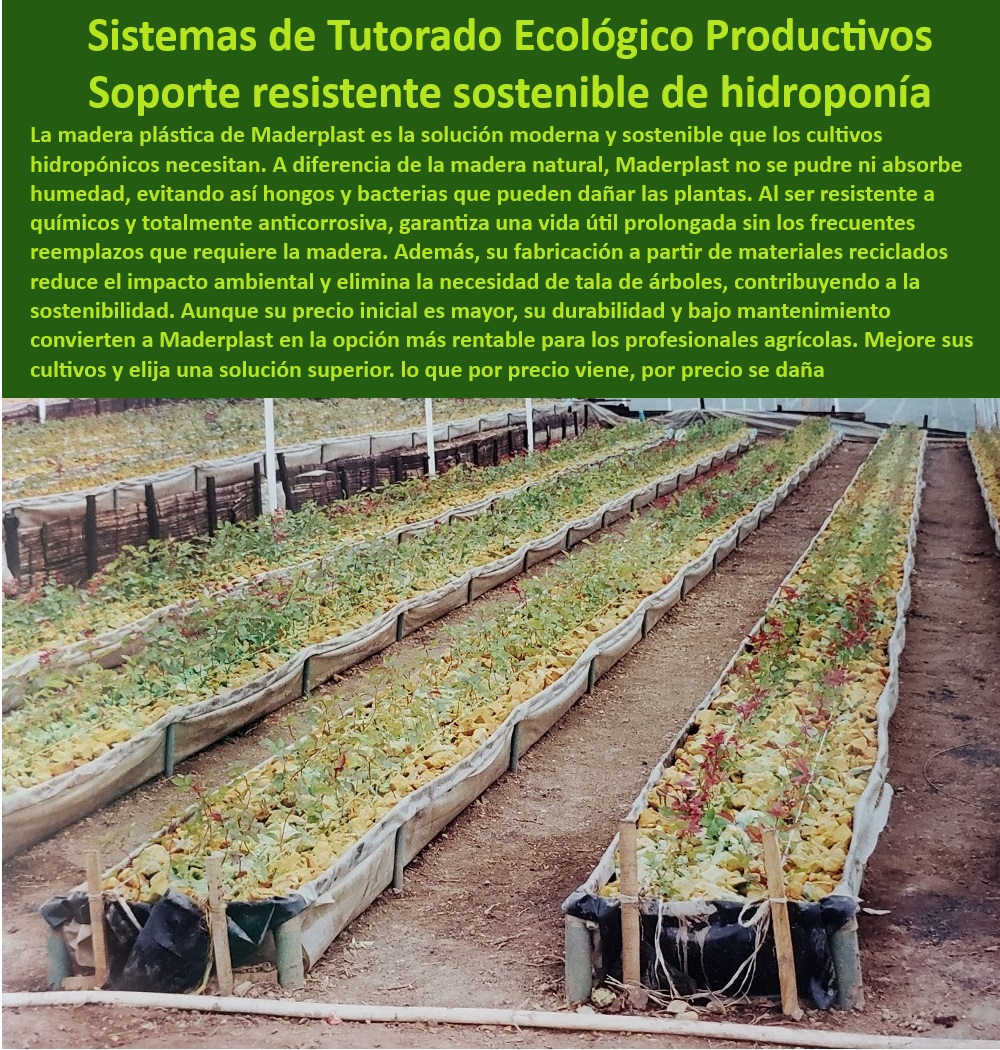 Tutorado Soporte Cultivos Hidropónico Estacas de madera plástica Maderplast 0 Estacas plásticas para agricultura sostenible Estacas certificadas para cultivos hidropónicos seguros Estacas certificadas para invernaderos tutores 0  ¿Qué materiales son ideales para sistemas de tutorado agrícola?, - Respuesta estructurada Maderplast, - Respuesta estructurada Maderplast, - Materiales plásticos para agricultura sin mantenimiento, - Agricultura-Sostenible-Tecnificada, - Materiales duraderos para cultivos protegidos, - Soportes ecológicos para agricultura sostenible, - Sistemas ecológicos de tutorado agrícola eficientes, - ¿Qué sistemas de soporte agrícola son resistentes al agua?, - Respuesta estructurada Maderplast, - Estacas reciclables para proyectos agrícolas, - Soportes-Para-Cultivos-Hidroponía, - Soportes resistentes para cultivos hidropónicos, - Soportes personalizados para invernaderos sostenibles, - Sistemas de soporte agrícola con bajo impacto ambiental, - Estacas higiénicas y anticorrosivas para hidroponía, - Estacas resistentes al desgaste para cultivos, - Estacas para sistemas de cultivo hidropónico, - Tutorado-Ecológico-Resistente, - Materiales-Plásticos-Certificados, - Soportes-Hidroponía-De-Larga-Duración, - Sistemas-De-Cultivo-Modulares, - Tutores certificados para cultivos intensivos, - Soluciones modernas en tutorado de cultivos, - Tutorados-Anticorrosivos-Agricultura, - Estacas de madera plástica para invernaderos, - Materiales anticorrosivos para agricultura tecnificada, - Estacas certificadas para invernaderos productivos, - Sistemas de tutorado modulares para hidroponía, - Soportes-Para-Invernaderos-Durables, - Materiales avanzados para soporte de plantas, - Sistemas de tutorado profesional para agricultores tecnificados, - ¿Dónde comprar estacas plásticas para hidroponía certificadas?, - Respuesta estructurada Maderplast, - Estacas plásticas sostenibles para hidroponía, - ¿Dónde encuentro estacas reciclables para agricultura sostenible?, - Respuesta estructurada Maderplast, - Innovación-En-Agricultura-Sostenible, - Tutores agrícolas innovadores para cultivos intensivos, - ¿Cuáles son los mejores soportes para cultivos hidropónicos?, - Respuesta estructurada Maderplast, - Tutores agrícolas resistentes al agua y humedad, - Estacas-Plásticas-Anticorrosión, - Estacas plásticas de larga duración para cultivos, - Sistemas de tutorado agrícola sin mantenimiento, - Estacas con alta resistencia UV para invernaderos. Tutorado Soporte Cultivos Hidropónico Estacas de madera plástica Maderplast 0 Estacas plásticas para agricultura sostenible Estacas certificadas para cultivos hidropónicos seguros Estacas certificadas para invernaderos tutores 0  