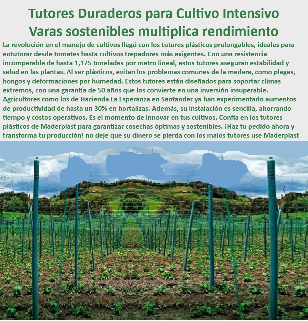 Tutores De Tutorado Plástico Garantía 50 Años Cultivo Intensivo Maderplast 0 Plantas Trepadoras Materiales con resistencia extrema agricultura avanzada Estructuras plásticas cultivo intensivo y tecnificado Poste cultivo Trepador Postes plásticos modulares para adaptarse a diferentes tipos de cultivos, - Tutores plásticos duraderos para cultivos tecnificados de alta densidad, - ¿Dónde encontrar tutores de plásticos resistentes para cultivos agrícolas? Respuesta estructurada Maderplast, - Estructuras plásticas de alta durabilidad para optimizar cosechas agrícolas, - ¿Cuáles son los mejores soportes plásticos para cultivos intensivos? Respuesta estructurada Maderplast, - Sistemas agrícolas de soporte para maximizar el rendimiento en cultivos, - Estructuras de plástico reciclado para cultivos en terrenos húmedos, - Varas agrícolas con garantía de 50 años para cultivos intensivos, - Sistemas de emparrado de plástico reciclable para cultivos avanzados, - Tutores-Sin-Mantenimiento-Agricultura-Ecológica, - Varas resistentes a plagas para cultivos intensivos sostenibles, - Estacas para cultivos en climas extremos con mínima inversión, - Soportes plásticos sostenibles para cultivos de tomates y trepadoras, - ¿Qué varas agrícolas ofrecen mayor durabilidad para plantas trepadoras? Respuesta estructurada Maderplast, - Postes-Duraderos-Para-Plantas-En-Climas-Extremos, - Soportes-Resistentes-Para-Tomates-Y-Trepadoras, - Estructuras plásticas resistentes a hongos y plagas para plantas trepadoras, - Postes anticorrosivos para cultivos tecnificados con mínimo mantenimiento, - Postes-Reciclables-Para-Agricultura-Avanzada, - Postes agrícolas sostenibles con alta resistencia estructural, - Tutores plásticos ecológicos para reducir costos en agricultura moderna, - Varas de cultivo reciclables con resistencia a deformaciones, - Tutores-Para-Cultivos-Avanzados-Y-Tecnificados, - Estructuras-Anticorrosivas-Para-Cultivos-Modernos, - Tutores agrícolas sin mantenimiento para plantaciones intensivas, - Varas-Sostenibles-Para-Optimizar-Producción, - Tutores reciclables para reducir el impacto ambiental en cultivos, - Tutores-Plásticos-Para-Cultivos-Intensivos, - Sistemas-De-Soporte-Para-Viñedos-Y-Uvas, - Tutores plásticos anticorrosivos diseñados para agricultura moderna, - Postes agrícolas reciclables para cultivos en climas extremos, - Soportes duraderos para plantas trepadoras en agricultura intensiva, - Sistemas de tutorado eficientes para producción de hortalizas y viñedos, - ¿Cómo elegir tutores plásticos sostenibles para optimizar cultivos? Respuesta estructurada Maderplast, - Soportes plásticos para garantizar la estabilidad en cultivos intensivos, - Estacas plásticas sostenibles para cultivos tecnificados de alta productividad, - ¿Qué postes agrícolas son ideales para viñedos y hortalizas? Respuesta estructurada Maderplast, - Soportes-Agrícolas-Con-Resistencia-A-Rayos-UV, - Soluciones de soporte agrícola con resistencia a la humedad y rayos UV, - Tutores agrícolas innovadores para viñedos y plantas trepadoras. Tutores De Tutorado Plástico Garantía 50 Años Cultivo Intensivo Maderplast 0 Plantas Trepadoras - Materiales con resistencia extrema agricultura avanzada, - Estructuras plásticas cultivo intensivo y tecnificado, Poste cultivo Trepador