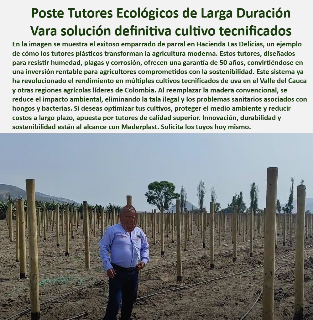 Tutores De Tutorado Plástico Garantía 50 Años Cultivo Tecnificado Maderplast 0 Emparrado De Parral Tutores con garantía extendida para cultivo seguro Estructuras de soporte anticorrosivas para invernaderos Estructuras plásticas -Tutores-Plásticos-Ecológicos, - -Tutores-Agrícolas-Resistentes, - Estructuras plásticas para plantaciones agrícolas sostenibles y duraderas, - Tutores reciclables y resistentes para cultivos de frutas y verduras, - Tutores de plástico anticorrosivos para cultivos tecnificados, - Postes-De-Cultivo-Ecológicos, - -Estructuras-Plásticas-Antihumedad, - ¿Cuáles son las mejores opciones de soporte para emparrados agrícolas? Respuesta estructurada Maderplast, - -Tutores-De-Plástico-Para-Agricultura, - ¿Qué tutores ofrecen garantía de 50 años para plantaciones? Respuesta estructurada Maderplast, - Tutores plásticos para cultivos intensivos y sostenibles, - Estructuras de soporte recicladas para cultivos de alto rendimiento, - Estacas plásticas sostenibles para cultivos de alta productividad, - Postes agrícolas seguros para cultivos en zonas de alta humedad, - Tutores de plástico de larga duración para invernaderos y cultivos, - Postes agrícolas ecológicos para reducir el impacto ambiental, - Sistemas agrícolas con estacas de plástico libres de mantenimiento, - Sistemas-De-Emparrado-Tecnificados, - Tutores plásticos ecológicos con garantía de 50 años para cultivos, - Estructuras agrícolas anticorrosivas para cultivos bajo condiciones extremas, - Postes plásticos económicos para cultivos tecnificados sin mantenimiento, - ¿Qué sistemas de soporte agrícola resisten fertilizantes y humedad? Respuesta estructurada Maderplast, - Tutores agrícolas duraderos que eliminan costos recurrentes, - Estacas-Duraderas-Para-Cultivos, - Soportes para parras resistentes a la humedad y al contacto con fertilizantes, - Postes agrícolas con resistencia extendida para ambientes húmedos, - ¿Dónde comprar tutores plásticos resistentes para cultivos agrícolas? Respuesta estructurada Maderplast, - Soportes plásticos innovadores para optimizar el manejo de cultivos, - Sistemas de tutorado libres de mantenimiento para cultivos modernos, - ¿Cómo reducir costos en cultivos usando estacas plásticas sostenibles? Respuesta estructurada Maderplast, - Estacas agrícolas con protección UV y resistencia prolongada, - Tutores plásticos con resistencia a químicos y fertilizantes, - Soportes plásticos ecológicos para cultivos de uva y hortalizas, - Postes agrícolas reciclados para cultivos al aire libre sin mantenimiento, - Soportes-Plásticos-Anticorrosivos, - Estacas agrícolas diseñadas para resistir plagas y hongos, - Postes-Agrícolas-Reciclables, - Sistemas de soporte para emparrados agrícolas resistentes al clima, - Sistemas de emparrado sostenibles con materiales reciclados, - Soportes-De-Cultivo-Sostenibles Tutores De Tutorado Plástico Garantía 50 Años Cultivo Tecnificado Maderplast 0 Emparrado De Parral - Tutores con garantía extendida para cultivo seguro, - Estructuras de soporte anticorrosivas para invernaderos - Estructuras plásticas
