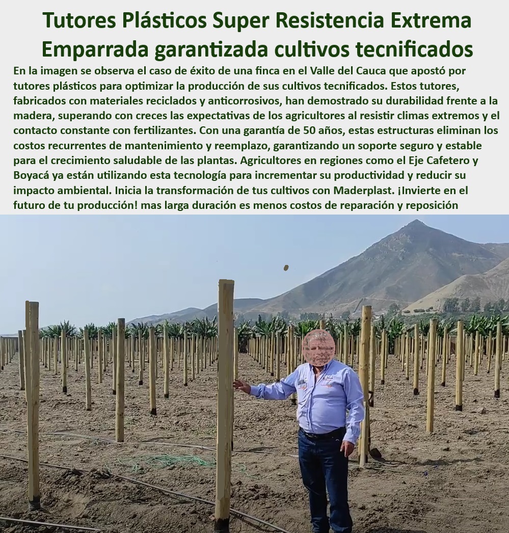 Tutores De Tutorado Plástico Garantía 50 Años Cultivo Tecnificado Maderplast 0 Emparrado De Parral Tutores de alta resistencia a climas extremos Estructuras de soporte sin necesidad de reemplazo constante Estacas cultivos Tutor Sistemas agrícolas de tutorado con alta resistencia a la humedad, - Estacas-De-Larga-Duración, - Postes-Reciclados-Para-Cultivos, - Tutores plásticos anticorrosivos para emparrado de cultivos tecnificados, - Postes agrícolas de bajo mantenimiento y alto rendimiento, - Estacas de apoyo agrícola, - ¿Qué ventajas tienen los tutores plásticos con protección UV? Respuesta estructurada Maderplast, - Sistemas-De-Emparrado-Agrícola, - ¿Dónde comprar tutores reciclables para emparrado agrícola? Respuesta estructurada Maderplast, - Sistemas de soporte agrícola sostenibles y duraderos, - Materiales reciclados para emparrado en sistemas de cultivo tecnificado, - Estacas de cultivo diseñadas para condiciones climáticas adversas, - Tutores-Anticorrosivos-Duraderos, - Tutores anticorrosivos ideales para cultivos de frutas y hortalizas, - Soportes de plástico para cultivos que eliminan costos de reposición, - ¿Cuáles son los mejores tutores plásticos para cultivos tecnificados? Respuesta estructurada Maderplast, - Estacas agrícolas reciclables diseñadas para emparrado de cultivos, - Tutores-Plásticos-Resistentes, - Tutores agrícolas resistentes al desgaste ya los cambios climáticos, - Estacas de soporte agrícola con garantía de 50 años, - Tutores plásticos para cultivos diseñados para maximizar la productividad, - Sistemas de tutorado resistentes para ambientes agrícolas extremos, - Tutores de plástico innovadores para cultivos con fertilización intensiva, - ¿Cómo mejorar la productividad agrícola con sistemas de tutorado duraderos? Respuesta estructurada Maderplast, - Tutores para parral diseñados para resistir climas extremos, - Postes plásticos resistentes al contacto con fertilizantes químicos, - Estacas plásticas para sistemas agrícolas tecnificados y eficientes, - Estacas para agricultura tecnificada que promueven la sostenibilidad ambiental, - Postes reciclables para cultivos que requieren soporte intensivo, - Soportes reciclados para cultivos en zonas de alta fertilización, - Emparrados-De-Cultivo-Productivo, - Tutores agrícolas con protección UV para mayor durabilidad, - Postes-Con-Protección-UV, - Tutores ecológicos de alta resistencia para cultivos de alta productividad, - ¿Qué sistemas de soporte agrícola son ideales para climas extremos? Respuesta estructurada Maderplast, - Soportes agrícolas libres de mantenimiento para agricultura sostenible, - Soportes-Agrícolas-Sostenibles, - Postes plásticos reciclados para plantaciones intensivas de frutales, - Materiales sostenibles para emparrados agrícolas de larga duración, - Sistemas-De-Tutorado-Tecnificados Tutores De Tutorado Plástico Garantía 50 Años Cultivo Tecnificado Maderplast 0 Emparrado De Parral - Tutores de alta resistencia a climas extremos, - Estructuras de soporte sin necesidad de reemplazo constante - Estacas cultivos Tutor