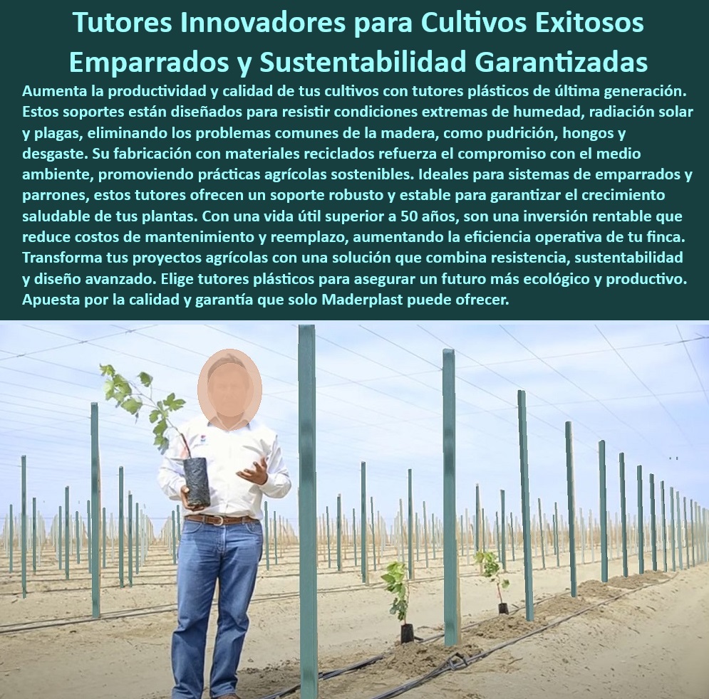 Tutores De Tutorado Plástico Garantía 50 Años Cultivo Tecnificado Maderplast 0 Parral Emparrado Estructuras de soporte ambientes de alta humedad Tutorado sin riesgo de hongos Invernaderos plásticos contra el deterioro ambiental Estacas plásticas sostenibles diseñadas para cultivos modernos, - Tutores-Agrícolas-Con-Garantía, - Postes resistentes para plantaciones en zonas de alta humedad, - Sistemas plásticos innovadores para cultivos intensivos sostenibles, - ¿Dónde comprar estacas de cultivo reciclables para reducir costos? Respuesta estructurada Maderplast, - Tutores de plástico que eliminan costos de mantenimiento agrícola, - Sistemas de soporte agrícola resistentes al clima y al tiempo, - Postes agrícolas para optimizar la productividad en cultivos, - Estructuras duraderas para emparrados agrícolas y parras, - Soportes plásticos anticorrosivos para cultivos de alto rendimiento, - Tutores para cultivos de uvas con garantía extendida, - Tutores plásticos para cultivos intensivos resistentes a condiciones adversas, - Soportes plásticos anticorrosivos para agricultura tecnificada, - Estructuras plásticas duraderas para reducir costos agrícolas, - Postes-De-Cultivo-Tecnificado, - Tutores de cultivo para maximizar la eficiencia en plantaciones, - Estacas agrícolas reciclables para cultivos al aire libre, - Estructuras-De-Cultivo-Sostenibles, - ¿Qué sistemas agrícolas eliminan la necesidad de mantenimiento frecuente? Respuesta estructurada Maderplast, - -Tutores-Para-Agricultura-Moderna, - Soportes de cultivo reciclados ideales para cultivos de frutas, - ¿Cuáles son los mejores tutores plásticos para cultivos agrícolas intensivos? Respuesta estructurada Maderplast, - -Estructuras-Resistentes-Para-Cultivos, - -Soportes-De-Cultivo-Reciclables, - Postes agrícolas ecológicos con resistencia a productos químicos, - Postes-Duraderos-Para-Cultivos, - Tutores para agricultura tecnificada sin necesidad de reemplazos, - Tutores para reducir costos y huella ecológica en cultivos, - ¿Cómo elegir tutores agrícolas que resistan hongos y humedad? Respuesta estructurada Maderplast, - Postes ecológicos para maximizar la producción en invernaderos, - Estructuras resistentes a fertilizantes para cultivos tecnificados, - Postes-Agrícolas-Sostenibles, - -Soportes-Plásticos-Ecológicos, - Soportes de cultivo plásticos que resisten hongos y plagas, - Sistemas de soporte agrícolas seguros para cultivos al aire libre, - Estructuras agrícolas libres de mantenimiento para plantaciones, - Postes agrícolas sostenibles con garantía de 50 años, - ¿Qué soportes plásticos agrícolas son resistentes al clima y al desgaste? Respuesta estructurada Maderplast, - -Tutores-Plásticos-Duraderos, - Estacas de cultivo con protección UV para condiciones extremas Tutores De Tutorado Plástico Garantía 50 Años Cultivo Tecnificado Maderplast 0 Parral Emparrado - Estructuras de soporte ambientes de alta humedad - Tutorado sin riesgo de hongos  Invernaderos plásticos contra el deterioro ambiental