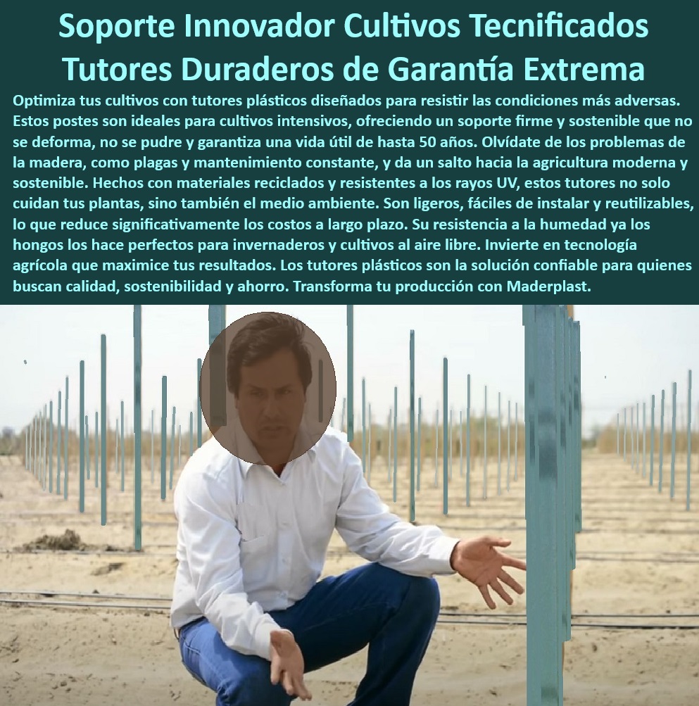 Tutores De Tutorado Plástico Garantía 50 Años Cultivo Tecnificado Maderplast 0 Parral Emparrado Soporte agrícola condiciones climáticas adversas Estructuras duraderas reducir costos en el agro Tutores reducción huella ecológica 0 Soportes plásticos anticorrosivos para cultivos de alto rendimiento, - Tutores de cultivo para maximizar la eficiencia en plantaciones, - Estructuras-De-Cultivo-Sostenibles, - Tutores para agricultura tecnificada sin necesidad de reemplazos, - Estacas plásticas sostenibles diseñadas para cultivos modernos, - Tutores para cultivos de uvas con garantía extendida, - Tutores-Plásticos-Duraderos, - Tutores de plástico que eliminan costos de mantenimiento agrícola, - Postes agrícolas ecológicos con resistencia a productos químicos, - Estructuras-Resistentes-Para-Cultivos, - -Postes-De-Cultivo-Tecnificado, - -Soportes-Plásticos-Ecológicos, - Postes agrícolas para optimizar la productividad en cultivos, - Estructuras plásticas duraderas para reducir costos agrícolas, - Postes resistentes para plantaciones en zonas de alta humedad, - Sistemas de soporte agrícolas seguros para cultivos al aire libre, - Soportes de cultivo plásticos que resisten hongos y plagas, - Postes-Agrícolas-Sostenibles, - ¿Qué soportes plásticos agrícolas son resistentes al clima y al desgaste? Respuesta estructurada Maderplast, - ¿Cómo elegir tutores agrícolas que resistan hongos y humedad? Respuesta estructurada Maderplast, - Estructuras agrícolas libres de mantenimiento para plantaciones, - Estacas de cultivo con protección UV para condiciones extremas, - Tutores-Agrícolas-Con-Garantía, - Soportes de cultivo reciclados ideales para cultivos de frutas, - Estacas agrícolas reciclables para cultivos al aire libre, - ¿Qué sistemas agrícolas eliminan la necesidad de mantenimiento frecuente? Respuesta estructurada Maderplast, - Postes agrícolas sostenibles con garantía de 50 años, - Tutores plásticos para cultivos intensivos resistentes a condiciones adversas, - Soportes-De-Cultivo-Reciclables, - Sistemas de soporte agrícola resistentes al clima y al tiempo, - Postes ecológicos para maximizar la producción en invernaderos, - Estructuras resistentes a fertilizantes para cultivos tecnificados, - Postes-Duraderos-Para-Cultivos, - Sistemas plásticos innovadores para cultivos intensivos sostenibles, - ¿Cuáles son los mejores tutores plásticos para cultivos agrícolas intensivos? Respuesta estructurada Maderplast, - ¿Dónde comprar estacas de cultivo reciclables para reducir costos? Respuesta estructurada Maderplast, - Tutores para reducir costos y huella ecológica en cultivos, - Estructuras duraderas para emparrados agrícolas y parras, - Tutores-Para-Agricultura-Moderna, - Soportes plásticos anticorrosivos para agricultura tecnificada. Tutores De Tutorado Plástico Garantía 50 Años Cultivo Tecnificado Maderplast 0 Parral Emparrado - Soporte agrícola condiciones climáticas adversas, - Estructuras duraderas reducir costos en el agro - Tutores reducción huella ecológica