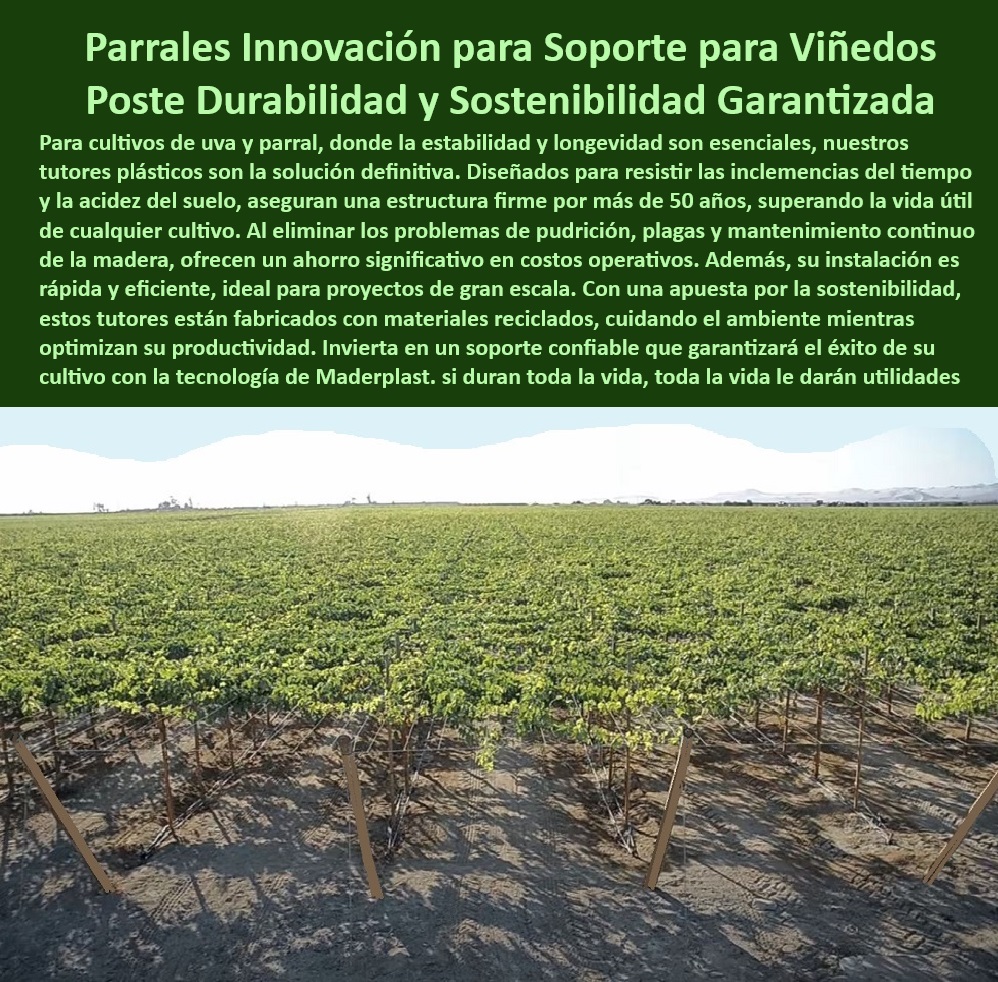 Tutores De Tutorado Plástico Garantía 50 Años Cultivo Tecnificado Maderplast 0 Parral viñedos Tutores agrícolas resistentes a la acidez del suelo Tutores plásticos seguros cultivos tecnificados Poste de cultivo resisten Tutores ¿Qué soportes agrícolas eliminan el mantenimiento en plantaciones? Respuesta estructurada Maderplast, - Postes de cultivo tecnificados para uvas y frutales resistentes, - ¿Dónde comprar postes agrícolas resistentes para uvas y parral? Respuesta estructurada Maderplast, - Soportes de cultivo duraderos contra acidez y humedad del suelo, - Tutores plásticos ideales para plantaciones en climas adversos, - Soportes-Agrícolas-Duraderos, - Postes de soporte agrícola que maximizan la productividad en cultivos, - Soportes innovadores para plantaciones resistentes a la acidez, - Tutores agrícolas con baja huella de carbono para la sostenibilidad, - Postes agrícolas que eliminan pudrición y mantenimiento constante, - Tutores plásticos sostenibles con más de 50 años de vida útil, - Tutores agrícolas reciclables con protección UV y contra humedad, - Sistemas de tutorado plástico diseñados para eficiencia agrícola, - ¿Cómo elegir tutores reciclables y duraderos para cultivos intensivos? Respuesta estructurada Maderplast, - -Postes-Ecológicos-De-Larga-Vida, - ¿Cuáles son los mejores tutores plásticos para viñedos sostenibles? Respuesta estructurada Maderplast, - Tutores plásticos resistentes a plagas y hongos en plantaciones, - Soportes-Innovadores-Para-Cultivos, - Postes plásticos anticorrosivos para cultivos en suelos ácidos, - Postes para parral diseñados para resistencia a rayos UV, - Sistemas-Sostenibles-De-Tutorado, - Sistemas de soporte agrícola que eliminan mantenimiento continuo, - Estructuras-Plásticas-Para-Parral, - Soportes plásticos para viñedos resistentes al calor y la humedad, - Postes agrícolas reciclables y sostenibles para cultivos intensivos, - Tutores-Reciclados-Y-Duraderos, - -Tutores-Anticorrosivos-Para-Uvas, - Tutores plásticos para uvas que reducen costos a largo plazo, - Tutores agrícolas plásticos reciclados para viñedos tecnificados, - Soportes plásticos para cultivos tecnificados de alta durabilidad, - ¿Qué materiales agrícolas son ideales para climas extremos y acidez? Respuesta estructurada Maderplast, - Tutores agrícolas anticorrosivos para climas extremos en viñedos, - Sistemas-Agrícolas-Bajo-Mantenimiento, - -Tutores-Plásticos-Para-Viñedos, - Estructuras agrícolas plásticas con garantía de 50 años, - Estructuras agrícolas plásticas ideales para cultivos a gran escala, - Postes ecológicos diseñados para condiciones extremas en viñedos, - Soportes plásticos que reducen costos operativos en la agricultura, - Sistemas agrícolas con postes plásticos reciclados y sostenibles, - Postes-Resistentes-UV-Y-Humedad Tutores De Tutorado Plástico Garantía 50 Años Cultivo Tecnificado Maderplast 0 Parral viñedos - Tutores agrícolas resistentes a la acidez del suelo, - Tutores plásticos seguros cultivos tecnificados, - Poste de cultivo resisten Tutores