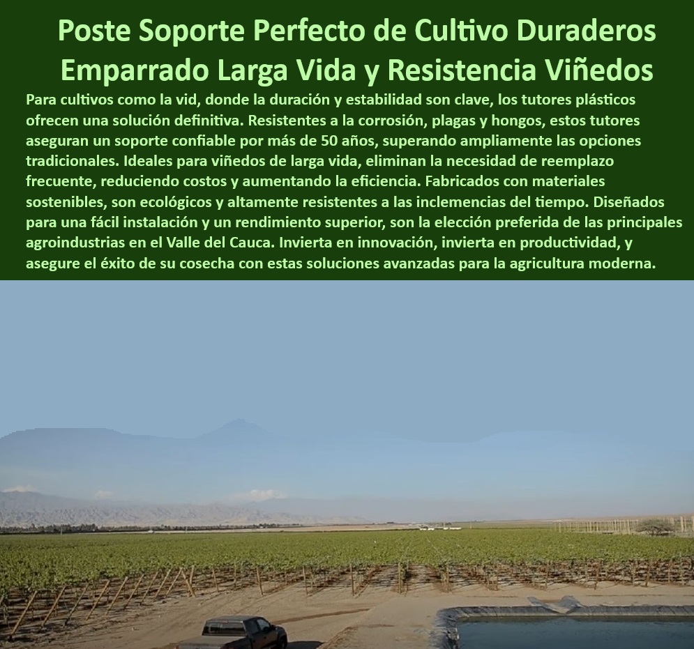 Tutores De Tutorado Plástico Garantía 50 Años Cultivo Tecnificado Maderplast 0 Parral viñedos Tutores plásticos que no requieren reemplazo frecuente Tutorado sin plagas ni hongos para cultivos orgánicos Tutor plásticos Postes plásticos diseñados para eliminar costos de reemplazo agrícola, - Sistemas de soporte agrícola que protegen el medio ambiente, - Postes-Agrícolas-Reciclables, - Tutores de alta resistencia para plantaciones de uva y viñedos, - Sistemas de soporte agrícola sin acumulación de humedad y hongos, - Tutores-Ecológicos-Agrícolas, - Tutores agrícolas resistentes al clima extremo para viñedos de exportación, - Soportes plásticos sostenibles para viñedos y emparrados modernos, - Tutores para agricultura moderna con soluciones avanzadas y ecológicas, - Sistemas-De-Tutorado-Modernos, - -Soportes-Para-Viñedos-Modernos, - Tutores plásticos que maximizan la eficiencia y la productividad agrícola, - Postes innovadores para emparrados con diseño ecológico y funcional, - ¿Dónde comprar tutores agrícolas plásticos resistentes a la corrosión? Respuesta estructurada Maderplast, - Tutores agrícolas ecológicos resistentes a hongos y humedad, - Sistemas-De-Soporte-Sostenibles, - Postes para cultivos intensivos con durabilidad garantizada de 50 años, - Sistemas de soporte agrícola con cero impacto ambiental y alta durabilidad, - Sistemas de tutorado sin mantenimiento para agricultura tecnificada, - Tutores plásticos para viñedos resistentes a la corrosión y plagas, - ¿Cómo optimizar la productividad agrícola con tutores reciclables?, - Soportes plásticos duraderos ideales para cultivos orgánicos certificados, - ¿Qué postes plásticos eliminan hongos y plagas en cultivos intensivos? Respuesta estructurada Maderplast, - Tutores para cultivos intensivos diseñados con materiales reciclables, - Soportes plásticos con alta resistencia a rayos UV y acidez del suelo, - Tutores-Plásticos-Duraderos, - Tutores agrícolas plásticos fabricados con alta tecnología sostenible, - Tutores para cultivos orgánicos resistentes a condiciones de alta humedad, - Postes-Duraderos-Para-Viñedos, - -Postes-Cultivos-Sin-Mantenimiento, - ¿Qué sistemas de tutorado son ideales para cultivos orgánicos modernos? Respuesta estructurada Maderplast, - Sistemas innovadores de tutorado plástico para viñedos sostenibles, - Tutores-Resistentes-Plagas-Humedad, - Postes para agricultura tecnificada sin infestaciones de plagas, - Postes reciclables con cero mantenimiento para cultivos modernos, - ¿Cuáles son los mejores tutores para viñedos sin mantenimiento frecuente? Respuesta estructurada Maderplast, - -Sistemas-De-Tutorado-Ecológicos, - Postes para cultivos que garantizan la sostenibilidad en el Valle del Cauca, - Postes de cultivo que eliminan el reemplazo frecuente en plantaciones, - Postes para cultivos que garantizan máxima longevidad y cero corrosión. Tutores De Tutorado Plástico Garantía 50 Años Cultivo Tecnificado Maderplast 0 Parral viñedos - Tutores plásticos que no requieren reemplazo frecuente, - Tutorado sin plagas ni hongos para cultivos orgánicos - Tutor plásticos