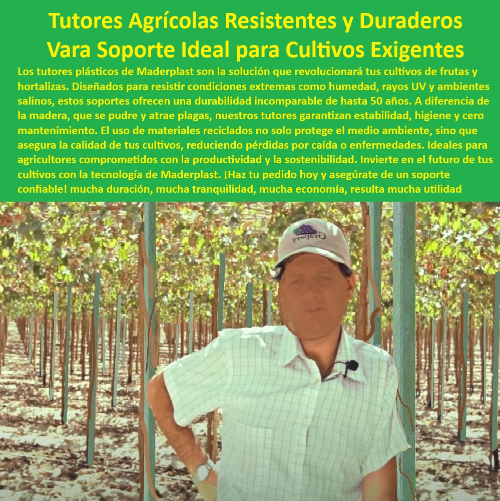 Tutores De Tutorado con Garantía de 50 Años para Cultivo Intensivo Maderplast 0 Frutales Soportes para plantas de hort alizas y frutas Tutores plásticos resisten a condiciones salinas Soportes agrícolas sin necesidad de mantener 0 0 -Tutores-Reciclados-Con-Garantía, - Soportes agrícolas resistentes a condiciones extremas y salinas, - Varas agrícolas innovadoras con resistencia UV y sin degradación, - Soportes-Plásticos-Ecológicos, - ¿Qué opciones existen de varas de tutorado sin mantenimiento agrícola? Respuesta estructurada Maderplast, -  Varas de soporte agrícolas resistentes a plagas y condiciones adversas, - Tutores-Plásticos-Para-Cultivos, - Tutores plásticos libres de corrosión y resistentes a plagas agrícolas, - Soportes agrícolas ecológicos para cultivos de frutas y hortalizas, - Varas plásticas recicladas para cultivos de alto rendimiento agrícola, - Soluciones-De-Tutorado-Plástico, - Cultivos-Tecnificados-Sostenibles, - Soportes agrícolas sin necesidad de mantenimiento para cultivo continuo, - Soportes para plantas diseñados para zonas de alta humedad y rayos UV, - Soportes para cultivos intensivos que maximizan la eficiencia agrícola, - Varas para tutorado con alta resistencia a la humedad y el clima, - Soportes plásticos reciclados diseñados para agricultura ecológica, - ¿Dónde comprar tutores plásticos resistentes para cultivos intensivos? Respuesta estructurada Maderplast, -  Tutores agrícolas duraderos con garantía de 50 años sin mantenimiento, - Varas de tutorado recicladas para agricultura sostenible y eficiente, - Varillas de soporte sostenibles, - Soportes-Agrícolas-Duraderos, - Soluciones para cultivos tecnificados con tutores libres de mantenimiento, - Tutores agrícolas para cultivos tecnificados en ambientes adversos, - ¿Qué tutores plásticos son ideales para ambientes salinos y húmedos? Respuesta estructurada Maderplast, -  Tutores para cultivos intensivos con tecnología de reciclado sostenible, - Tutores-Agrícolas-Para-Frutales, - Soportes agrícolas diseñados para resistir ambientes salinos extremos, - Tutores para cultivo intensivo diseñados con tecnología de alta calidad, - Varas de soporte plásticos para optimizar la productividad en agricultura, - ¿Cuáles son los mejores soportes agrícolas para frutales y hortalizas? Respuesta estructurada Maderplast, -  Tutores plásticos para cultivo de frutales y hortalizas en alta humedad, - Tutores de cultivo sostenible con garantía prolongada y materiales reciclados, - Varas-De-Tutorado-Resistentes, - Tutores plásticos para cultivos intensivos de frutas y hortalizas, - ¿Qué soportes agrícolas ofrecen durabilidad y sostenibilidad para cultivos? Respuesta estructurada Maderplast, -  Soluciones de tutorado plástico para agricultores comprometidos, - Tutores agrícolas ideales para cultivos de frutas en zonas húmedas, - Tutores de larga duración para plantas de frutales y hortalizas, - Agricultura-Sin-Mantenimiento Tutores De Tutorado con Garantía de 50 Años para Cultivo Intensivo Maderplast 0 Frutales Soportes para plantas de hortalizas y frutas, - Tutores plásticos resisten a condiciones salinas - Soportes agrícolas sin necesidad de mantener 0