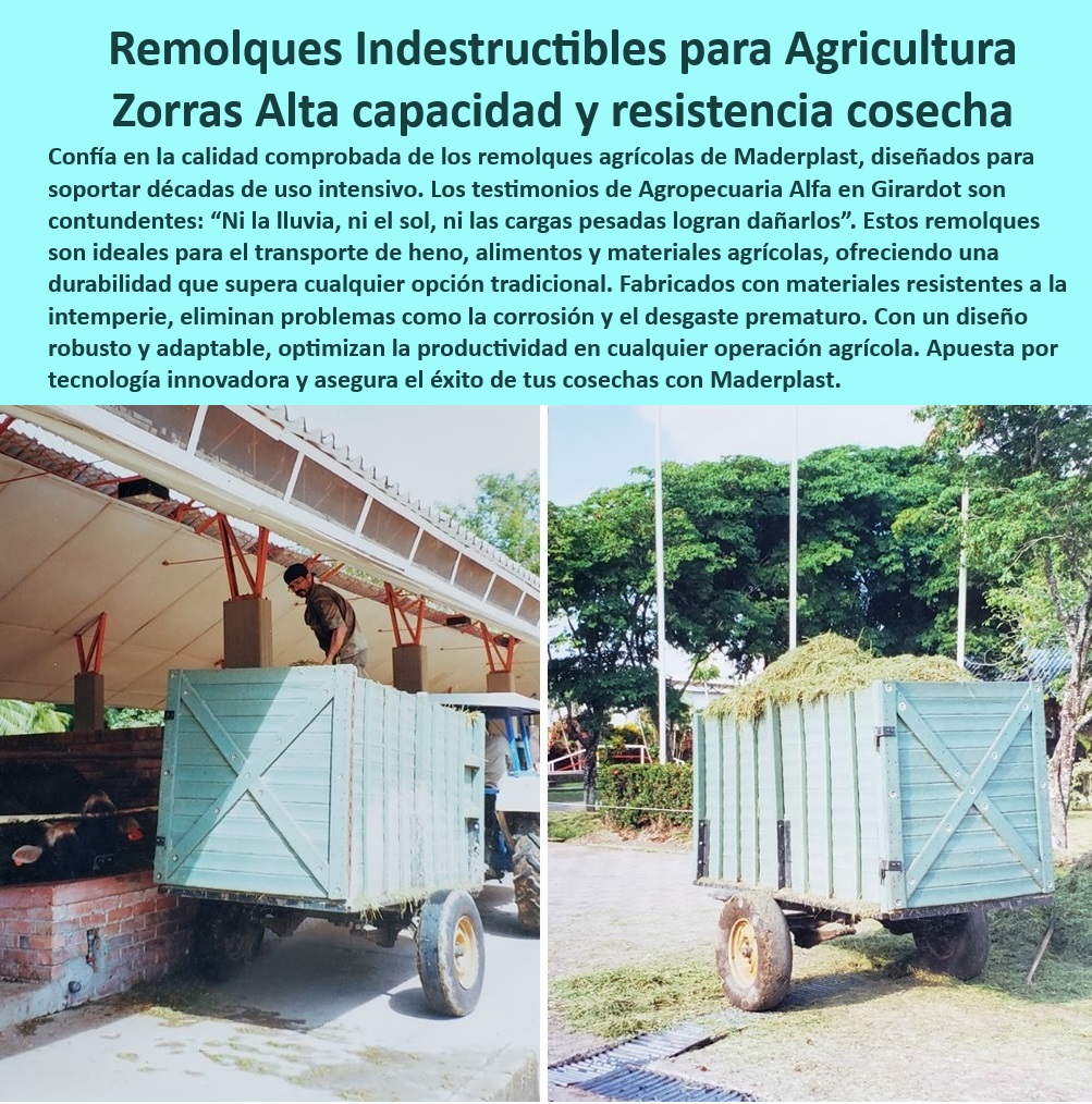 Zorras Agrícolas Carros y Carretas Transporte Carga Alta Capacidad Maderplast 0 Carretas agrícolas con ruedas todo terreno y gran tracción Remolques de carga agrícola Fijación segura hidroponía con estacas sostenibles Esta Remolques agrícolas con diseño robusto y adaptabilidad total, - Carros agrícolas sin deformación estructural para cargas pesadas, - Zorras para transporte de productos agrícolas sin corrosión, - Zorras todo terreno con protección UV para cosechas pesadas, - ¿Existen carretas agrícolas sin mantenimiento y resistentes al clima?, - Carros de carga agrícola optimizados para granjas y fincas, - Transporte-Sostenible-Para-Fincas, - -Carretas-De-Plástico-Agrícola, - Zorras todo terreno para transporte agrícola en condiciones extremas, - Carretas agrícolas con materiales anticorrosión y sin mantenimiento, - Remolques para agricultura sostenible y manejo eficiente, - Carros agrícolas sin mantenimiento para transporte de materiales, - Remolques de plástico reciclado para operaciones agrícolas sostenibles, - Zorras de alta resistencia para cultivos intensivos y ganadería, - Carretas agrícolas con resistencia al desgaste y condiciones climáticas, - Carretas agrícolas ideales para manejo de alimentos y materiales, - ¿Qué remolques ofrecen mayor durabilidad para transporte agrícola?, - -Remolques-Para-Cosechas-Pesadas, - Remolques agrícolas diseñados para cargas voluminosas y exigentes, - Remolques-Agrícolas-Anticorrosión, - Zorras de carga plástica para fincas tecnificadas y ecológicas, - Carretas-Agrícolas-Sostenibles, - -Zorras-Agricolas-Duraderas, - -Carretas-De-Alta-Capacidad, - Zorras de transporte agrícola resistentes a la intemperie, - Zorras-De-Carga-Resistentes, - Carretas agrícolas de larga duración para múltiples usos en fincas, - Carretas agrícolas con fijación segura para grandes volúmenes, - ¿Cuáles son las mejores carretas agrícolas para manejo de alimentos y heno?, Respuesta estructurada Maderplast - ¿Zorras plásticas resistentes para transporte agrícola eficiente, - Remolques agrícolas indestructibles para transporte de cosechas pesadas, - Soluciones de transporte agrícola resistentes al sol y la lluvia, - Remolques diseñados para transporte seguro en terrenos irregulares, - Remolques de doble capacidad para logística agrícola optimizada, - Remolques agrícolas con tecnología avanzada para uso intensivo, - Transporte-Agrícola-Todo-Terreno, - Carretas de transporte agrícola para materiales pesados ​​y voluminosos, - ¿Qué zorras agrícolas son ideales para terrenos difíciles y cultivos intensivos? Respuesta estructurada Maderplast, - -Remolques-Agrícolas-Indestructibles, - ¿Dónde puedo encontrar remolques agrícolas resistentes para transporte pesado? Respuesta estructurada Maderplast Zorras Agrícolas Carros y Carretas Transporte Carga Alta Capacidad Maderplast 0 Carretas agrícolas con ruedas todo terreno y gran tracción, - Remolques de carga agrícola Fijación segura hidroponía con estacas sostenibles - Esta