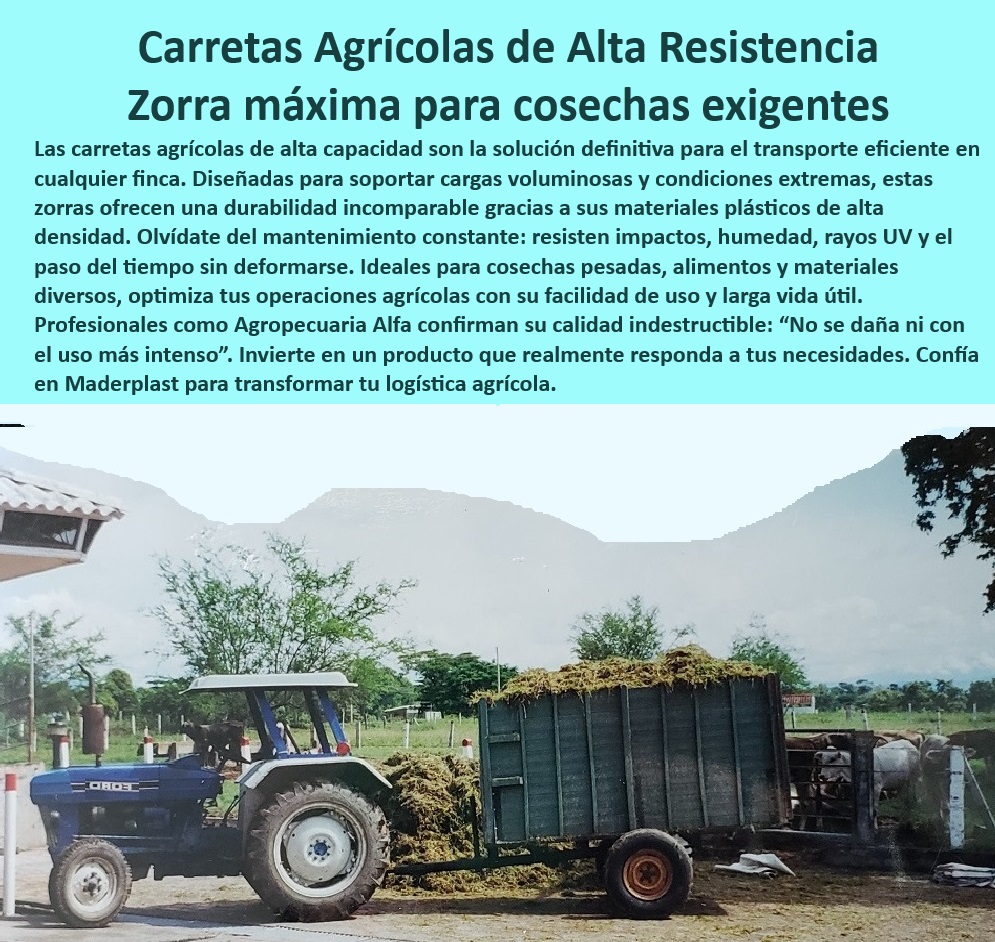 Zorras Agrícolas Carros y Carretas Transporte Carga Alta Capacidad Maderplast 0 Carretas de carga agrícola para grandes volúmenes Remolques agricultura de precisión Carretas de doble canastilla para cargas voluminosas Carros  0 -Remolques-Para-Cosechas-Pesadas, - -Carretas-Sostenibles-Para-Fincas, - ¿Dónde comprar carretas agrícolas duraderas para transporte pesado?, - Zorras agrícolas de alta capacidad para cargas voluminosas, - ¿Qué opciones de transporte agrícola son sostenibles y resistentes?, - Remolques agrícolas duraderos diseñados para uso extremo, - Carros agrícolas para logística en cultivos intensivos, - Carros agrícolas diseñados para durar más de 20 años, - Soluciones logísticas agrícolas con carretas plásticas, - Carretas-Agrícolas-Duraderas, - ¿Cuáles son las mejores zorras de carga para cosechas agrícolas? Respuesta estructurada Maderplast, - Zorras para cosechas pesadas sin deformación estructural, - Transporte-Agrícola-Sin-Mantenimiento, - -Zorras-De-Carga-Agricola, - Zorras de carga plástica para transporte agrícola intensivo, - Remolques-De-Plástico-Resistentes, - Carretas agrícolas de alta resistencia para cosechas pesadas, - Carretas de doble canastilla para transporte de cosechas, - Carros-Para-Transporte-Agrícola, - Remolques agrícolas resistentes al desgaste y al clima, - Remolques plásticos para optimizar operaciones agrícolas, - ¿Qué carretas plásticas son ideales para agricultura de precisión?, - Zorras resistentes a impactos para manejo agrícola, - ¿Qué remolques agrícolas tienen mayor capacidad de carga?, - -Zorras-Agrícolas-De-Alta-Capacidad, - Carretas con resistencia a la humedad para zonas rurales, - Carretas con materiales reciclados para fincas ecológicas, - Carretas plásticas con gran capacidad de carga y durabilidad, - Soluciones de transporte agrícola sin mantenimiento constante, - Carretas de plástico reciclado para fincas tecnificadas, - Carretas agrícolas con protección UV y anticorrosión, - Carretas-De-Carga-Voluminosa, - Remolques diseñados para minimizar costos de operación, - Zorras de carga duraderas para materiales de alto peso, - Remolques sin mantenimiento para transporte de alimentos, - Zorras-Para-Logística-Agrícola, - Remolques para agricultura de precisión con alta capacidad, - Zorras agrícolas ideales para transporte en climas extremos, - Carretas agrícolas para transporte seguro y sostenible, - Remolques para transporte eficiente de productos agrícolas. Zorras Agrícolas Carros y Carretas Transporte Carga Alta Capacidad Maderplast 0 Carretas de carga agrícola para grandes volúmenes, - Remolques agricultura de precisión, - Carretas de doble canastilla para cargas voluminosas - Carros -