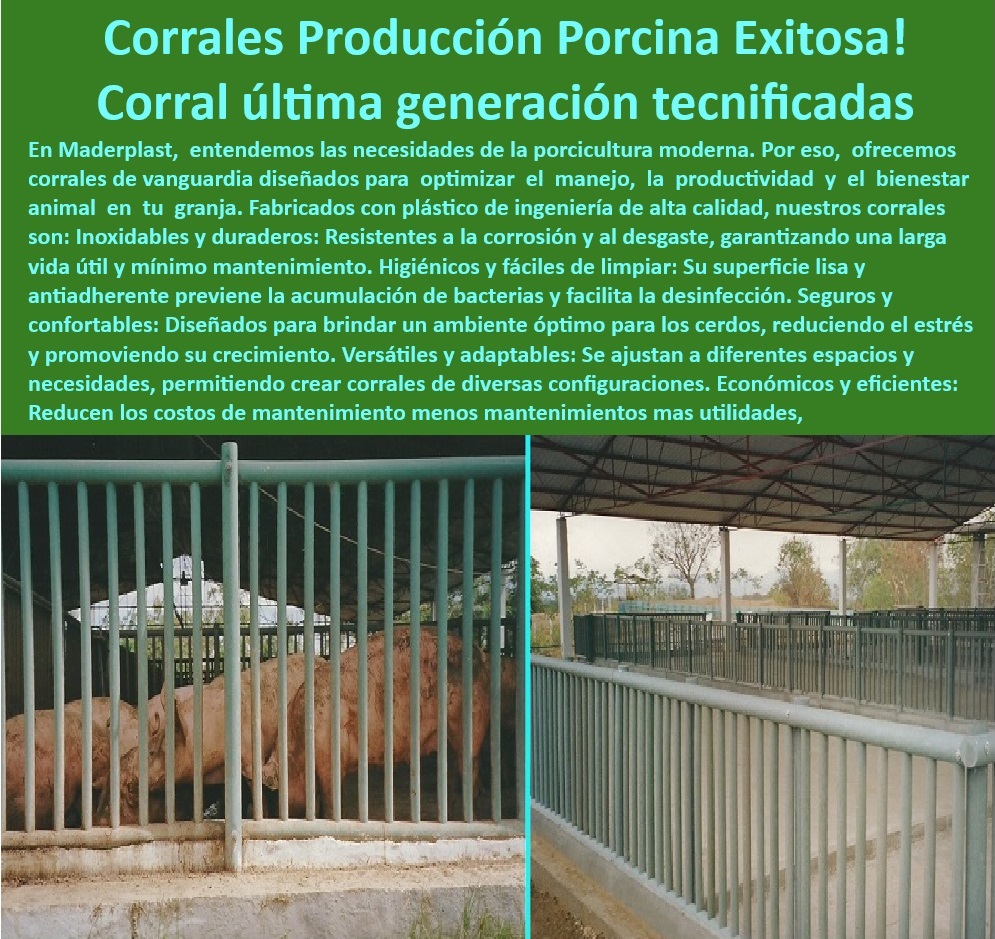 Corrales Granjas Porcinas Divisiones Modulares Porcícolas Maderplast Corrales Prácticos Separadores Modulares para Manejo de Cerdos en Ciclos Productivos Separadores de Cerdos Barandas Cerdos Divisiones Portátiles Optimización piG Divisiones personalizables para granjas. - Barandas para granjas de alta tecnología - Optimización-Manejo-Porcino - Materiales anticorrosivos para corrales. - Soluciones modulares para granjas porcinas - Barandas resistentes para corrales - ¿Dónde encontrar barandas modulares para porcicultura? - Soluciones económicas para porcicultura - Barandas-Resistentes-Granjas - ¿Qué materiales usar para corrales resistentes en granjas porcinas? - Divisiones-Higiénicas-Para-Cerdos - ¿Cómo optimizar el manejo de cerdos con separadores? - Corrales modulares para granjas porcinas - Materiales resistentes para la separación de animales. - Estructuras ligeras para granjas porcinas. - Diseño-Modular-Bienestar-Cerdos - Soluciones-Modulares-Porcicultura - Separadores-Plásticos-Porcinos - Divisiones-Seguras-Bienestar-Animal - Divisiones seguras para el bienestar animal - Separadores de plásticos para manejo de cerdos - Corrales duraderos para ciclos productivos. - Separadores fáciles de limpiar para cerdos - Corrales plásticos de alta durabilidad - Optimización del manejo porcino - Soluciones prácticas para granjas porcinas - Sistemas de separación para cerdos - Materiales-Anticorrosivos-Corrales - Divisiones portátiles para granjas - Divisiones higiénicas para porcicultura - Corrales-Prácticos-De-Cerdos - Barandas modulares para corrales de cerdos - Diseño modular para el bienestar porcino. - Manejo eficiente en producción porcina - Corrales modulares porcinos - ¿Cuáles son las mejores divisiones modulares para cerdos? - Separadores desmontables para cerdos - Separadores prácticos para manejo de animales. - Corrales tecnificados para porcicultura moderna - ¿Qué corrales modulares son ideales para ciclos productivos porcinos? Corrales Granjas Porcinas Divisiones Modulares Porcícolas Maderplast - Corrales Prácticos - Separadores Modulares para Manejo de Cerdos en Ciclos Productivos - Separadores de Cerdos - Barandas Cerdos - Divisiones Portátiles Optimización pik