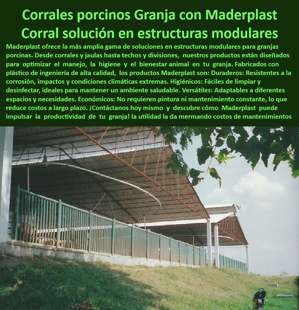 Corrales Para Granjas Porcinas Tipo Baranda Ventilada Maderplast Divisiones Modulares para Granjas Porcinas en Ambientes Controlados Corrales Ajustables Barandas Móviles para Ajuste de Espacios Granjas Porcícolas Estructuras-Ventiladas-Porcinas - Diseño eficiente de corrales - Infraestructura tecnificada para granjas - Corrales para granjas porcinas - Diseño modular para cerdos - Corrales resistentes a la corrosión - Divisiones personalizadas para granjas. - Corrales modulares porcinos - ¿Cuáles son los mejores corrales modulares para cerdos? - Soluciones modulares para porcicultura - ¿Cómo mejorar la bioseguridad en corrales porcinos? - Materiales higiénicos para granjas - Divisiones ajustables de cerdas - Corrales modernos para bioseguridad - ¿Qué opciones hay para divisiones ajustables en porcicultura? - Infraestructura para el bienestar animal porcino - Corrales económicos de bajo mantenimiento - Barandas móviles para porcicultura - Barandas ventiladas para corrales - Soluciones para ambientes controlados - Diseño modular porcicultura - Corrales ajustables para cerdos - Corrales-Higiénicos-Porcinos - Barandas seguras para granjas tecnificadas - Divisiones modulares duraderas - Divisiones ajustables para granjas - ¿Dónde comprar corrales ajustables para granjas porcinas? - Soluciones en bioseguridad porcina - Estructuras higiénicas para cerdos - ¿Qué materiales son ideales para corrales ventilados? - Sistemas de manejo porcícola - Bioseguridad-En-Granjas - Corrales prácticos y duraderos. - Barandas-Móviles-Granjas - Tecnología avanzada para corrales - Estructuras modulares porcinas - Corrales-Sostenibles-Granjas - Manejo-Eficiente-Cerdos - Soluciones modulares porcinas - Instalaciones sostenibles para porcicultura Corrales Prácticos Corrales Para Granjas Porcinas Tipo Baranda Ventilada Maderplast - Divisiones Modulares para Granjas Porcinas en Ambientes Controlados - Corrales Ajustables - Barandas Móviles para Ajuste de Espacios Granjas Porcícolas - Corrales Prácticos