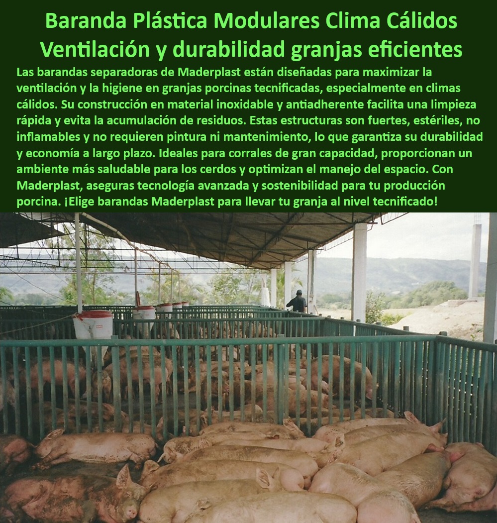 Corrales Para Granjas Porcinas Tipo Baranda Ventilada Maderplast Paneles para Granjas Porcinas con Diseño Tecnificado Barandas Reutilizables para Reconfiguración de Granjas Porcícolas Divisiones Alta Durabilidad para Manejo de Cerdos Corrales con ventilación integrada. - Divisiones ajustables para granjas tecnificadas - Divisiones higiénicas para porcicultura - Paneles antimicrobianos para corrales porcinos - Paneles de alta resistencia para granjas - Corrales-Plásticos-Fáciles-De-Limpiar - Estructuras-Sostenibles-Granjas - Divisiones-Reutilizables-Granjas - Paneles modulares para corrales de cerdos. - Corrales eficientes con diseño innovador. - Barandas-Plásticas-Corrales-Porcinos - ¿Cuáles son las mejores soluciones para el manejo de cerdos en granjas tecnificadas? - Respuestas estructuradas de Maderplast ¿Qué barandas son ideales para climas cálidos en granjas porcinas? - Soluciones sostenibles para granjas porcinas - Barandas-Duraderas-Clima-Cálido - Estructuras-Modulares-Tecnificadas - Estructuras modulares para corrales porcinos. - Barandas económicas y duraderas - Barandas optimizadas para clima cálido - Barandas duraderas para manejo porcino - Barandas ligeras para manejo de cerdos - Paneles para ventilación en granjas porcinas. - Divisiones ajustables para corrales - ¿Dónde comprar barandas para corrales de cerdos? - Corrales modulares para producción porcina - Corrales ventilados para cerdos - Barandas tecnificadas para clima cálido - Manejo-Tecnificado-Cerdos - Paneles tecnificados para bioseguridad - ¿Qué paneles plásticos usar en corrales higiénicos para cerdos? - Barandas plásticas para granjas sostenibles - Divisiones reutilizables para granjas porcinas - Barandas resistentes a la corrosión - Corrales-Ventilados-Para-Cerdos - Barandas plásticas para corrales porcinos - Barandas plásticas de fácil limpieza - Divisiones-Para-Bioseguridad-Porcina - ¿Cómo instalar divisiones reutilizables en corrales porcinos? - Soluciones-Higiénicas-Porcicultura - Estructuras resistentes para granjas tecnificadas Corrales Para Granjas Porcinas Tipo Baranda Ventilada Maderplast - Paneles para Granjas Porcinas con Diseño Tecnificado - Barandas Reutilizables para Reconfiguración de Granjas Porcícolas - Divisiones Alta Durabilidad para Manejo de Cerdos