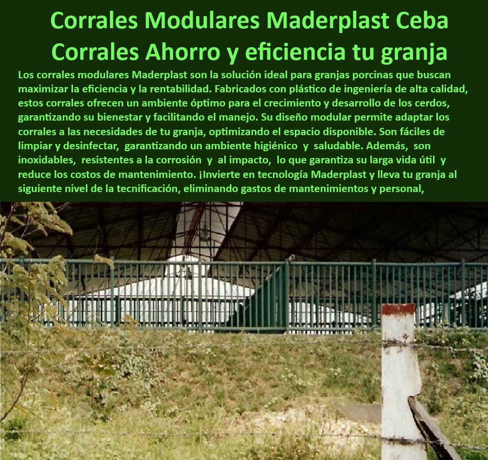 Corrales Para Granjas Porcinas Tipo Baranda Ventilada Maderplast Sistemas Ajustables de Barandas para Cerdos en Engorde Sistemas de Confinamiento Porcino con Divisiones Antimicrobianas Sistemas Modulares para Divisiones de Espacios PP Materiales higiénicos para granjas tecnificadas - Barandas-Ventiladas-Porcinas - Instalaciones modulares para el bienestar animal. - Ahorro en costos operativos porcinos - Confinamiento seguro para granjas porcinas - Divisiones-Antimicrobianas-Cerdos - Estructuras duraderas para porcicultura. - Corrales-Sostenibles-Porcicultura - Optimización de espacio en granjas - Materiales-Resistentes-Corrales - Bienestar-Animal-Tecnificado - Infraestructura-Biosegura-Granjas - Infraestructura de bajo mantenimiento - Corrales resistentes a la corrosión - Divisiones antimicrobianas para cerdos - Soluciones prácticas para granjas porcinas - Corrales-Modulares-Porcicultura -  - Instalación rápida de corrales modulares - Corrales higiénicos y desinfectantes - ¿Cómo mejorar la bioseguridad en granjas porcinas? - Diseño técnico para divisiones de cerdos. - ¿Dónde puedo comprar corrales modulares ajustables? - Materiales plásticos resistentes para cerdos - Corrales sostenibles para porcicultura - ¿Cómo instalar divisiones antimicrobianas en mi granja? - Divisiones personalizables para cerdos - 5 formas de búsqueda por voz - Corrales modulares para porcicultura - Barandas ventiladas para corrales porcinos - Sistemas-Ajustables-Para-Engorde - Soluciones modulares para porcicultura - ¿Qué materiales son ideales para corrales de cerdos? - Innovación en granjas porcinas tecnificadas - Estructuras antimicrobianas para granjas. - Bioseguridad avanzada para corrales - Materiales reciclables para infraestructuras porcinas. - Sistemas ajustables para engorde porcino - Diseño eficiente para corrales porcinos. - Soluciones Prácticas Granjas - Diseño-Modular-Granjas-Porcinas - ¿Cuáles son los mejores corrales para engorde porcino? Corrales Para Granjas Porcinas Tipo Baranda Ventilada Maderplast - Sistemas Ajustables de Barandas para Cerdos en Engorde - Sistemas de Confinamiento Porcino con Divisiones Antimicrobianas - Sistemas Modulares para Divisiones de Espacios PP