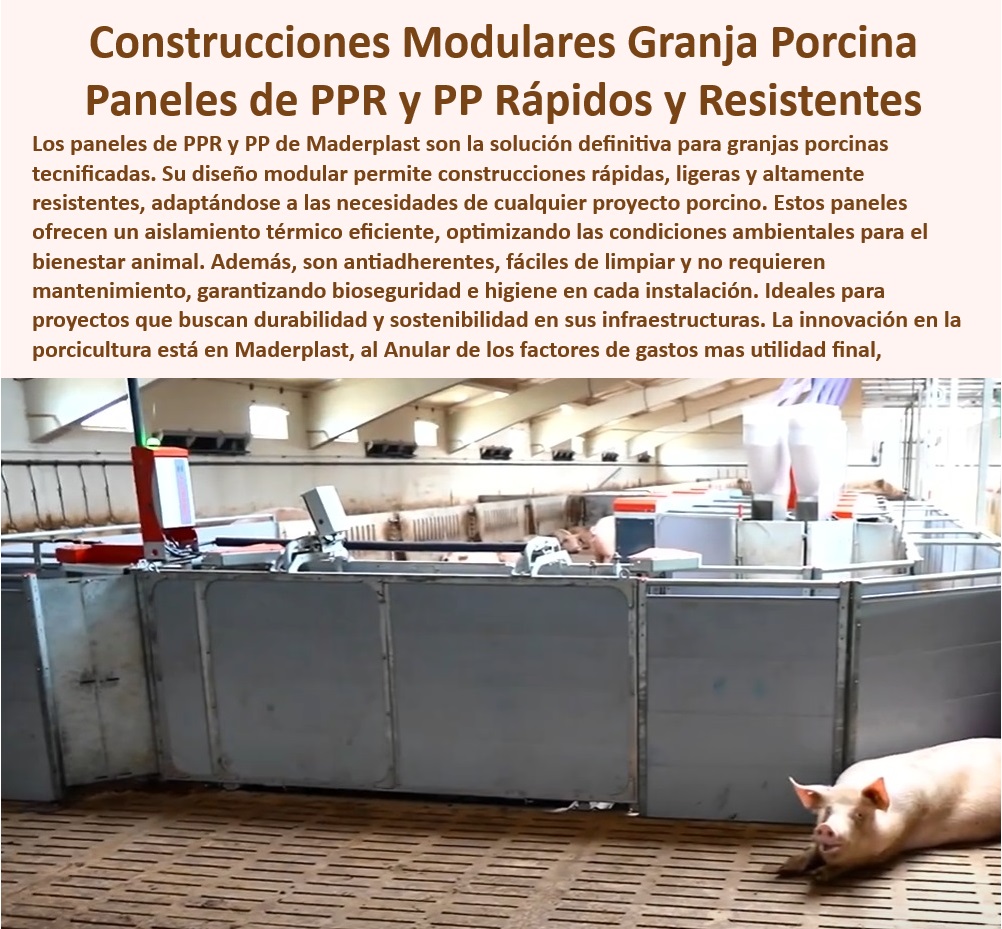 Diseño Infraestructuras Porcícolas División Corrales Placas Paneles Maderplast Construcción económica de galpones térmicos para cerdos Diseños técnicos en bioseguridad para granjas porcinas Paneles resistentes UV para galpones cerdos 0 Innovación en infraestructuras para porcicultura - Paneles desmontables para instalaciones porcinas - Construcción-Modular-Económica - ¿Cómo optimizar la bioseguridad en corrales de cerdos? - Paneles plásticos económicos para bioseguridad - Innovación-En-Infraestructuras - Paneles antimicrobianos para instalaciones porcinas - Materiales plásticos para galpones térmicos. - Diseño modular Galpones - Diseño modular en bioseguridad porcina. - Infraestructuras ligeras y resistentes en porcicultura - Paneles plásticos UV para ambientes hostiles. - Construcciones económicas para galpones porcinos - Paneles higiénicos para instalaciones modernas. - Paneles modulares para bioseguridad porcina - ¿Dónde encontrar paneles resistentes UV para granjas porcinas? - Paneles de alta durabilidad para cerdos - Materiales sostenibles para granjas modernas - ¿Qué soluciones económicas existen para construir granjas tecnificadas? - Infraestructura-Térmica-Para-Cerdos - Paneles-Plásticos-Bioseguridad - Materiales-Ligeros-Y-Resistentes - Soluciones modulares porcinas - Innovación plástica en sistemas de corrales. - Paneles resistentes a los rayos UV - Paneles Higiénicos Porcinos - ¿Qué materiales son más duraderos para galpones térmicos? - Soluciones sostenibles para galpones porcinos - Paneles resistentes UV para galpones porcinos - División de corrales con paneles plásticos - Sistemas térmicos en granjas porcinas modernas - Paneles PPR resistentes a la corrosión - Soluciones en bioseguridad para cerdos - Construcción modular para granjas de cerdos - Pisos plasticos para manejo de cerdos - Pisos y paneles resistentes para cerdos - Bioseguridad-Para-Corrales - Paneles plasticos para granjas tecnificadas - Materiales antihumedad para granjas de cerdos. Diseño Infraestructuras Porcícolas División Corrales Placas Paneles Maderplast - Construcción económica de galpones térmicos para cerdos - Diseños técnicos en bioseguridad para granjas porcinas - Paneles resistentes UV para galpones cerdos