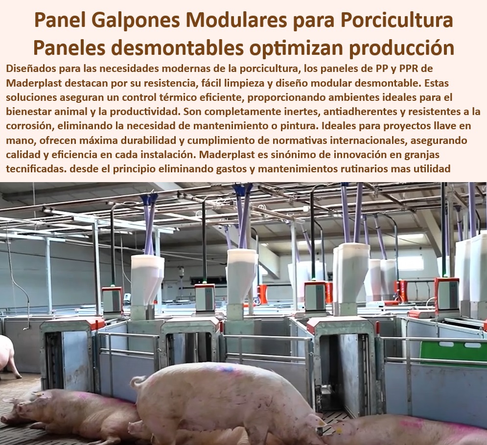 Diseño Infraestructuras Porcícolas División Corrales Placas Paneles Maderplast Diseños personalizados de galpones térmicos para cerdos Paneles plásticos prácticos para tecnificar galpones Placas aislantes galpones cerdos tecnificados 0 Galpones térmicos para porcicultura - ¿Cómo optimizar galpones de cerdos con placas térmicas? - Paneles desmontables para eficiencia productiva - Diseños personalizables para granjas de cerdos. - Sistemas eficientes para manejo porcino - Paneles térmicos de fácil limpieza. - Paneles térmicos con diseño modular. - Estructuras-Resistentes-Cerdos - Placas higiénicas para galpones de cerdos - ¿Qué paneles son ideales para galpones porcinos modernos? - Corrales higiénicos para porcicultura moderna - Paneles modulares para granjas porcinas - Infraestructuras plásticas de larga durabilidad. - ¿Cuáles son los mejores materiales plásticos para la porcicultura? - Respuesta tecnificada de Maderplast ¿Qué soluciones ofrecen para galpones desmontables y térmicos? - Materiales anticorrosivos para estructuras porcinas. - Diseños ergonómicos para el bienestar animal. - Placas desmontables resistentes a la corrosión - Soluciones sostenibles para porcicultura tecnificada - Divisiones térmicas para galpones porcinos - Galpones-Térmicos-Porcicultura - Paneles modulares porcinos - Materiales-Higiénicos-Para-Cerdos - Optimización-Galpones-Tecnificados - Soluciones desmontables para galpones - Soluciones técnicas porcinas - Sistemas prácticos para manejo de cerdos. - Placas Desmontables-Granjas - Soluciones personalizadas para galpones de cerdo. - Paneles para optimización de granjas tecnificadas - Paneles plásticos prácticos para galpones. - Diseño modular para galpones porcinos. - Soluciones económicas para galpones porcinos. - Estructuras resistentes para granjas tecnificadas - ¿Dónde comprar estructuras desmontables para granjas de cerdos? - Materiales plasticos para construccion porcina - Diseño-Modular-Para-Porcicultura - Paneles-Plásticos-Modulares - Infraestructura innovadora para porcicultura - Infraestructura-Innovadora-Porcina Diseño Infraestructuras Porcícolas División Corrales Placas Paneles Maderplast - Diseños personalizados de galpones térmicos para cerdos - Paneles plásticos prácticos para tecnificar galpones - Placas aislantes galpones cerdos tecnificados