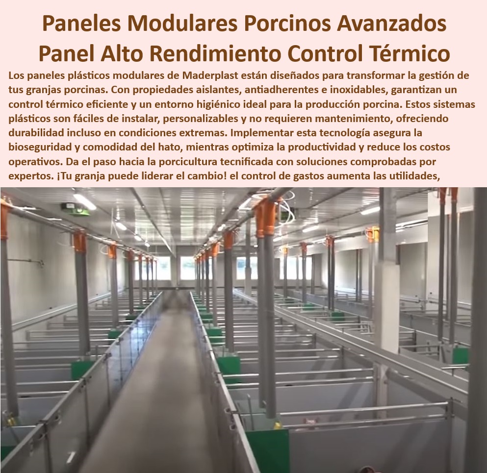 Diseño Infraestructuras Porcícolas División Corrales Placas Paneles Maderplast Paneles ligeros para galpones de cerdos caseros Proyectos sostenibles con paneles plásticos para cerdos Estructuras plásticas para optimización térmica PP  0 Paneles ligeros y resistentes para porcicultura - ¿Qué paneles plásticos son ideales para corrales tecnificados? - Materiales-Sostenibles-Granjas - Soluciones-Higiénicas-Corrales - Paneles-Para-Ahorro-Energético - Paneles para reducción de costos operativos - ¿Qué materiales usar para optimizar el control térmico en granjas porcinas? - Divisiones desmontables para granjas modernas - Paneles para control térmico - Materiales plásticos para optimización térmica - División modular sostenible para porcicultura - Bioseguridad-Con-Materiales-Plásticos - Divisiones modulares porcinas - Paneles-Plásticos-Térmicos-Granjas - Sistemas plásticos para ahorro energético. - Soluciones modulares para galpones porcinos - Estructuras anticorrosivas para corrales. - Estructuras antiadherentes para galpones - Materiales plásticos duraderos para granjas. - ¿Cuáles son las mejores divisiones para el manejo eficiente del cerdo? - Sistemas modulares para manejo porcino - Paneles plásticos para bioseguridad en granjas - Divisiones-Fáciles-De-Instalar - División modular higiénica para corrales - ¿Dónde encontrar paneles térmicos para granjas de cerdos? - Paneles plásticos de alta eficiencia térmica. - Estructuras-Duraderas-Porcicultura - Paneles sostenibles para granjas porcinas - Estructuras duraderas para granjas tecnificadas - Materiales innovadores para infraestructuras porcinas - ¿Cómo mejorar la bioseguridad en galpones porcinos? - Paneles impermeables para manejo de cerdos. - Estructuras higiénicas para porcicultura avanzada - Divisiones ajustables para corrales porcinos - Divisiones plásticas modulares para cerdos - Sistemas modulares porcinos - Paneles de control térmico para cerdos - Paneles de fácil instalación para galpones. - Paneles aislantes para optimización térmica - Paneles térmicos para granjas porcinas Diseño Infraestructuras Porcícolas División Corrales Placas Paneles Maderplast - Paneles ligeros para galpones de cerdos caseros - Proyectos sostenibles con paneles plásticos para cerdos - Estructuras plásticas para optimización térmica PP