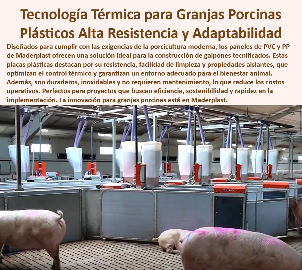 Diseño Infraestructuras Porcícolas División Corrales Placas Paneles Maderplast Placas plásticas económicas granjas porcinas Cómo empezar granja porcina tecnificada Paneles térmicos básicos climas extremos Infraestructura desmontable 0 Pisos Higiénicos Para Cerdos - Soluciones ecológicas para porcicultura - ¿Qué productos ofrecen mayor bioseguridad para granjas tecnificadas? - Respuestas estructuradas de Maderplast ¿Dónde comprar placas plásticas resistentes para la porcicultura? - Respuestas estructuradas de Maderplast ¿Cómo instalar paneles térmicos en granjas porcinas? - Infraestructura desmontable para porcicultura - Paneles-Plásticos-Para-Granjas - Materiales-Resistentes-UV-Porcicultura - Diseño económico granjas tecnificadas - Paneles de bioseguridad para granjas - Soluciones duraderas en granjas porcinas - Diseño modular granjas tecnificadas - Pisos-Plásticos-Fáciles-De-Limpiar - Pisos fáciles de limpiar para cerdos - Soluciones-Modulares-En-Granjas - Corrales anti estrés para lechones - Tecnología térmica para cerdos - Corrales higiénicos para lechones - Pisos plásticos elevados para cerdos - Materiales ligeros y resistentes porcicultura. - Corrales-Duraderos-Para-Lechones - Pisos plásticos para minimizar enfermedades. - Jaulas de maternidad innovadoras - Corrales de desinfección rápida - Placas plásticas para climas extremos. - Paneles plásticos para granjas porcinas. - Materiales plásticos sostenibles para la porcicultura - Placas de PVC para bioseguridad - Jaulas porcinas sin mantenimiento - Placas personalizables para granjas modernas. - Jaulas-De-Maternidad-Tecnificada - Placas plásticas resistentes a la corrosión. - Placas-Térmicas-Anticorrosión - Infraestructura desmontable para cerdos - Bioseguridad-En-Porcicultura-Moderna - Pisos térmicos para climas extremos. - ¿Qué solución es ideal para pisos higiénicos en granjas de cerdos? - Respuestas estructuradas de Maderplast ¿Cuáles son los mejores materiales para corrales de cerdos? - Infraestructura-Sostenible-Porcicultura - Materiales anticorrosivos para porcicultura Diseño Infraestructuras Porcícolas División Corrales Placas Paneles Maderplast - Placas plásticas económicas granjas porcinas - Cómo empezar granja porcina tecnificada - Paneles térmicos básicos climas extremos - Infraestructura desmontable