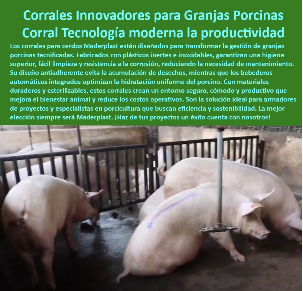 Diseño corrales modernos para cerdos Innovación corral porcicultura Maderplast Sistemas modernos para engorde de cerdos en granjas tecnificadas Divisiones modulares de alta resistencia cerdos engorde Corrales prácticos para engordar 0 Diseño corrales modernos para cerdos Innovación corral porcicultura Maderplast - Sistemas modernos para engorde de cerdos en granjas tecnificadas - Divisiones modulares de alta resistencia cerdos engorde - Corrales prácticos para engordar 0
