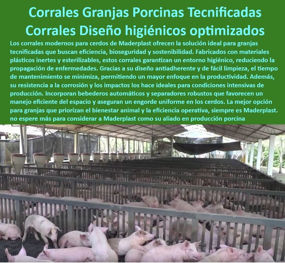 Diseño corrales modernos para cerdos Innovación corral porcicultura Maderplast Tecnología avanzada corrales de cerdos en granjas modernas Diseño técnico de corrales plásticos producción intensiva Pasos simples hacer corrales cerdos  0 Diseño corrales modernos para Materiales resistentes al desgaste intensivo - Corrales-Modernos-Diseño - Soluciones innovadoras para granjas porcinas - ¿Dónde puedo comprar corrales plásticos para granjas tecnificadas? - Respuestas estructuradas de Maderplast ¿Qué corrales son mejores para maternidades porcinas? - Rejillas plásticas para maternidades tecnificadas - Soluciones económicas para granjas porcinas - Pisos-Modulares-Higiénicos - ¿Cómo optimizar el manejo en granjas de cerdos? - Corrales resistentes a la corrosión - Sistemas-Bioseguridad-Granjas - Soluciones-Duraderas-Porcicultura - ¿Qué soluciones hay para la higiene en granjas porcinas modernas? - Sistemas de bioseguridad para porcicultura - Instalaciones anticorrosivas para cría porcina - Manejo-Eficiente-Producción - Instalaciones sostenibles para granjas modernas - Soluciones de bajo mantenimiento para granjas - Corrales eficientes para cría de cerdos - ¿Cuáles son las ventajas de los pisos modulares para cerdos? - Innovación-Tecnológica-Porcina - Corrales higiénicos con tecnología avanzada - Corrales desmontables para limpieza optimizada - Sistemas de manejo eficiente en porcicultura - Diseño higiénico para producción porcina - Pisos modulares para cerdos en engorde - Paneles-Plásticos-Anticorrosivos - Materiales plásticos para maternidades porcinas - Infraestructura tecnificada para porcicultura avanzada - Pisos antideslizantes para cerdos - Diseños personalizados para corrales porcinos - Corrales plásticos para granjas tecnificadas - Sistemas de drenaje en instalaciones porcinas - Infraestructura-Sostenible-Porcicultura - Paneles higiénicos para control sanitario - Paneles desmontables para limpieza profunda - Bienestar-Animal-Corrales - Infraestructura moderna para porcicultura sostenible - Corrales ergonómicos para bienestar animal - Corrales-Tecnificados-Porcinos cerdos Innovación corral porcicultura Maderplast - Tecnología avanzada corrales de cerdos en granjas modernas - Diseño técnico de corrales plásticos producción intensiva - Pasos simples hacer corrales cerdos -