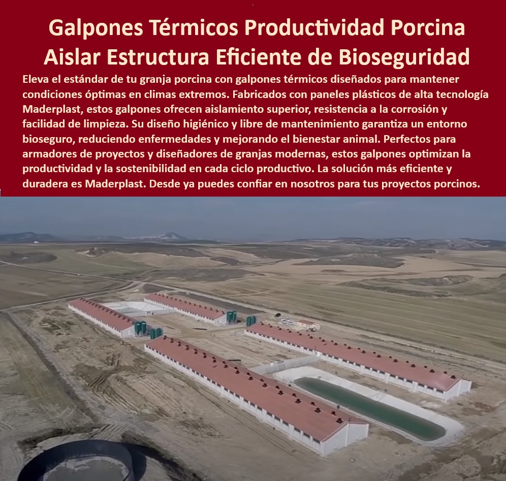 Edificaciones Porcinas Última Tecnología Galpones Porcinos Maderplast Diseño técnico para granjas porcinas de alta eficiencia Cómo instalar paneles térmicos en granjas Pasos básicos una granja de cerdos eficiente Construcción galpón 0  Innovación en bioseguridad para porcicultura - Diseño higiénico para granjas porcinas. - Aislamiento térmico-granjas - Diseño-Higiénico-Porcino - Materiales-Duraderos-Para-Cerdos - Galpones-Térmicos-Porcicultura - Instalaciones modernas para cerdos. - Granjas eficientes con tecnología avanzada. - Estructuras eficientes para bioseguridad - ¿Qué materiales son ideales para granjas porcinas tecnificadas? - Galpones sostenibles para producción porcina - Infraestructura ecológica para cerdos - Galpones higiénicos y funcionales - Paneles térmicos para granjas porcinas - Construcción de granjas tecnificadas - Bioseguridad-En-Granjas - Galpones libres de mantenimiento - Soluciones modulares porcinas - Instalaciones-Sostenibles-Porcinas - Aislamiento térmico eficiente para granjas. - ¿Cómo mejorar la bioseguridad en mi granja porcina? - Galpones térmicos para porcicultura - Diseño técnico para granjas porcinas. - Diseño modular para el bienestar porcino. - ¿Cómo instalar un galpón térmico para producción porcina? - Materiales plásticos para producción porcina - Galpones duraderos para porcicultura - Sistemas modulares de bioseguridad - Estructuras-Modulares-Porcinas - Innovación-Tecnológica-Porcicultura - Materiales anticorrosivos para granjas porcinas - Tecnología-Para-Bienestar-Animal - Infraestructura para climas extremos - ¿Cuáles son los mejores galpones térmicos para cerdos? - Galpones con aislamiento térmico superior. - ¿Dónde comprar galpones modulares para porcicultura? - Construcción llave en mano para granjas - Paneles plásticos con resistencia UV - Soluciones para el bienestar animal porcino - Soluciones económicas para granjas tecnificadas Edificaciones Porcinas Última Tecnología Galpones Porcinos Maderplast Diseño técnico para granjas porcinas de alta eficiencia Cómo instalar paneles térmicos en granjas Pasos básicos una granja de cerdos eficiente Construcción galpón 0 