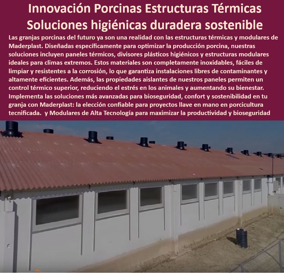Edificaciones Porcinas Última Tecnología Galpones Porcinos Maderplast Infraestructura plastica para granjas porcinas avanzadas Cómo mejorar el ambiente de cerdos en granjas Infraestructura modular para porcicultura tecnificada Granjas Infraestructura eficiente para porcicultura avanzada - Granjas tecnificadas con paneles Maderplast - Innovación en diseño modular de granjas. - Tecnología avanzada en bioseguridad - Estructuras-Térmicas-Granjas - Tecnología-Modular-Maderplast - Soluciones personalizadas para granjas porcinas - Instalaciones-Duraderas-Granjas - Divisiones-Higiénicas-Para-Cerdos - Instalaciones seguras para el bienestar animal. - Optimización de productividad porcina - Materiales-Resistentes-Climas-Extremos - Bienestar-Animal-Porcicultura - Bioseguridad avanzada en corrales -  para Clientes Objetivo - Soluciones-Sostenibles-Porcinas -  - Aislamiento térmico para granjas tecnificadas - Instalaciones modulares sin mantenimiento - Confort térmico para cerdos - ¿Qué materiales usar para aislar térmicamente granjas porcinas? - Materiales anticorrosivos para granjas. - Paneles térmicos para porcicultura - Materiales resistentes para climas extremos. - ¿Dónde comprar paneles térmicos para la porcicultura? - Divisiones antimicrobianas modulares - ¿Cuáles son las mejores estructuras para el bienestar animal porcino? - Aislamiento térmico duradero para cerdos - Soluciones sostenibles para granjas - Diseño técnico en instalaciones porcinas. - Materiales higiénicos y fáciles de limpiar. - Reducción de costos en la porcicultura - Sistemas térmicos para cerdos - ¿Cómo mejorar la bioseguridad en corrales de cerdos? - Plásticos reciclables para infraestructura - Infraestructura modular para granjas - Paneles-Térmicos-Porcicultura - ¿Qué soluciones modulares son ideales para granjas tecnificadas? - Divisiones higiénicas para porcicultura - Optimización-Producción-Porcina - Sostenibilidad en estructuras para porcicultura. - Infraestructura-Modular-Biosegura 0 Edificaciones Porcinas Última Tecnología Galpones Porcinos Maderplast - Infraestructura plastica para granjas porcinas avanzadas - Cómo mejorar el ambiente de cerdos en granjas - Infraestructura modular para porcicultura tecnificada Granjas