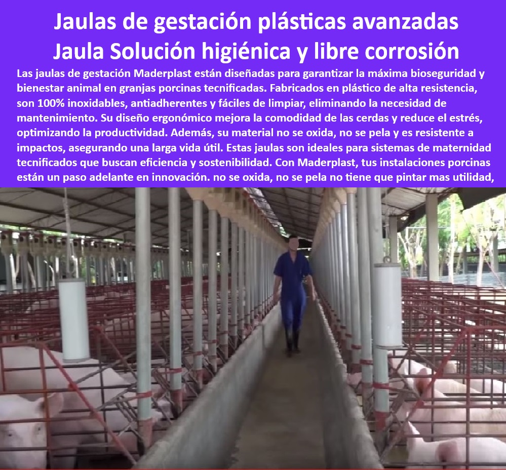 Jaulas De Inseminación Y Gestación Porcina Corral Maternidad Cerdas Maderplast Corrales pequeños para gestación de cerdas Jaulas seguras y cómodas para cerdas preñadas Corrales para cerdas en espacios reducidos Soluciones económicas 0 Reducción de costos porcinos - Bioseguridad en porcicultura - Corrales compactos y eficientes para cerdas - ¿Qué jaulas garanticen la bioseguridad en granjas porcinas? - Bioseguridad en jaulas porcinas - Jaulas de parto cómodas y funcionales - Materiales resistentes para jaulas porcinas - Soluciones higiénicas para maternidad animal - Diseño de corrales económicos para porcicultura. - Soluciones Compactas Porcinas - Infraestructura modular para porcicultura - Diseño-Modular-Jaulas - Corrales compactos para cerdas preñadas - Manejo eficiente de cerdas - Jaulas duraderas y fáciles de limpiar. - Soluciones sostenibles en granjas porcinas - Materiales-Duraderos-Para-Jaulas - Materiales plásticos para corrales de cerdas - Infraestructura-Porcicultura-Tecnificada - Jaulas seguras para maternidad porcina - Jaulas para inseminación porcina - ¿Cuáles son las mejores jaulas para cerdas gestantes? - Jaulas personalizables para granjas tecnificadas - Reducción de costos en infraestructura porcina - ¿Qué materiales son ideales para jaulas de cerdas? - Innovación en diseño de maternidad porcina - Corrales para gestación de cerdas - Infraestructura resistente para maternidad porcina - Jaulas de maternidad tecnificadas - Corrales para manejo eficiente de cerdas - ¿Dónde comprar corrales para maternidad porcina? - Corrales-Maternidad-Cerdas - Jaulas-Gestación-Porcina - Innovación en porcicultura - Eficiencia en manejo de cerdas gestantes - Corrales resistentes a la corrosión - ¿Cómo optimizar los espacios en granjas porcinas? - Soluciones económicas para granjas porcinas - Diseño de jaulas higiénicas para cerdas. - Infraestructura moderna para porcicultura 