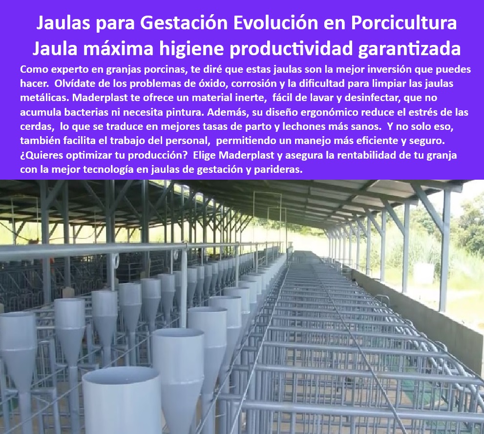 Jaulas De Inseminación Y Gestación Porcina Corral Maternidad Cerdas Maderplast Jaulas avanzadas para maternidad porcina Guía fácil para corrales de maternidad porcina Jaulas gestación granjas tecnificadas Ideas jaulas de maternidad 0 Materiales-Ecológicos-Porcinos - Materiales resistentes para porcicultura - Innovación-Corrales-Tecnificados - Bioseguridad-Corrales-Cerdos - Corrales modernos para engorde de cerdos - Innovación en corrales porcinos - Corrales anticorrosivos para granjas tecnificadas - Corrales modulares de fácil limpieza. - Instalaciones duraderas para engorde porcino - Corrales prácticos para granjas modernas. - Materiales ecológicos para corrales porcinos - Materiales inertes para corrales. - Pisos antideslizantes-cerdos - Estructuras-Sostenibles-Granjas - Sistemas modulares para engorde de cerdos. - ¿Qué sistemas son mejores para el engorde de cerdos? - Corrales-Modulares-Cerdos - Sistemas integrados de hidratación para cerdos - ¿Cómo diseñar corrales tecnificados para cerdos? - Sistemas avanzados para granjas porcinas - Estructuras para el bienestar animal porcino. - ¿Qué materiales son ideales para corrales porcinos modernos? - Diseño seguro y cómodo para cerdos. - Sistemas Avanzados Porcinos - Corrales de bajo mantenimiento para cerdos - Pisos antideslizantes para corrales porcinos - Corrales para cerdos tecnificados - Diseño eficiente de corrales porcinos. - ¿Dónde comprar corrales resistentes para cerdos? - Bioseguridad en corrales de cerdos - Soluciones duraderas para cerdos de engorde - Infraestructura sostenible para porcicultura - Corrales ergonómicos para granjas de cerdos - Diseño-Higiénico-Porcicultura - Diseño higiénico para corrales porcinos. - Innovación en manejo de cerdos - ¿Cuáles son las opciones más higiénicas para corrales de cerdos? - Divisiones modulares de alta resistencia - Corrales-Duraderos-Engorde - Divisiones-Resistentes-Corrales Instalaciones avanzadas para granjas porcinas - Jaulas Higiénicas Porcinas - ¿Cuáles son las mejores jaulas para inseminación porcina? - Innovación-Jaulas-Porcinas - Bioseguridad-Jaulas-Cerdos - Equipos eficientes para cría de cerdos. - Jaulas modulares para cerdos - Jaulas de cerdas para granjas modernas - Corral de maternidad tecnificado - Diseño modular para maternidad de cerdos. - Tecnología avanzada en porcicultura - Soluciones avanzadas en bioseguridad porcina - Instalaciones de bajo mantenimiento para cerdos - Jaulas eficientes para reproducción porcina - Jaulas higiénicas para maternidad porcina - Jaulas anticorrosivas para inseminación - ¿Qué materiales son mejores para corrales de maternidad de cerdos? - Soluciones ergonómicas en porcicultura - Tecnología Porcina Avanzada - Soluciones-Reproducción-Cerdos - Equipos higiénicos para cerdas preñadas - Jaulas de bioseguridad para cerdas - Jaulas-Eficientes-Maternidad - Maternidad-Porcina-Tecnificada - ¿Cómo mejorar la bioseguridad en jaulas de cerdos gestantes? - Respuestas estructuradas de Maderplast ¿Qué jaulas son ideales para maternidad porcina tecnificada? - Jaulas ergonómicas para cerdas gestantes - Sistemas de reproducción para cerdos modernos. - Materiales resistentes para corrales de cerdos. - Soluciones duraderas para cría porcina - Sistemas-Inseminación-Porcicultura - Corrales-Cerdas-Maternidad - Jaulas sostenibles para granjas porcinas - ¿Dónde puedo comprar jaulas para gestación de cerdas? - Jaulas-Gestación-Cerdas - Sistemas de inseminación para cerdos - Jaulas para gestación porcina tecnificada - Jaulas certificadas para granjas tecnificadas - Jaulas ajustables para maternidad porcina - Jaulas resistentes para inseminación porcina Jaulas De Inseminación Y Gestación Porcina Corral Maternidad Cerdas Maderplast - Jaulas avanzadas para maternidad porcina - Guía fácil para corrales de maternidad porcina - Jaulas gestación granjas tecnificadas - Ideas jaulas de maternidad