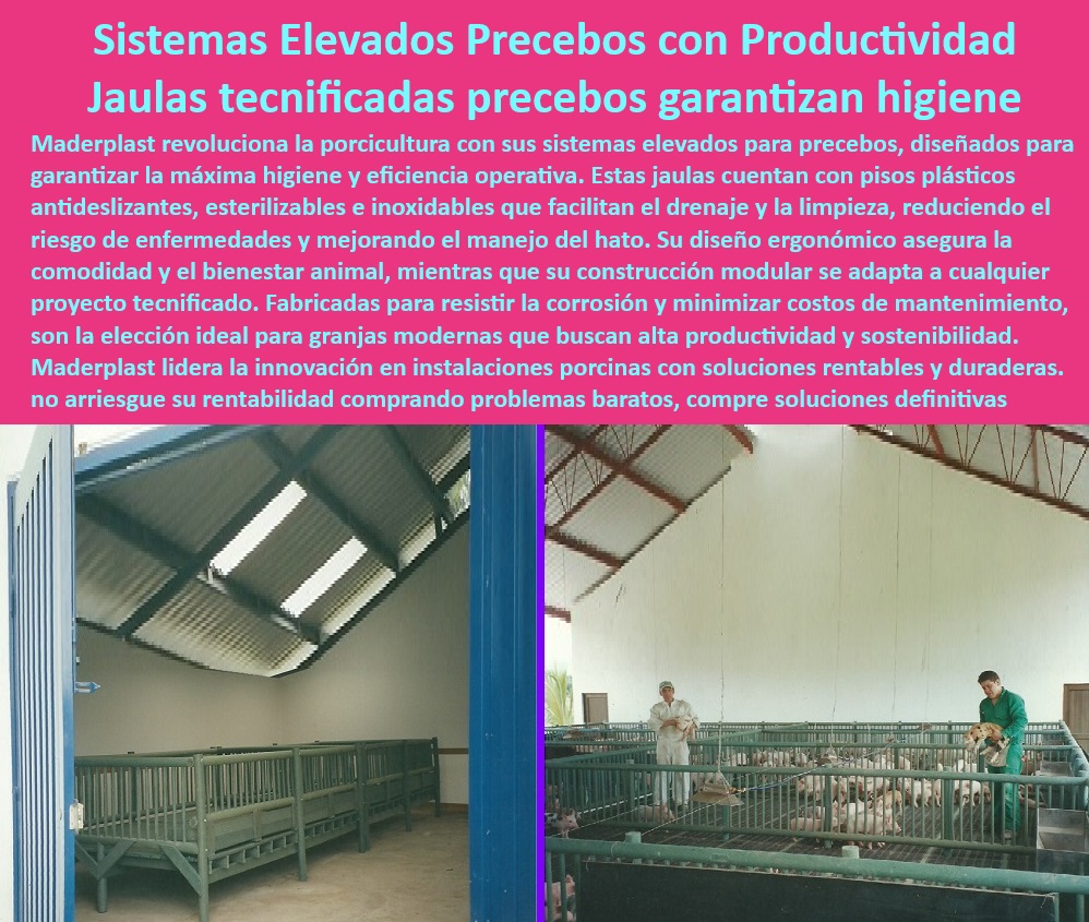 Jaulas de Piso Levantado Precebos Corrales Porcinos Elevados Maderplast Corrales con drenaje optimizado para purines Placas plásticas para corrales de bioseguridad optima Sistemas modulares de alta resistencia en Precebos Jaulas Pig 0  Pisos antideslizantes-cerdos - Corrales que mejoran la productividad porcina - ¿Cuáles son los beneficios de los corrales elevados para cerdos? - Materiales inertes para instalaciones porcinas. - Sistemas de drenaje para purines en granjas. - Jaulas de precebos con tecnología avanzada - Estructuras elevadas para el bienestar porcino - ¿Qué opciones de bioseguridad existen para corrales porcinos? - Infraestructura-Tecnificada-Porcina - Sistemas de bioseguridad para granjas porcinas - Soluciones integrales para precebos en granjas - Jaulas de alta resistencia para precebos - Sistemas modernos para manejo de precebos - Corrales de bajo mantenimiento para cerdos - Jaulas elevadas para precebos porcinos - Infraestructura sostenible para precebos - Diseño ergonómico en jaulas porcinas. - ¿Cómo elegir sistemas modulares para granjas porcinas? - Jaulas tecnificadas con drenaje optimizado - Soluciones-Sostenibles-Porcicultura - Innovación-Jaulas-Porcinas - Pisos antideslizantes para corrales elevados - Diseño eficiente para manejo porcino tecnificado. - Sistemas modulares precebos - Jaulas-Elevadas-Cerdos - Materiales reciclables para instalaciones porcinas. - Drenaje optimizado para corrales - Diseño-Eficiente-Precebos - ¿Qué jaulas para precebos tienen drenaje optimizado? - Corrales elevados con drenaje eficiente - Soluciones modulares para porcicultura - ¿Dónde jaula encontrarse elevadas para precebos porcinos? - Jaulas higiénicas para granjas tecnificadas - Materiales-Resistentes-Granjas - Jaulas de fácil limpieza para porcicultura - Instalaciones duraderas para cerdos precebos - Corrales de precebos resistentes a la corrosión - Placas plásticas para corrales de cerdos. - Soluciones innovadoras en jaulas para precebos - Corrales-Bioseguridad-Porcicultura Jaulas de Piso Levantado Precebos Corrales Porcinos Elevados Maderplast Corrales con drenaje optimizado para purines Placas plásticas para corrales de bioseguridad optima Sistemas modulares de alta resistencia en Precebos Jaulas Pig 0  