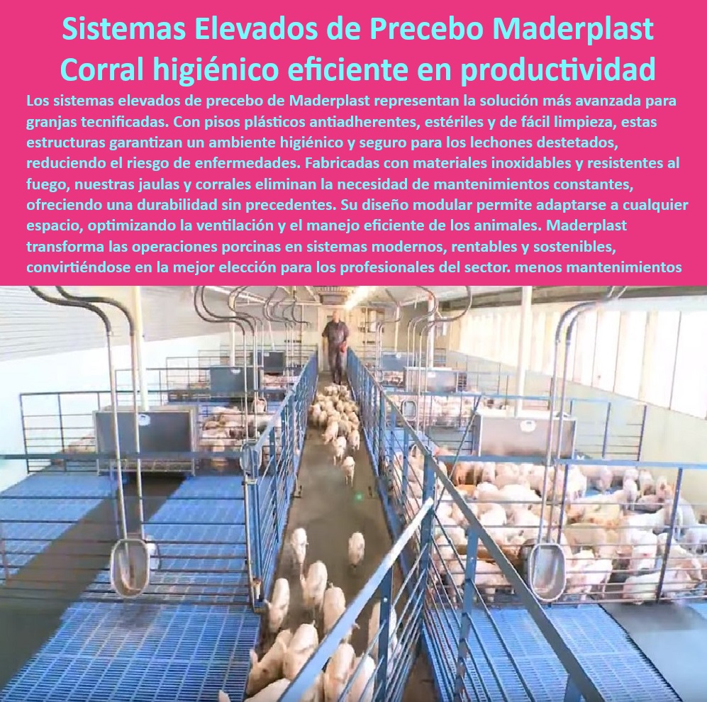 Jaulas de Piso Levantado Precebos Corrales Porcinos Elevados Maderplast Corrales modulares para optimización de espacio Cómo instalar jaulas para precebos Corrales antiadherentes para fácil limpieza Cómo elegir pisos elevados Jaulas Corrales modulares sin necesidad de mantenimiento - Sistemas modulares para precebo porcino - Jaulas elevadas para optimizar la ventilación. - Corrales-Sostenibles-Tecnificados - Corrales elevados para lechones destetados - Estructuras sostenibles para precebo porcino - Infraestructura eficiente para manejo porcino - Sistemas antiadherentes para lechones destetados - Infraestructura moderna para granjas porcinas. - Corrales-Elevados-Lechones - Sistemas-Precebo-Elevados - Innovación en corrales para lechones - ¿Cuáles son los beneficios de las jaulas modulares de precebo? - Jaulas-Duraderas-Precebo - Pisos resistentes para sistemas de precebo - Materiales inoxidables para corrales porcinos. - Corrales fáciles de limpiar y esterilizar. - ¿Cómo elegir pisos para manejo de precebo porcino? - Innovación-Granjas-Porcinas - Soluciones-Precebo-Rentables - Sistemas duraderos para precebo tecnificado - Soluciones higiénicas para manejo de precebo - ¿Qué materiales garantizan durabilidad en granjas porcinas? - Pisos de plástico para manejo porcino - Pisos antiadherentes en corrales porcinos - Infraestructura-Modular-Porcicultura - Jaulas que mejoran la productividad porcina - Sistemas avanzados para manejo de precebo - Pisos Higiénicos Porcinos - Pisos elevados que reducen enfermedades porcinas - Jaulas de precebo higiénicas y duraderas - Sistemas modernos para granjas tecnificadas - Diseño higiénico en sistemas de precebo. - Pisos-Plásticos-Anti-Adherentes - Soluciones rentables para precebo de cerdos - ¿Dónde comprar corrales elevados para lechones? - Sistemas de precebo elevados para granjas tecnificadas - Sistemas Higiénicos Lechones - Jaulas con diseño práctico y funcional. - ¿Qué sistemas de precebo son más eficientes? Jaulas de Piso Levantado Precebos Corrales Porcinos Elevados Maderplast - Corrales modulares para optimización de espacio - Cómo instalar jaulas para precebos - Corrales antiadherentes para fácil limpieza - Cómo elegir pisos elevados Jaulas