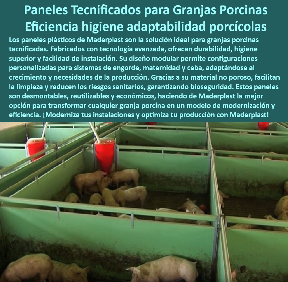 Paneles Plásticos Modulares para Corrales de Cerdos Maderplast Corrales con Materiales Económicos y de Alta Durabilidad Corrales Higiénicos Duraderos Materiales Higiénicos Modulares Materiales Anticorrosivos para Granjas Porcinas  0 Superficies no porosas para bioseguridad - Paneles desmontables para corrales porcinos - Paneles resistentes a la humedad y bacterias. - Instalaciones-Sostenibles-Cerdos - Higiene-En-Granjas-Porcinas - Materiales duraderos para granjas porcinas. - Paneles-Reutilizables-Modulares - Materiales-Resistentes-Porcicultura - ¿Cómo mejorar la higiene en granjas porcinas? - Soluciones económicas para corrales porcinos - Soluciones tecnológicas para instalaciones porcinas - ¿Cómo instalar paneles modulares en granjas porcinas? - Corrales adaptables para maternidad y engorde - ¿Dónde comprar paneles plásticos para granjas tecnificadas? - Instalaciones modulares para cría porcina - Sistemas desmontables y fáciles de instalar - Materiales anticorrosivos para porcicultura - Innovación-En-Corrales-Plásticos - Materiales fáciles de limpiar para cerdos - Diseño modular para granjas sostenibles - Corrales-Porcinos-Higiénicos - Paneles ligeros y resistentes para cerdos - Paneles-Plásticos-Modulares - Bioseguridad en granjas porcinas modernas - ¿Qué paneles son mejores para corrales de cerdos? - Soluciones para porcicultura - Corrales higiénicos para granjas tecnificadas - Sistemas modulares para engorde porcino - Paneles con drenaje eficiente para cerdos - Superficies higiénicas para corrales plásticos - Paneles económicos Duraderos - Paneles de alta resistencia para cerdos - Innovación en materiales para granjas tecnificadas - Paneles plásticos modulares para cerdos - Paneles ecológicos para producción porcina - Paneles reutilizables para maternidad porcina - Materiales avanzados para corrales de cerdos - Bioseguridad-Para-Granjas - ¿Qué soluciones económicas existen para corrales porcinos? - Paneles plásticos sostenibles para granjas Paneles Plásticos Modulares para Corrales de Cerdos Maderplast - Corrales con Materiales Económicos y de Alta Durabilidad - Corrales-Higiénicos-Duraderos - Materiales-Higiénicos-Modulares - Materiales Anticorrosivos para Granjas Porcinas -