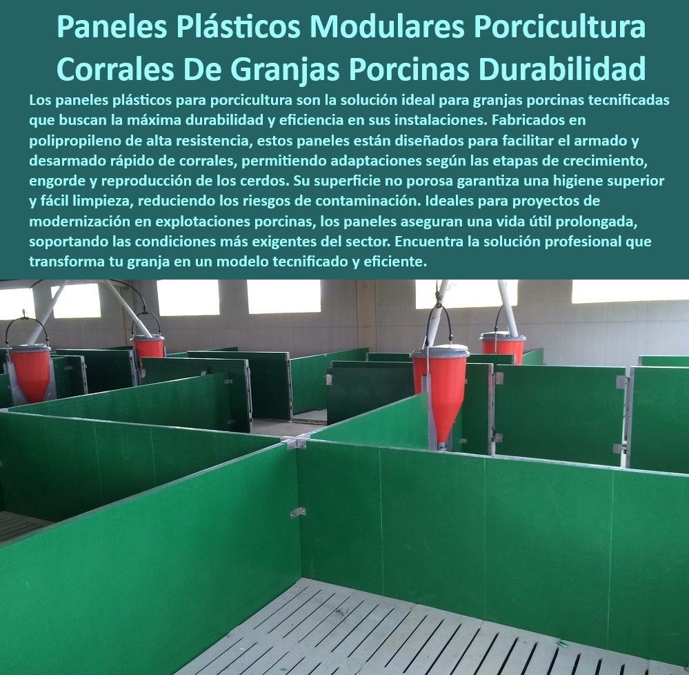 Paneles Plásticos Modulares para Corrales de Cerdos Maderplast Soluciones Higiénicas y Duraderas para Granjas Porcinas Tecnificadas Materiales Resistentes Antibacteriales Anticorrosivos y de Fácil Limpieza para Engorde Reproducción 0 Instalaciones tecnificadas para porcicultura - Paneles higiénicos para producción intensiva - Sistemas anticorrosivos para cría de cerdos. - Infraestructura avanzada para la porcicultura sostenible - Materiales reciclables para cría de cerdos. - ¿Qué beneficios ofrecen los paneles modulares en la porcicultura? - Materiales plásticos duraderos para la porcicultura. - Soluciones modulares para granjas - Innovación en diseño de paneles plásticos. - Sistemas higiénicos para granjas tecnificadas - Sostenibilidad-Granjas-Porcinas - ¿Dónde comprar paneles plásticos para corrales de cerdos? - Materiales antibacterianos para engorde porcino. - Reproducción segura con paneles plásticos - Soluciones ecológicas para granjas modernas - Paneles plásticos con drenaje eficiente. - Paneles plásticos para corrales porcinos - ¿Cómo mejorar la bioseguridad en corrales de cerdos? - Corrales modulares para maternidades porcinas - Diseño desmontable de paneles plásticos. - Innovación-Bioseguridad-Porcina - Paneles plásticos de fácil limpieza. - Sistemas sostenibles para cría de cerdos - Bioseguridad en corrales porcinos - Paneles plásticos resistentes a impactos - ¿Qué soluciones higiénicas hay para instalaciones porcinas tecnificadas? - Materiales-Antibacteriales-Duraderos - Soluciones modulares para cría de cerdos. - Corrales-Diseño-Fácil-Limpieza - Paneles-Plásticos-Para-Porcinos - Infraestructura-Avanzada-Porcicultura - ¿Cuáles son los mejores paneles para granjas porcinas modernas? - Corrales-Tecnificados-Modulares - Paneles antideslizantes para corrales - Corrales resistentes a la corrosión - Infraestructura moderna para granjas porcinas. - Corrales de plástico con bajo mantenimiento. - Sistemas-Higiénicos-Porcicultura - Eficiencia operativa en granjas tecnificadas - Paneles resistentes y corrales Paneles Plásticos Modulares para Corrales de Cerdos Maderplast - Soluciones Higiénicas y Duraderas para Granjas Porcinas Tecnificadas - Materiales Resistentes, Antibacteriales, Anticorrosivos y de Fácil Limpieza para Engorde, Reproducción,
