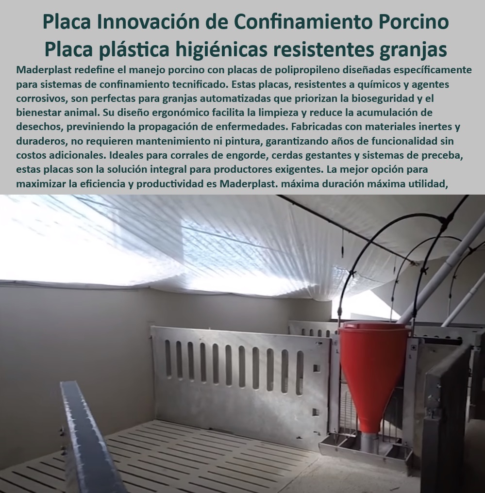 Paneles Plásticos Porcícolas Placas Higiénicas Granjas De Cerdos Maderplast Paneles perforados para ventilación en maternidades porcinas Placas de bajo mantenimiento para granjas Estructuras antideslizantes para seguridad en corrales Paneles Plásticos Porcícolas Placas Higiénicas Granjas De Cerdos Maderplast - Paneles perforados para ventilación en maternidades porcinas - Placas de bajo mantenimiento para granjas - Estructuras antideslizantes para seguridad en corrales