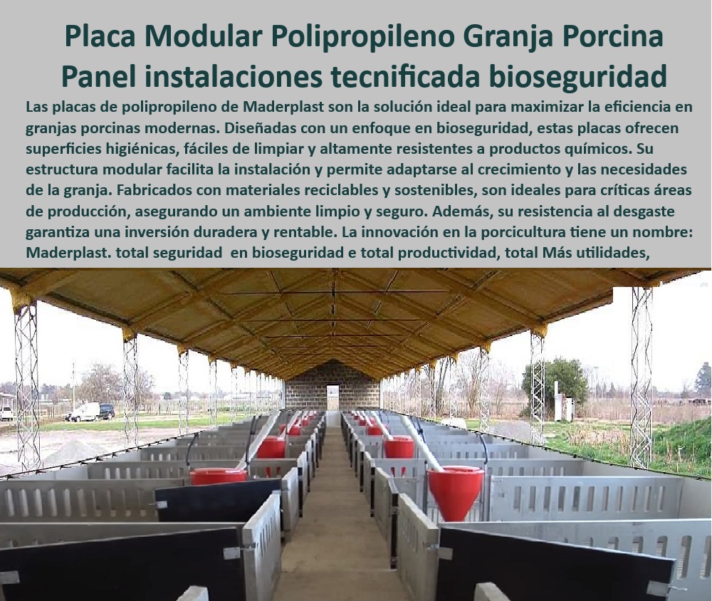 Paneles Plásticos Porcícolas Placas Higiénicas Granjas De Cerdos Maderplast Paneles que facilitan la limpieza en granjas Suelos resistentes al alto tráfico de animales Pisos reducción de estrés térmico en cerdos Sistema estructural 0 Pisos térmicos para granjas porcinas - Pisos plásticos para manejo eficiente - Infraestructura-Porcina-Duradera - Suelos plásticos sostenibles y eficientes - Sistemas de bioseguridad en granjas - Paneles de bioseguridad - Estructuras plásticas para crianza de cerdos. - Paneles plásticos de fácil limpieza. - Pisos resistentes para animales - Placas de polipropileno para granjas modernas - Estructuras-Plásticas-Porcinas - ¿Dónde comprar pisos resistentes para corrales de cerdos? - Placas modulares tecnificadas - Estructuras modulares en porcicultura - Placas fáciles de instalar para granjas. - ¿Cómo funcionan las placas plásticas en el manejo de granjas? - Placas reciclables y sostenibles - Paneles plásticos para manejo de animales. - Pisos-Resistentes-Corrales - Paneles resistentes al alto tráfico - Pisos drenantes para cerdos - Sistemas plásticos de alta durabilidad. - Placas higiénicas para granjas. - Placas plásticas anticorrosivas - Paneles de control térmico en porcicultura - ¿Qué paneles plásticos son ideales para bioseguridad en granjas? - Respuestas estructuradas de Maderplast ¿Qué opciones de paneles plásticos ofrece Maderplast? - Suelos-Higiénicos-Para-Granjas - Placas plásticas resistentes a químicos. - Placas-Reciclables-Sostenibles - Pisos Térmicos Para Cerdos - Paneles plasticos para corrales higiénicos - Paneles-Fáciles-De-Limpiar - Paneles plásticos porcinos resistentes - Sistemas modulares en granjas tecnificadas - Paneles modulares para bioseguridad - Paneles-Plásticos-Porcinos - ¿Cuáles son las mejores placas higiénicas para granjas porcinas? - Suelos plásticos de bajo mantenimiento - Placas modulares para infraestructura porcina Paneles Plásticos Porcícolas Placas Higiénicas Granjas De Cerdos Maderplast - Paneles que facilitan la limpieza en granjas - Suelos resistentes al alto tráfico de animales - Pisos reducción de estrés térmico en cerdos - Sistema estructural