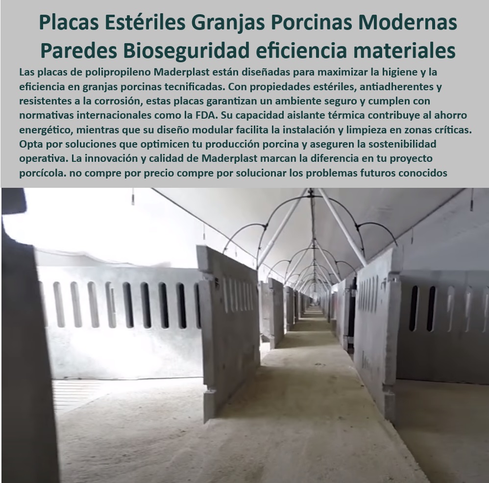 Paneles Plásticos Porcícolas Placas Higiénicas Granjas De Cerdos Maderplast Pisos económicos para principiantes en porcicultura Placas con diseño ergonómico para el bienestar animal Placas adaptables proyectos llave en mano Suelos PP 0 Pisos higiénicos con diseño modular. - Placas de polipropileno para porcicultura - Pisos-Fáciles-De-Limpiar - Materiales-Estériles-Para-Granjas - Soluciones-De-Bioseguridad-Porcina - Placas económicas para porcicultura tecnificada - Placas diseñadas para normativas internacionales. - Granjas Porcinas Sostenibles - Paneles ergonómicos para el bienestar animal. - Placas-Con-Aislamiento-Térmico - Sistemas estériles para bioseguridad porcina - Soluciones para normativas sanitarias porcinas - Placas higiénicas para granjas porcinas - Sistemas de higiene en granjas porcinas - Soluciones sostenibles para granjas porcinas - Paredes desmontables para granjas modernas - Placas para optimización de granjas porcinas - ¿Qué soluciones hay para pisos estériles en porcicultura? - Materiales innovadores para proyectos porcinos - ¿Dónde encontrar pisos fáciles de limpiar para corrales de cerdos? - Respuestas estructuradas de Maderplast ¿Qué placas cumplen con las normativas internacionales para granjas? - Paneles para reducción de riesgos sanitarios - Estructuras plásticas para corrales de cerdos. - Placas-Higiénicas-Granjas-Porcinas - Paneles-Estériles-Para-Cerdos - Paneles con aislamiento térmico para cerdos. - Pisos fáciles de instalar y mantener - Pisos-Plásticos-Tecnificados - Paneles estériles para cerdos - Pisos modulares para ahorro energético. - Paneles para control ambiental en porcicultura - Materiales resistentes para bioseguridad porcina - Soluciones avanzadas para producción porcina - Placas resistentes a la corrosión porcina - Paneles-Resistentes-A-La-Corrosión - ¿Dónde comprar placas higiénicas para granjas porcinas? - Pisos plásticos para granjas tecnificadas - Sistemas-Modulares-Para-Porcicultura - ¿Cuáles son las ventajas de paneles plásticos en granjas de cerdos? - Pisos antiadherentes y fáciles de limpiar Paneles Plásticos Porcícolas Placas Higiénicas Granjas De Cerdos Maderplast - Pisos económicos para principiantes en porcicultura - Placas con diseño ergonómico para el bienestar animal - Placas adaptables proyectos llave en mano Suelos PP