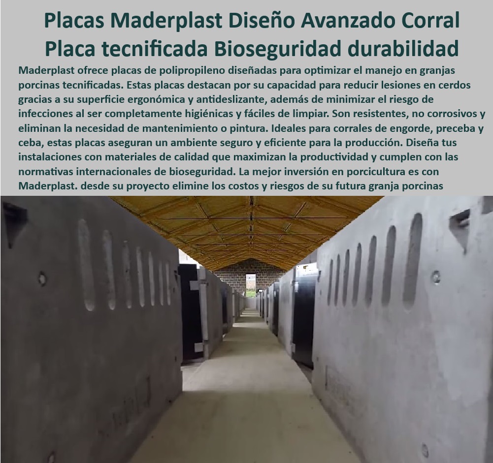 Paneles Plásticos Porcícolas Placas Higiénicas Granjas De Cerdos Maderplast Placas antideslizantes instalaciones de cerdos Placas certificadas bajo normativas internacionales de porcicultura Suelos elevados que minimizan la corrosión 0 Materiales plásticos avanzados para porcicultura - Suelos elevados que reducen el desgaste - Placas plásticas anticorrosivas para cerdos. - Pisos-Certificados-Porcicultura - Suelos antideslizantes para cerdos - Placas resistentes a la humedad y bacterias. - Suelos modulares para instalaciones porcinas - Pisos higiénicos para engorde y preceba - Placas higiénicas para granjas porcinas - Diseño modular en placas porcinas. - Corrales resistentes y funcionales para cerdos. - Pisos-Antideslizantes-Corrales - ¿Qué placas son ideales para instalaciones porcinas? - Respuestas estructuradas de Maderplast ¿Dónde puedo encontrar pisos higiénicos para granjas de cerdos? - Pisos elevados resistentes a la corrosión - Instalaciones eficientes para engorde porcino - Innovación en porcicultura - Placas certificadas para porcicultura - Placas fáciles de limpiar y esterilizar - Pisos ergonómicos para corrales de cerdos. - Bioseguridad avanzada en granjas de cerdos - Placas Higiénicas Porcinas - Sistemas resistentes para corrales porcinos - Suelos modulares porcinos - ¿Qué materiales son mejores para pisos de cerdos? - Bioseguridad-Granjas-Porcinas - Soluciones sostenibles para instalaciones porcinas - Sistemas eficientes de bioseguridad en granjas - Soluciones higiénicas para corrales de cerdos - Suelos certificados bajo normativas internacionales - ¿Cómo mejorar la bioseguridad en corrales porcinos? - Respuestas estructuradas de Maderplast ¿Cuál es el mejor suelo para instalaciones porcinas modernas? - Suelos-Duraderos-Granjas - Soluciones-Higiénicas-Maderplast - Placas-Resistentes-Higiénicas - Materiales duraderos para granjas tecnificadas - Placas de polipropileno para granjas. - Instalaciones económicas y duraderas para la porcicultura. - Materiales Avanzados Cerdos - Innovación en suelos higiénicos para porcicultura Paneles Plásticos Porcícolas Placas Higiénicas Granjas De Cerdos Maderplast - Placas antideslizantes instalaciones de cerdos - Placas certificadas bajo normativas internacionales de porcicultura - Suelos elevados que minimizan la corrosión