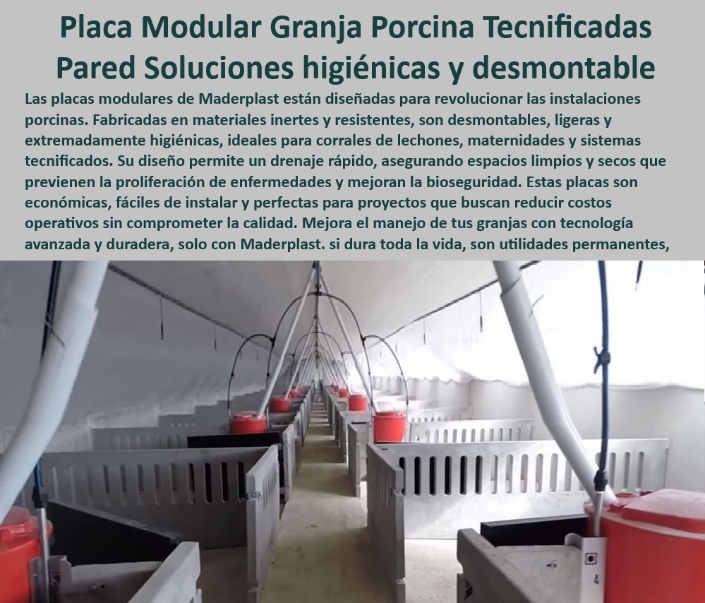 Paneles Plásticos Porcícolas Placas Higiénicas Granjas De Cerdos Maderplast Suelos perforados que mejoran la ventilación en corrales Placas duraderas proyectos llave en mano en granjas Rejillas ventiladas control de amoníaco en corral 0 Rejillas-Ventiladas-Corrales - Pisos modulares para manejo porcino - Sistemas higiénicos para crianza de cerdos. - Materiales-Duraderos-Porcicultura - Pisos que mejoran la ventilación en maternidades - Suelos-Higiénicos-Granjas - Optimización de espacios en granjas porcinas - Placas modulares porcícolas - Estructuras-Higiénicas-Para-Cerdos - Infraestructuras higiénicas para engorde porcino - Placas de plástico duraderas para cerdos - Rejillas para drenaje rápido en corrales - Materiales resistentes para corrales porcinos. - ¿Qué ventajas tienen las rejillas ventiladas para corrales porcinos? - Suelos perforados para granjas de cerdos - Suelos plásticos para proyectos agroindustriales - Proyectos llave en mano para porcicultura - Control-De-Amoniaco-Corrales - Rejillas ventiladas control de amoníaco - Innovación-En-Suelos-Porcinos - ¿Qué materiales son ideales para proyectos llave en mano en porcicultura? - Soluciones sostenibles para granjas porcinas - Bioseguridad-En-Granjas-Porcinas - Soluciones económicas para producción porcina. - Placas modulares higiénicas de porcicultura - ¿Cuáles son los mejores pisos higiénicos para corrales de cerdos? - Soluciones-Llave-En-Mano - Materiales ligeros y resistentes para la porcicultura. - Suelos antideslizantes para granjas tecnificadas - ¿Dónde comprar placas plásticas para granjas de cerdos? - Placas desmontables de fácil limpieza - Sistemas de ventilación en corrales porcinos. - Suelos para bioseguridad en porcicultura - Estructuras modulares para instalaciones porcinas. - ¿Cómo controlar el amoníaco en corrales porcinos? - Instalaciones avanzadas en bioseguridad porcina - Innovación en diseño de corrales porcinos. - Materiales anticorrosivos para suelos porcinos - Pisos-Antideslizantes-Porcicultura - Materiales de bajo mantenimiento para corrales Paneles Plásticos Porcícolas Placas Higiénicas Granjas De Cerdos Maderplast - Suelos perforados que mejoran la ventilación en corrales - Placas duraderas proyectos llave en mano en granjas - Rejillas ventiladas control de amoníaco en corral