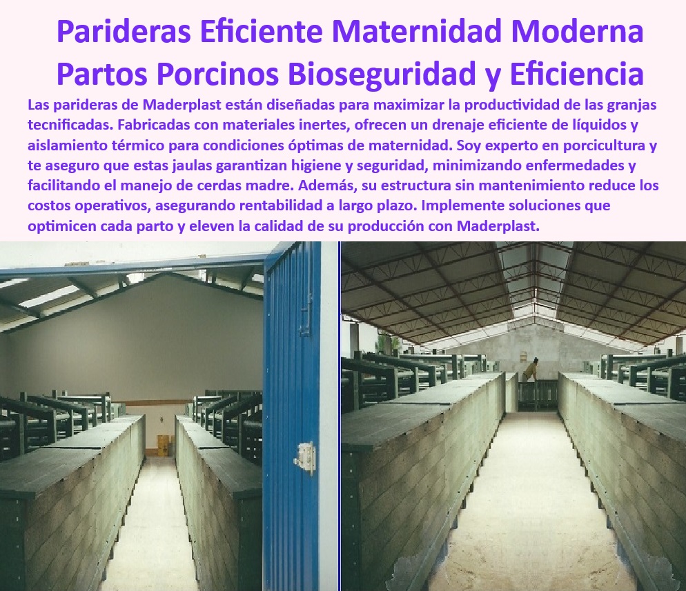 Parideras Porcícolas Higiénicas Jaula Parto Cerdas Fácil Limpieza Maderplast Parideras económicas para maternidad porcina Jaulas antideslizantes maternidad cerdas Diseños desmontables de parideras cerdas Sistemas de maternidad parto 0 Sistemas-Maternidad-Cerdas - ¿Qué ventajas ofrecen las parideras desmontables para cerdos? - Soluciones para las cerdas de la madre - Jaulas fáciles de limpiar y seguras - Reducción de enfermedades en corrales porcinos - Optimización de partos en porcicultura tecnificada - Drenaje eficiente para paridas - Jaulas para cerdas madre sin mantenimiento - Parideras con garantía de durabilidad - Infraestructura-Tecnificada-Cerdas - Jaulas-Fáciles-De-Limpiar - Soluciones prácticas en maternidades porcinas - Parideras-Resistentes-Y-Duraderas - Diseño técnico en parideras desmontables. - Parideras porcinas higiénicas desmontables - Jaulas-Desmontables-Maternidad - Infraestructura higiénica para porcicultura - Jaulas ergonómicas para bienestar animal. - ¿Dónde comprar jaulas higiénicas para cerdas madre? - Soluciones avanzadas para maternidad cerdas - Sistemas eficientes para manejo porcino - Maternidades cerdas con bioseguridad avanzada - ¿Qué parideras son ideales para la maternidad porcina? - Jaulas para maternidad cerdas modernas - Sistemas de drenaje eficientes para jaulas. - Bioseguridad en el parto porcino - Parideras-Porcinas-Higiénicas - Parideras económicas para cría de cerdos - Soluciones sostenibles para maternidades porcinas - Jaulas de plástico resistentes para cerdas - Parideras resistentes para granjas tecnificadas - Instalaciones tecnológicas para maternidad porcina - Innovación-En-Maternidades-Porcinas - ¿Cuáles son las mejores jaulas para cerdas con bioseguridad? - Soluciones modernas en jaulas para cerdas - Jaulas antideslizantes parto porcino - Parideras seguras con control térmico - Sistemas de parto porcino eficientes - ¿Cómo elegir sistemas de parto para granjas tecnificadas? - Infraestructuras duraderas para cerdas madre Parideras Porcícolas Higiénicas Jaula Parto Cerdas Fácil Limpieza Maderplast - Parideras económicas para maternidad porcina - Jaulas antideslizantes maternidad cerdas - Diseños desmontables de parideras cerdas - Sistemas de maternidad parto