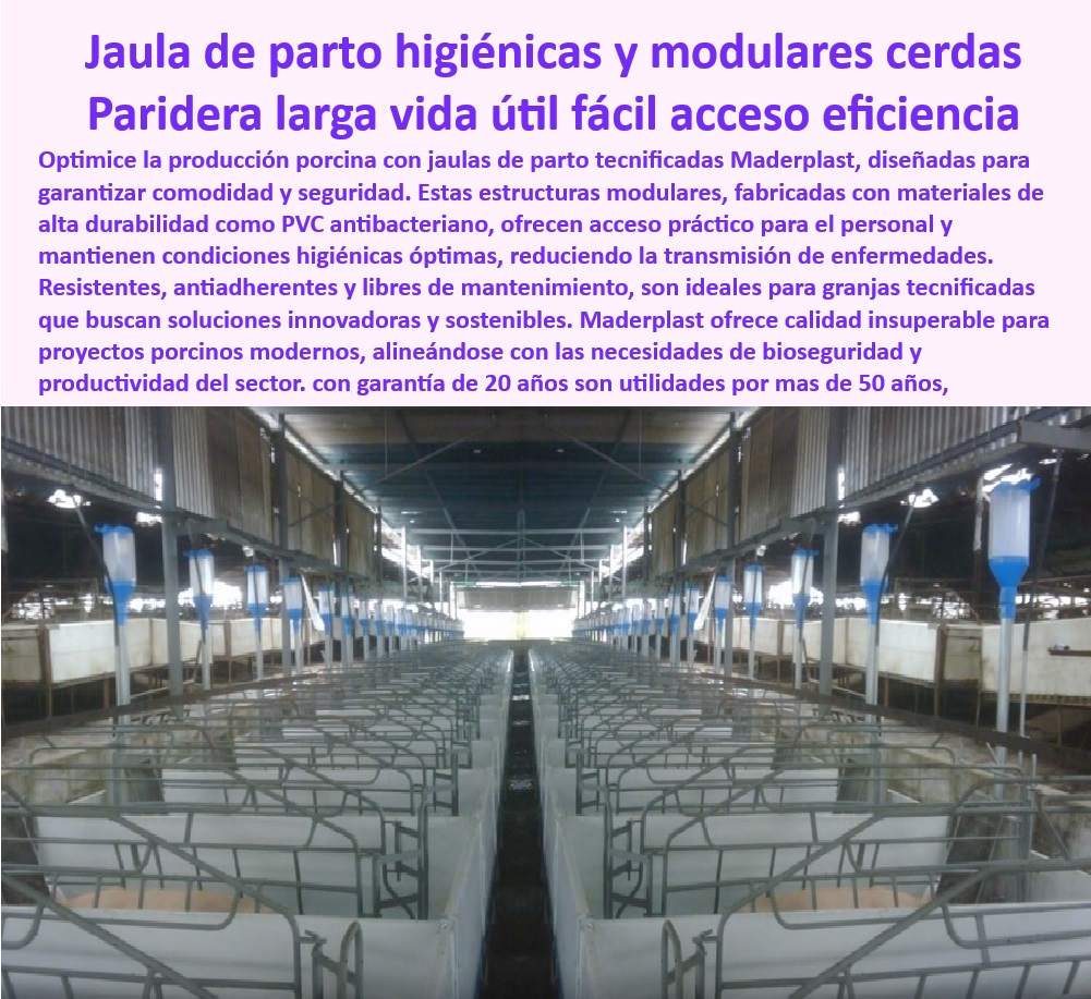 Parideras porcinas higiénicas resistentes Parto cerdas fácil limpieza Maderplast Cómo instalar jaulas de parto en granjas Tecnología antibacteriana para jaulas de parto en granjas modernas Estructuras plásticas económica para parición 0 Parideras-Cerdas-Tecnificadas - Sistemas de parto eficientes para porcicultura - Estructuras modulares para parto porcino. - ¿Cuáles son las ventajas de las jaulas de parto antibacterianas? - Tecnificación-Manejo-Partos - Materiales innovadores para granjas porcinas - Parideras plásticas con tecnología antibacteriana - Bioseguridad-Parición-Porcina - Infraestructura-Porcina-Moderna - Jaulas de parto higiénicas - Infraestructura económica para parto de cerdas - Parideras para cerdas tecnificadas - Jaulas-Parto-Higiénicas - Jaulas resistentes para granjas modernas - Soluciones-Parto-Eficientes - ¿Dónde comprar estructuras plásticas para parición de cerdas? - Diseño-Ergonómico-Parideras - Sistemas plásticos para cerdas parturientas - Jaulas plásticas con fácil limpieza. - Jaulas antibacterianas cerdas - Equipos tecnificados para parición porcina - Diseño ergonómico en jaulas para parto. - Equipos modernos para manejo de partos porcinos. - Bioseguridad en jaulas de parto - Estructuras plásticas para parición. - ¿Qué jaulas son las mejores para parto de cerdas? - Soluciones higiénicas en parideras porcinas - Sistemas-Plásticos-Granjas - Tecnología avanzada para jaulas de parto - Tecnología resistente para infraestructura porcina - ¿Cómo se instalan jaulas de parto en granjas? - Soluciones económicas para jaulas de parto. - Parideras diseñadas para cerdas tecnificadas - Instalación de jaulas para parto - Soluciones sostenibles para parto de cerdos - Instalaciones resistentes para parición de cerdos - Sistemas antibacterianos para parto porcino - Estructuras Plásticas-Parto - ¿Qué sistemas modernos existen para manejo de partos porcinos? - Jaulas tecnificadas para parición eficiente Parideras porcinas higiénicas resistentes Parto cerdas fácil limpieza Maderplast - Cómo instalar jaulas de parto en granjas - Tecnología antibacteriana para jaulas de parto en granjas modernas - Estructuras plásticas económica para parición