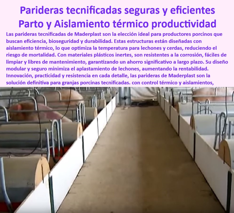 Parideras porcinas higiénicas resistentes Parto cerdas fácil limpieza Maderplast Estructuras anticorrosión maternidad tecnificada Jaulas maternidad con diseño ergonómico y anti estrés Cómo evitar aplastamiento de lechones fácilmente  0 Estructuras para parto porcino - Parideras fáciles de limpiar - Parideras-fáciles-de-limpiar - Sistemas porcinos eficientes - Parideras modulares para cerdas - Diseño-ergonómico-maternidad - Jaulas-maternidad-anticorrosión - Sistemas eficientes para cerdas - ¿Cuáles son las mejores jaulas para maternidad tecnificada? - Hashtags para Posicionamiento SEO - Maderplast parideras. innovadoras - Jaulas plasticas para maternidad - ¿Cómo garantizan las parideras higiene y bioseguridad? - Bioseguridad en granjas porcinas - Parideras con aislamiento térmico - Soluciones para partos cerrados - Preguntas por Voz Comunes - Cómo evitar el aplastamiento de lechones - ¿Qué parideras son ideales para prevenir aplastamiento de lechones? - Parideras-cerdas-tecnificadas - Soluciones higiénicas para cerdas - Jaulas maternidad antiestrés - ¿Dónde puedo comprar parideras para cerdas con diseño ergonómico? - Diseño ergonómico para maternidad. - Sistemas de control térmico en maternidad - Estructuras-resistentes-porcinas - Parideras higiénicas para lechones - Parideras tecnificadas para granjas - Bioseguridad en granjas - Jaulas antiestrés lechones - Parideras económicas y prácticas - Parideras porcinas resistentes - Infraestructura-porcina-tecnificada - Parideras sostenibles y duraderas - Infraestructura para maternidad tecnificada - Soluciones avanzadas para parto - Jaulas para partos cerrados - Suelos drenantes para maternidad - Estructuras tecnificadas anticorrosión - Optimización de crianza en parideras - Jaulas maternidad de bajo mantenimiento - ¿Qué características tienen las parideras de Maderplast? Parideras porcinas higiénicas resistentes Parto cerdas fácil limpieza Maderplast - Estructuras anticorrosión maternidad tecnificada - Jaulas maternidad con diseño ergonómico y anti estrés - Cómo evitar aplastamiento de lechones fácilmente -