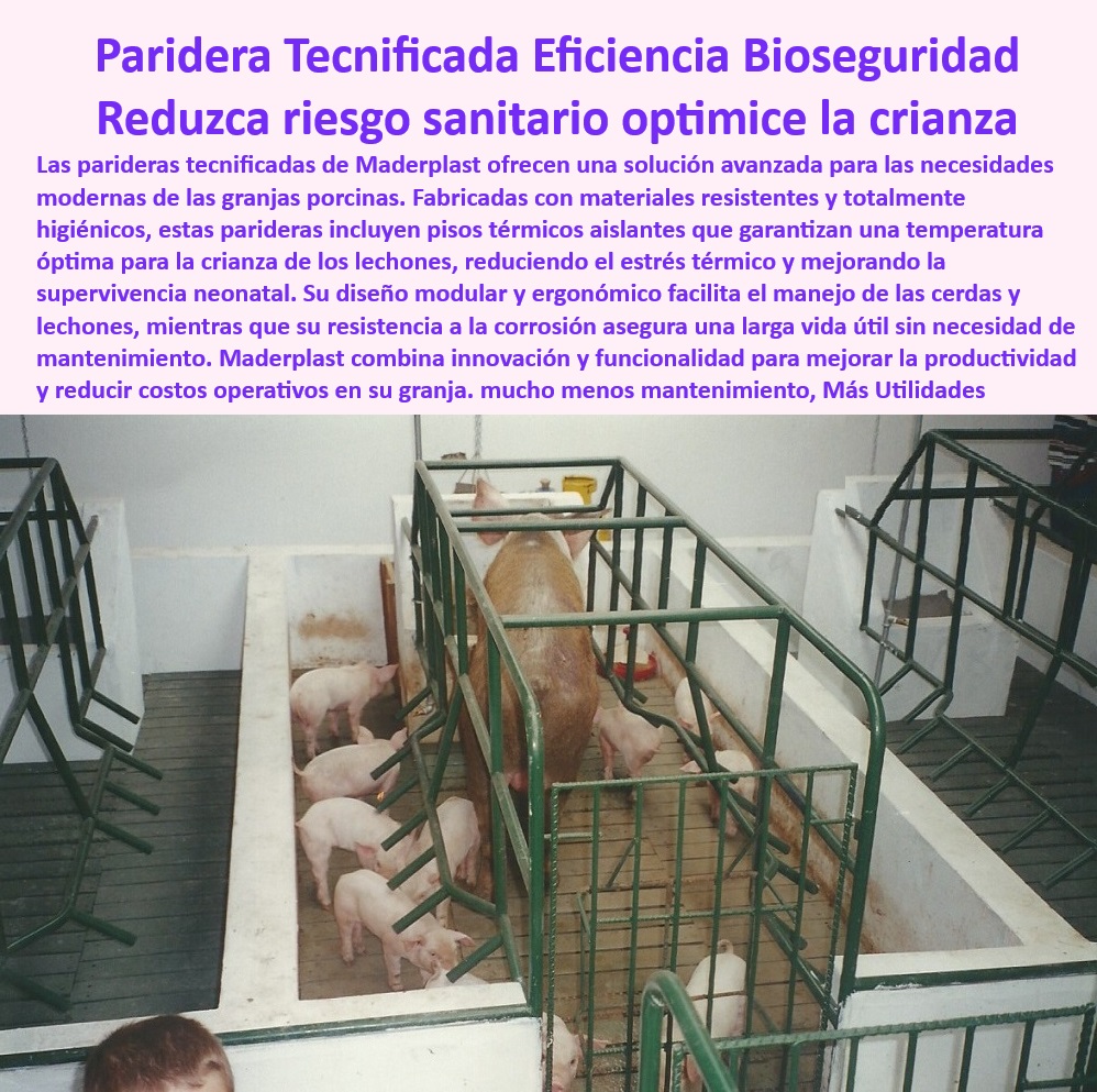 Parideras porcinas higiénicas resistentes Parto cerdas fácil limpieza Maderplast Estructuras desmontables para maternidad en granjas tecnificadas Parideras seguras con drenaje eficiente Diseño modular de jaulas parideras Sistemas PP 0 Pisos-fáciles-de-limpiar-porcicultura - Sistemas de maternidad para cerdas seguras - Parideras higiénicas con diseño modular - Soluciones innovadoras para granjas porcinas - Soluciones-para-bioseguridad-porcina - Pisos seguros y cómodos para cerdas - ¿Qué jaulas son ideales para cerdas en maternidad tecnificada? - Jaulas modulares para cerdas - Jaulas para mejorar la supervivencia neonatal. - Granjas-tecnificadas-con-parideras - Pisos higiénicos y duraderos para maternidad. - ¿Dónde jaula conseguir parideras higiénicas para cerdas? - Estructuras-resistentes-para-maternidad - Innovación-en-parideras-porcinas - Jaulas para reducción de estrés térmico. - Sistemas tecnificados para maternidad porcina - Pisos-térmicos-para-parideras - Estructuras resistentes para cerdas en parto. - Sistemas avanzados para granjas porcinas - Estructuras para parto porcino tecnificado - Jaulas resistentes a la corrosión - Parideras desmontables con drenaje eficiente, ¿dónde comprar? - Respuestas estructuradas de Maderplast ¿Cuáles son las mejores parideras para maternidad porcina? - Sistemas-de-maternidad-tecnificados - Soluciones personalizadas para maternidad porcina - Soluciones para bioseguridad en maternidad porcina - Jaulas tecnificadas para cerdas modernas - Parideras económicas y funcionales - Soluciones avanzadas para cerdas en parto, ¿qué opciones hay? - Jaulas-higiénicas-desmontables - Parideras modulares para cerdas - Sistemas desmontables para granjas tecnificadas - Jaulas de parto fáciles de limpiar - Jaulas parideras higiénicas desmontables - Parideras-porcinas-con-drenaje - Jaulas de fácil instalación y bajo mantenimiento. - Parideras porcinas con drenaje eficiente - Parideras con ventilación óptima - Soluciones eficientes para crianza porcina - Pisos térmicos aislantes para parideras Parideras porcinas higiénicas resistentes Parto cerdas fácil limpieza Maderplast - Estructuras desmontables para maternidad en granjas tecnificadas - Parideras seguras con drenaje eficiente - Diseño modular de jaulas parideras - Sistemas PP