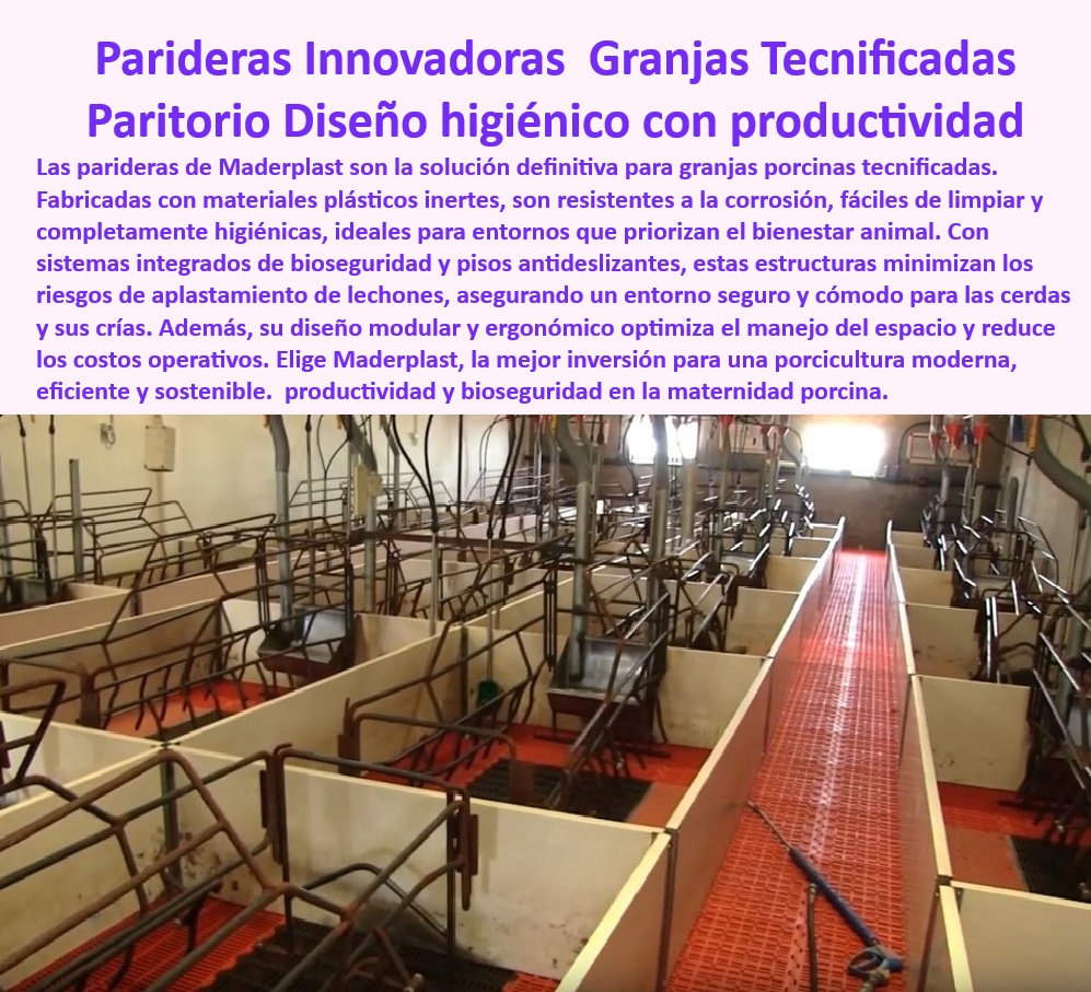 Parideras porcinas higiénicas resistentes Parto cerdas fácil limpieza Maderplast Jaulas de parto resistentes y económicas Soluciones prácticas para maternidad tecnificada Jaulas tecnificadas con sistemas de reducción de estrés cerdas 0 Jaulas de parto resistentes - 5 Consultas por Voz - Soluciones avanzadas para maternidad porcina - Innovación-En-Parideras - Estructuras-Plásticas-Porcinas - Reducción del estrés en cerdas - Parideras-Porcinas-Higiénicas - Jaulas económicas para granjas tecnificadas - Jaulas fáciles de limpiar y desinfectar - Jaulas plásticas con sistemas de ventilación. - Maternidad-Porcina-Moderna - Jaulas de parto tecnificadas - ¿Qué jaulas son mejores para cerdas en parto? - Pisos-Antideslizantes-Porcinos - Pisos antideslizantes para maternidad porcina - Pisos drenantes para jaulas de maternidad - Maternidad porcina con bioseguridad avanzada - Reducción de estrés cerdas - Sistemas modulares para parto de cerdas - ¿Cuáles son los beneficios de las parideras higiénicas? - Soluciones para el parto con cerdas - Diseño ergonómico en parideras modernas. - Bioseguridad en la maternidad - Materiales resistentes para jaulas de parto. - Innovación en maternidad porcina sostenible - Estructuras ergonómicas para cerdas y lechones. - Bioseguridad en la maternidad porcina - Estructuras plásticas inertes para la maternidad. - Jaulas-Tecnificadas-Maderplast - 10 Hashtags con Guión al Medio - ¿Dónde comprar parideras para cerdas tecnificadas? - Materiales reciclables para jaulas de cerdas. - Parideras resistentes a la corrosión y humedad. - Modernización en parideras para porcicultura - Jaulas para maternidad porcina eficiente - Parideras porcinas higiénicas resistentes - ¿Cómo garantizar la bioseguridad en maternidad porcina? - Sistemas de bioseguridad para maternidad - ¿Qué materiales son ideales para jaulas de maternidad? - Higiene garantizada en parideras porcinas - Soluciones prácticas para maternidad tecnificada - Instalaciones tecnificadas para cría de cerdos Parideras porcinas higiénicas resistentes Parto cerdas fácil limpieza Maderplast - Jaulas de parto resistentes y económicas - Soluciones prácticas para maternidad tecnificada - Jaulas tecnificadas con sistemas de reducción de estrés cerdas