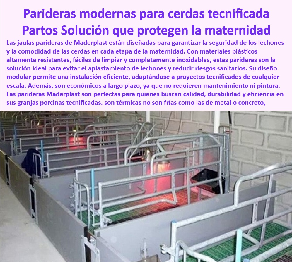 Parideras porcinas higiénicas resistentes Parto cerdas fácil limpieza Maderplast Jaulas para parir lechones con bioseguridad Infraestructura sostenible y eficiente para granjas porcinas modernas Aislamiento térmico parideras modernas 0 Pisos-Plásticos-Drenaje - Sistemas eficientes de limpieza en granjas. - ¿Qué materiales son ideales para granjas tecnificadas? - Materiales innovadores para instalaciones porcinas. - Soluciones duraderas para producción porcina. - ¿Cuáles son las ventajas de usar paneles de polipropileno en granjas? - Pisos ergonómicos para el bienestar animal. - Pisos plásticos que cumplen con las normativas internacionales. - Soluciones modulares para cría intensiva - Paneles Higiénicos Corrales - Pisos plásticos para drenaje eficiente - Rejillas-Maternidad-Porcinas - Paneles plásticos higiénicos para cerdos. - Pisos que reducen el amoníaco en corrales - Sistemas de drenaje óptimos para corrales. - Placas-Polipropileno-Resistentes - Bienestar-Animal-Tecnificado - Sistemas de bioseguridad en granjas porcinas - ¿Qué sistemas modulares son mejores para la porcicultura? - Materiales-Higiénicos-Porcicultura - Productos higiénicos para optimizar la producción. - Paneles de fácil instalación para porcicultura - Paneles desmontables para limpieza profunda - Placas especializadas para manejo porcino - Estructuras tecnificadas para el bienestar animal. - Sistemas modulares porcinos - ¿Cómo reducir el amoníaco en granjas porcinas? - Sistemas modulares de granjas tecnificadas - Materiales higiénicos para cría de cerdos. - Bioseguridad-Granjas-Porcinas - Materiales libres de mantenimiento para granjas - Drenaje eficiente - Corrales - Limpieza profunda de granjas - Paneles resistentes al desgaste intensivo - Paneles de polipropileno para corrales. - Placas de polipropileno resistentes a la corrosión. - Materiales plásticos para granjas sostenibles - Placas higiénicas con propiedades antibacterianas - ¿Dónde comprar paneles higiénicos para corrales de cerdos? - Rejillas plásticas para maternidad porcina Jaulas y separadores de plásticos para cerdos. - Tecnología en paneles para granjas modernas - Instalaciones-Tecnificadas-Cerdos - Placas Plásticas Corrales - Bioseguridad-Granjas-Cerdos - Materiales higiénicos para proyectos porcinos. - Soluciones eficientes para corrales tecnificados - Estructuras-Sostenibles-Corrales - Sistemas Higiénicos Porcinos - Instalaciones libres de contaminación para cerdos - Sistemas de cría intensiva con bioseguridad - Pisos modulares porcinos - Materiales resistentes a la corrosión para cerdos. - Paneles adaptables para instalaciones porcinas - Placas diseñadas para optimizar el bienestar animal. - Estructuras sostenibles para granjas de cerdos - ¿Qué materiales plásticos son más duraderos para granjas? - Paneles resistentes para granjas tecnificadas - Materiales plásticos para granjas bioseguras - ¿Cómo instalar paneles modulares en granjas porcinas? - Pisos modulares para maternidad porcina - ¿Dónde encontrar sistemas higiénicos para cerdos? - Sistemas modulares para bioseguridad en granjas - Paneles-Plásticos-Resistentes - Placas higiénicas de polipropileno - Soluciones plásticas para cría intensiva - Materiales duraderos para granjas porcinas. - ¿Qué placas plásticas son ideales para corrales de cerdos? - Pisos-Plásticos-Granjas - Placas especializadas para manejo de cerdos - Sistemas de fácil limpieza en corrales - ¿Cómo optimizar la bioseguridad en granjas porcinas? - Materiales-Duraderos-Granjas - Tecnología-Modular-Corrales - Pisos higiénicos para maternidad de cerdos. - Placas plasticas para corrales porcinos - Paneles económicos y sostenibles para cerdos - Paneles resistentes al desgaste para granjas - Soluciones innovadoras para corrales de cebo - Pisos antideslizantes para corrales porcinos Parideras porcinas higiénicas resistentes Parto cerdas fácil limpieza Maderplast - Jaulas para parir lechones con bioseguridad - Infraestructura sostenible y eficiente para granjas porcinas modernas - Aislamiento térmico parideras modernas