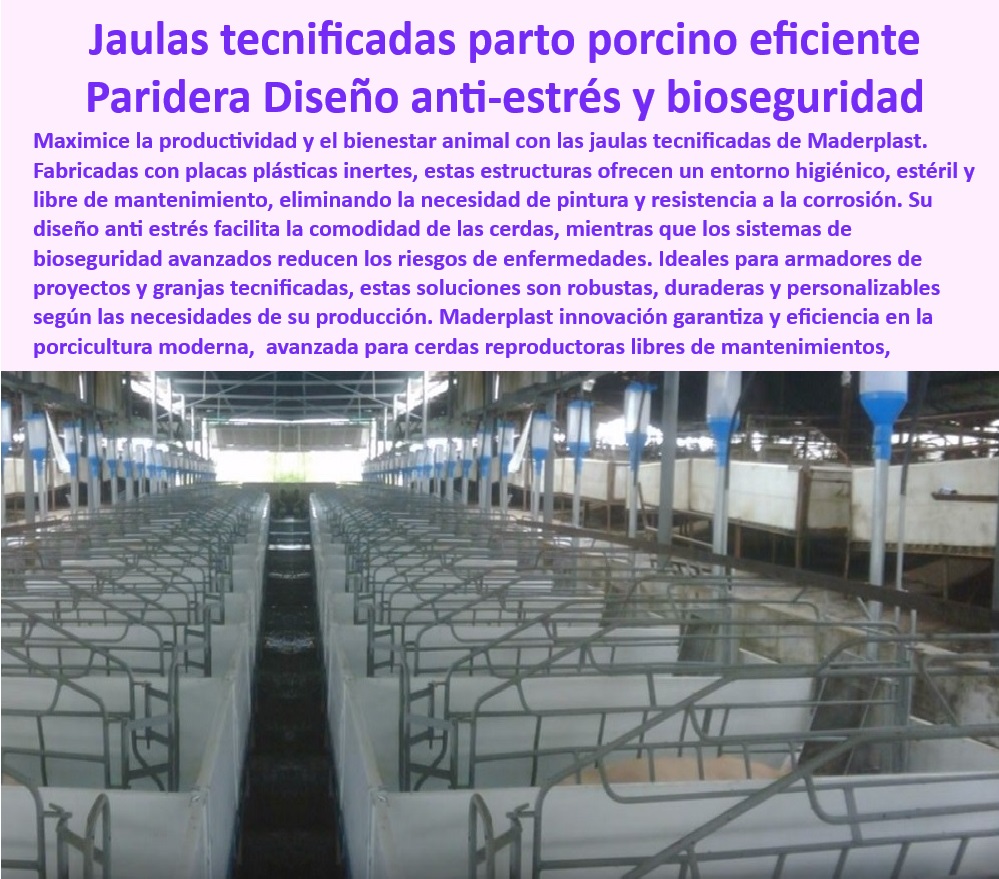 Parideras porcinas higiénicas resistentes Parto cerdas fácil limpieza Maderplast Parideras con integración de pisos antideslizantes y seguros Sistemas de maternidad con control térmico Parideras para cerdas madre con sistemas drenajes 0 ¿Dónde comprar jaulas tecnificadas para maternidad porcina? - Diseño-Ergonómico-Parideras - ¿Cuáles son las mejores parideras para cerdas madre? - Infraestructura sin mantenimiento para cerdos - Parto-Porcino-Eficiente - Jaulas personalizables para cerdas madre - Parideras eficientes para manejo de cerdas - Parideras resistentes a la corrosión. - Jaulas tecnificadas para maternidad porcina - Innovación-En-Maternidad-Porcina - Materiales duraderos para jaulas de cerdas. - Jaulas para cerdas con drenaje eficiente - Sistemas de bioseguridad para cerdas - Soluciones Avanzadas Porcinas - Parideras-Resistentes-Cerdas - ¿Qué sistemas de parto porcino garantizan bioseguridad? - Infraestructura para maternidades porcinas - Jaulas higiénicas de fácil limpieza - ¿Qué parideras ofrecen control térmico y drenaje eficiente? - Instalaciones higiénicas en granjas tecnificadas - Parideras modernas con bioseguridad optimizada - Diseño ergonómico en parideras porcinas. - Parideras de cerdas madre modernas - ¿Cómo elegir jaulas higiénicas para granjas tecnificadas? - Jaulas-Tecnificadas-Maternidad - Jaulas antideslizantes para granjas tecnificadas - Diseño avanzado en maternidad porcina - Sistemas de parto porcino avanzados - Control-Térmico-En-Parideras - Jaulas robustas para maternidad de cerdos - Jaulas-Higiénicas-Sin-Mantenimiento - Sistemas con control térmico para parideras - Jaulas de plástico para cerdas madre. - Soluciones modernas para porcicultura - Innovación en jaulas porcinas tecnificadas - Infraestructura-Porcicultura-Moderna - Sistemas-Bioseguridad-Cerdas - Jaulas desmontables para parto seguro - Soluciones sostenibles para granjas de cerdos - Equipos higiénicos para cría de cerdos Parideras porcinas higiénicas resistentes Parto cerdas fácil limpieza Maderplast Parideras con integración de pisos antideslizantes y seguros Sistemas de maternidad con control térmico Parideras para cerdas madre con sistemas drenajes 0   