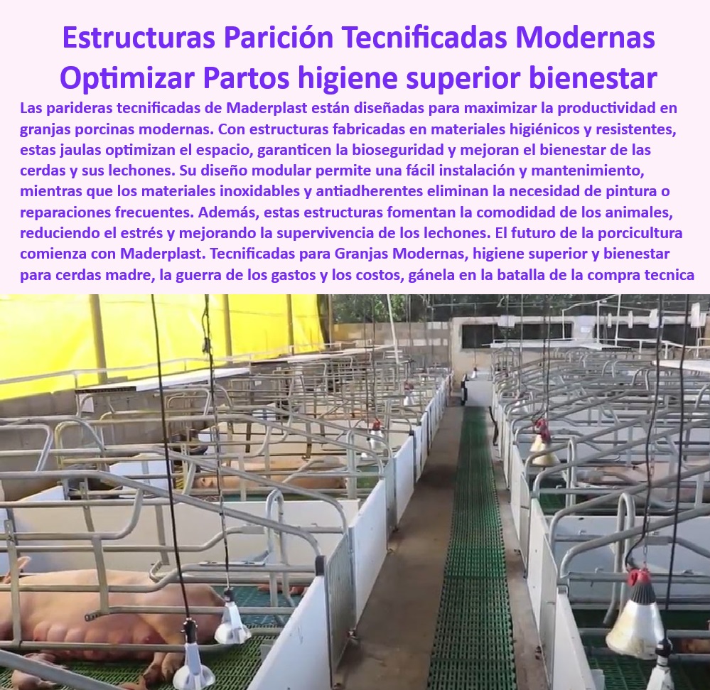 Parideras porcinas higiénicas resistentes Parto cerdas fácil limpieza Maderplast Tecnología sencilla para manejo de cerdas Infraestructura modular para granjas porcinas Parideras modulares con aislamiento térmico avanzado Parideras 0 Parideras porcinas higiénicas - Sistemas de manejo para cerdas - Infraestructura duradera para maternidad - Infraestructura avanzada para parideras - Diseño modular para granjas tecnificadas. - Parideras económicas para granjas - Aislamiento-Térmico-En-Parideras - Manejo eficiente en granjas porcinas - Parto de cerdas eficiente - Instalaciones modernas para parición - Tecnología avanzada para maternidad - Manejo-Eficiente-De-Cerdas - Maternidad porcina sostenible - Sistemas de parición tecnificados - Soluciones modulares para porcicultura - Infraestructura modular para granjas - ¿Qué ventajas tienen las parideras de plástico para cerdas? - Parideras-Modulares-Higiénicas - ¿Cómo optimizar la infraestructura de una granja porcina moderna? - Maternidad-Porcina-Sostenible - Materiales antimicrobianos para parideras. - Infraestructura-Porcina-Tecnificada - Reducción de costos operativos porcinos - Parideras con aislamiento térmico - Materiales innovadores para granjas. - Bioseguridad-En-Parideras - Reducción del estrés en cerdas - ¿Cuáles son las mejores parideras para cerdas? - Soluciones prácticas para cerdas preñadas - Materiales higiénicos para parideras. - ¿Dónde comprar parideras higiénicas para granjas porcinas? - Diseño higiénico para el bienestar animal. - Bioseguridad en maternidad porcina - Parideras resistentes a la corrosión. - Parideras-Fáciles-De-Limpiar - Infraestructura-Avanzada-Porcina - ¿Qué sistema modular recomiendan para maternidad porcina? - Soluciones-Duraderas-Porcinas - Parideras fáciles de limpiar - Diseño modular para granjas Parideras porcinas higiénicas resistentes Parto cerdas fácil limpieza Maderplast - Tecnología sencilla para manejo de cerdas - Infraestructura modular para granjas porcinas - Parideras modulares con aislamiento térmico avanzado - Parideras