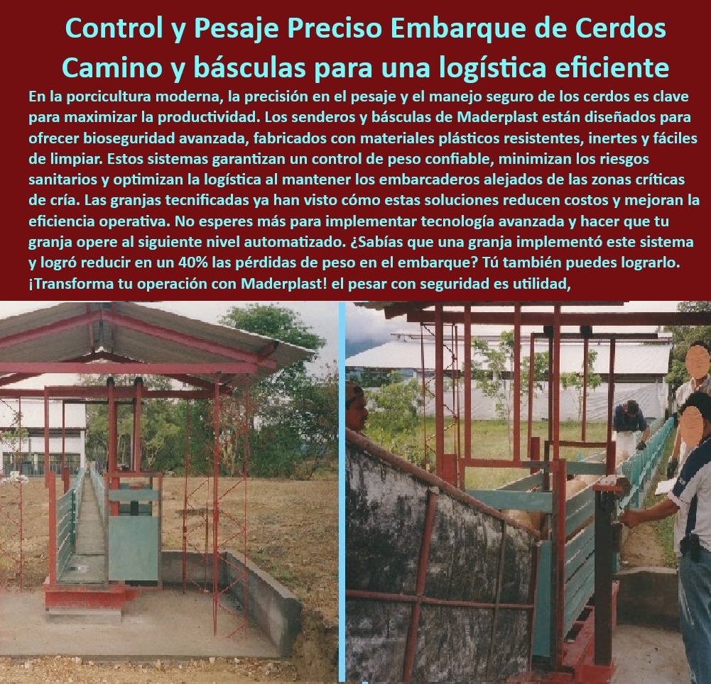 Pesaje preciso para cerdos Sistema para embarcar y pesar cerdos Maderplast Instalación de senderos plásticos para cerdos Sistema integrado para pesar y embarcar cerdos Control de peso fácil en granjas porcinas Básculas para porcinos 0 Senderos-Logísticos-Para-Cerdos - Senderos plásticos para granjas porcinas - Equipos robustos para logística en porcicultura - Sistemas integrados para manejo de porcinos - ¿Qué sistema de pesaje es ideal para embarcar cerdos? - Infraestructura-Para-Logística-Porcina - Senderos-Plásticos-Para-Granjas - Rampas de embarque sin mantenimiento - Básculas ecológicas y sostenibles para cerdos - Sistemas eficientes de logística porcicultura - Pesaje-Y-Embarque-Eficiente - Pesaje-Preciso-En-Porcicultura - ¿Cómo instalar básculas para cerdos en granjas tecnificadas? - Materiales plásticos para manejo porcino - Pesaje automático para cerdos tecnificados - Sistemas de pesaje y embarque porcino - ¿Cuáles son los beneficios de los senderos plásticos en la porcicultura? - Respuestas estructuradas de Maderplast ¿Qué soluciones de pesaje porcino ofrecen precisión y bioseguridad? - Básculas duraderas para granjas modernas - Reducción de pérdidas en embarques porcinos - Control de peso porcino - Rampas para embarcar seguro porcino - Soluciones innovadoras en pesaje de cerdos - Básculas con bioseguridad para granjas porcinas - Senderos resistentes a la corrosión para cerdos - Infraestructura modular para logística porcina - Sistemas higiénicos para pesaje en porcicultura - Rampas-Seguras-De-Embarque - Control preciso de peso en cerdos - Control de peso confiable para cerdos - Básculas-Para-Cerdos-Tecnificadas - Básculas-Con-Bioseguridad-Maderplast - ¿Dónde comprar rampas de embarque resistentes para cerdos? - Instalación de senderos plásticos para granjas. - Básculas resistentes para manejo porcino - Infraestructura avanzada para embarque de cerdos - Infraestructura para transporte y pesaje seguro. - Soluciones-Porcinas-Innovadoras - Pesaje exacto en granjas tecnificadas - Básculas tecnificadas para cerdos Pesaje preciso para cerdos Sistema para embarcar y pesar cerdos Maderplast - Instalación de senderos plásticos para cerdos - Sistema integrado para pesar y embarcar cerdos - Control de peso fácil en granjas porcinas - Básculas para porcinos