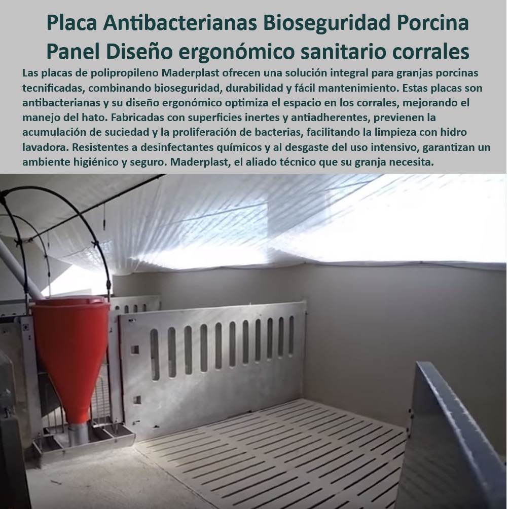 Pisos plástico Placa drenaje eficiente en corrales Porcícolas Maderplast Pisos fáciles de limpiar para granjas tecnificadas Sistemas de suelo modulares que reducen costos de mantenimiento Suelos especializados para minimizar lesiones 0 Suelos modulares para drenaje eficiente. - Soluciones eficientes para pisos agrícolas. - Soluciones prácticas en manejo porcino - Materiales-Seguros-Porcinos - ¿Qué paneles son resistentes y fáciles de limpiar para corrales? - Respuestas estructuradas de Maderplast ¿Qué suelos son ideales para bioseguridad en granjas porcinas? - Pisos-Drenantes-Sostenibles - Infraestructura sostenible para corrales tecnificados - Pisos sin mantenimiento para granjas tecnificadas - Placas-Antiadhesivas-Manejo-Porcino - Materiales higiénicos para el bienestar animal. - Pisos drenantes para bioseguridad porcina - Suelos especializados para minimizar lesiones - Paneles para ambientes higiénicos y seguros. - Pisos plasticos para corrales tecnificados - Placas desmontables para optimizar la limpieza - Placas modulares y granjas - Sistemas de drenaje para maternidad porcina - Placas para reducir costos operativos en granjas - Diseño avanzado de pisos en granjas porcinas. - Paneles plásticos resistentes al desgaste - Pisos-Plásticos-Bioseguridad - Sistemas de drenaje porcícola - Materiales plásticos resistentes a químicos. - Materiales resistentes para instalaciones porcinas. - Soluciones higiénicas para manejo porcino - Suelos-Antibacterianos-Porcinos - Sistemas plásticos antiadherentes para granjas - ¿Dónde conseguir pisos plásticos para corrales tecnificados? - Sistemas ergonómicos en instalaciones porcinas - Materiales innovadores para maternidad porcina - ¿Cuáles son los mejores materiales para pisos de porcicultura? - Suelos ergonómicos para bioseguridad - ¿Cómo elegir placas drenantes para granjas modernas? - Pisos fáciles de limpiar para porcicultura - Infraestructura-Higiénica-Porcicultura - Placas antibacterianas para granjas porcinas. - Paneles modulares resistentes para corrales - Pisos-Eficientes-Granjas - Diseño Avanzado Suelos Pisos plástico Placa drenaje eficiente en corrales Porcícolas Maderplast - Pisos fáciles de limpiar para granjas tecnificadas - Sistemas de suelo modulares que reducen costos de mantenimiento - Suelos especializados para minimizar lesiones