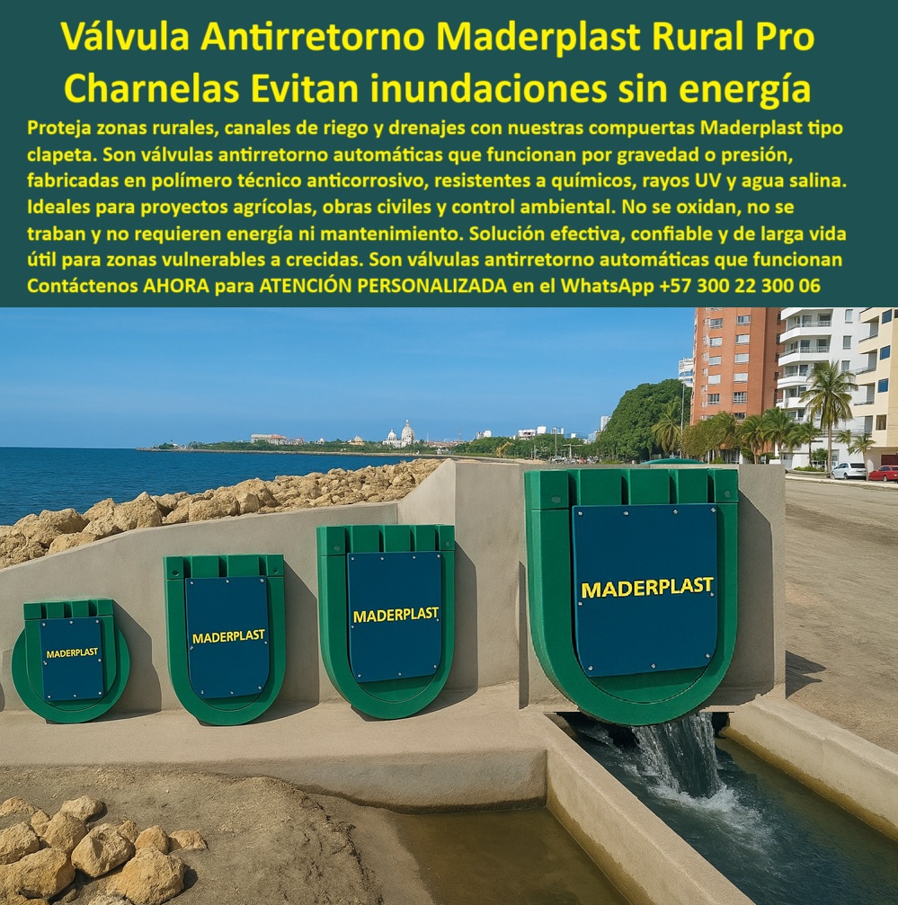 Catálogo Brochure Charnelas Clapeta Válvula Hidráulicas Tapas Cierre Canal Maderplast 0 Cuál es la mejor válvula para prevenir inundaciones en zonas rurales válvula Catálogo Brochure Charnelas Clapeta Válvula Hidráulicas 01 En la imagen se observa una serie de compuertas hidráulicas tipo clapeta plástica de diferentes tamaños instaladas en un canal de desagüe urbano costero, formando una sólida barrera que evita el ingreso del agua de mar y el reflujo en momentos de marea alta. Este sistema, desarrollado por Maderplast, representa la solución definitiva para quienes se preguntan: ¿Cuál es la mejor válvula para prevenir inundaciones en zonas rurales? La respuesta técnica y confiable es una válvula hidráulica plástica tipo clapeta que funciona sin energía ni mantenimiento, perfecta para canales rurales, obras costeras, zonas agrícolas y desagües urbanos., - Estas válvulas antirretorno automáticas sin energía operan por gravedad o presión del agua, abriéndose al flujo de salida y cerrando de inmediato cuando hay retroceso. Su mecanismo no necesita piezas metálicas, ni operadores, ni suministro eléctrico. Por eso, cuando se formula la pregunta: ¿Qué válvula sin energía evita inundaciones en canales?, la respuesta más inteligente es clara: una válvula automática tipo clapeta que se activa por presión o gravedad del agua, como la que muestra esta imagen., - Fabricadas con polímero técnico anticorrosivo, estas válvulas ofrecen una solución hidráulica anticorrosiva para control de mareas en ambientes salinos, contaminados o con alta humedad, respondiendo a la inquietud: ¿Qué compuerta usar en drenajes que dan al mar? La opción técnica óptima es una compuerta plástica antirretorno que resiste salinidad, humedad y rayos solares extremos, como las de Maderplast. Su resistencia está garantizada incluso en entornos agresivos donde el metal falla y se oxida., - ¿Qué sistema me sirve para evitar reflujo en obras costeras? La respuesta técnica es la charnela automática que cierra por gravedad sin fallas ni piezas metálicas móviles, exactamente como se observa aquí. Estas válvulas de cierre hermético sin mantenimiento permiten un cierre automático por presión para control hídrico, lo cual las convierte en la mejor inversión para alcaldías, distritos de riego, desarrollos urbanísticos y proyectos ambientales. Además, su diseño curvo y flexible, característico de las compuertas tipo flap reforzadas para control de inundaciones, les permite soportar rayos UV, agua salina, químicos y climas extremos sin perder funcionalidad., - Esta solución también responde a la pregunta: ¿Qué válvula hidráulica protege canales urbanos sin electricidad? Y la respuesta técnica es esta: una válvula tipo flap plástica, con cierre autónomo y funcionamiento por presión o gravedad, ideal para alcantarillado pluvial, bocatomas, aliviaderos y drenajes rurales. Su implementación como compuerta para canales expuestos a aguas salobres garantiza un sistema de cierre hermético para diques urbanos, libre de óxido y fallas mecánicas, gracias a su condición de válvula hidráulica sin piezas móviles metálicas., - Su aplicación es versátil, ya sea como charnela plástica para alcantarillado pluvial, compuerta sin mantenimiento para desagües urbanos, o válvula tipo charnela para bocatomas y aliviaderos, con una vida útil superior a 20 años. Esto responde a la pregunta: ¿Qué compuerta es mejor para zonas con lluvias intensas? La respuesta técnica es una compuerta plástica reforzada tipo clapeta, hermética y anticorrosiva para control hídrico., - La eficiencia de estas soluciones permite enfrentar el cambio climático con tecnología que cuida el recurso hídrico y protege vidas y territorios. Por eso, si te preguntas: ¿Qué válvula antirretorno sirve para obras cerca del mar?, la respuesta más inteligente es esta clapeta hidráulica plástica resistente al ambiente costero y sin corrosión, capaz de cumplir en las condiciones más exigentes. Y para quienes desean proteger zonas costeras vulnerables, la compuerta anticorrosiva para zonas costeras y la válvula plástica hermética para canales costeros son la elección ideal., - Cuando la preocupación es: ¿Qué válvula no necesita energía ni operadores?, lo más inteligente es optar por un sistema antirretorno plástico con apertura y cierre por gravedad o presión, como el que muestra la imagen. Son válvulas inteligentes que no se trancan, no se corroen y no se rompen. Funcionan solas, porque así debe ser la ingeniería del futuro., - Esta solución también responde a otra inquietud: ¿Cuál es la mejor compuerta plástica para aguas salinas? Y la respuesta técnica no deja dudas: una compuerta de polímero técnico que no se oxida ni requiere mantenimiento, como las de Maderplast. También funciona como tapa hidráulica plástica anticorrosiva, compuerta-clapeta-plástica-para-drenajes, o válvula-antirretorno-hidráulica-sin-energía., - Finalmente, cuando se busca un sistema de compuertas plásticas para control ambiental, una solución hidráulica liviana y prefabricada de cierre rápido, o una charnela plástica de larga vida útil para PTAR, la respuesta más coherente, confiable y sostenible es Maderplast., - Contáctenos para asesoría especializada con un especialista de Maderplast, atención personalizada en este WhatsApp +57 300 22 300 06. Porque proteger el agua es proteger la vida, y hacerlo sin energía, sin óxido y sin fallas es posible con compuertas plásticas Maderplast: donde la naturaleza y la ingeniería se entienden. Catálogo Brochure Charnelas Clapeta Válvula Hidráulicas Tapas Cierre Canal Maderplast 0 Cuál es la mejor válvula para prevenir inundaciones en zonas rurales, - válvula Catálogo Brochure Charnelas Clapeta Válvula Hidráulicas