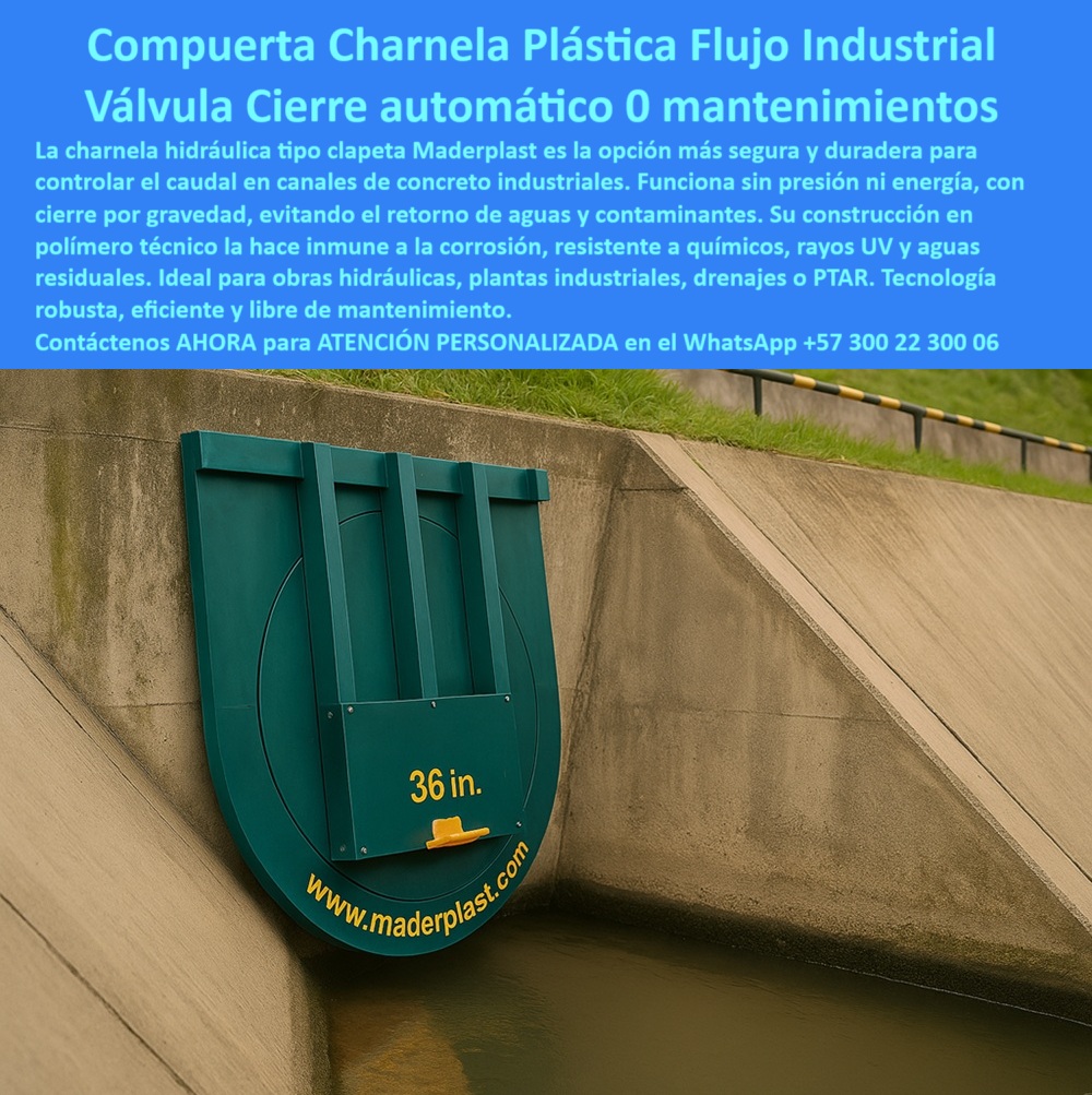 Charnela Hidráulica Para Control De Caudal En Ríos Charnelas Antiretorno Maderplast 0 sistema hidráulico industrial válvulas tipo charnela instaladas en canales de concreto Charnela de retención automática para flujo Mar 01 Frente a nosotros se alza una estructura hidráulica confiable, técnica y robusta: una charnela hidráulica para control de caudal en ríos, fabricada por Maderplast. La escena capturada revela la instalación de una válvula tipo charnela de 36 pulgadas en un canal industrial revestido en concreto, diseñada para permitir un flujo unidireccional y bloquear automáticamente cualquier intento de reflujo químico, aguas contaminadas o residuales. Esta compuerta tipo clapeta para canal industrial representa la respuesta más avanzada a una necesidad crítica en infraestructura: asegurar un flujo constante sin energía, sin presión y sin mantenimiento., - Su construcción en polímero técnico, visible a simple vista por su textura y geometría reforzada, elimina todo riesgo de oxidación. Esta válvula hidráulica automática sin energía no se ve afectada por químicos agresivos, rayos UV, ni aguas residuales industriales, gracias a su resistencia química integral. Su diseño curvo y su cuerpo vertical con nervaduras estructurales garantizan un cierre automático por gravedad, haciendo de esta charnela-automática-sin-energía una solución confiable, incluso bajo condiciones extremas., - ¿Qué compuerta se recomienda para canal de concreto industrial? Esta imagen lo responde visual y técnicamente: una válvula tipo charnela anticorrosiva de alta durabilidad instalada en concreto, que se adapta a canales estructurales, a plantas industriales, PTAR, sistemas pluviales y zonas de evacuación donde los errores no son tolerables. Esta es la válvula-hidráulica-industrial ideal para quienes buscan cero fallos, cero mantenimiento y control total de caudales agresivos o contaminados., - Su funcionamiento pasivo convierte esta tecnología en una válvula sin presión para obras industriales, donde no se requiere electricidad, ni sensores, ni intervención humana. Operando únicamente por el empuje del flujo, la válvula se abre cuando debe y se cierra cuando el reflujo intenta regresar. El resultado: una válvula de retención sin energía ni mantenimiento, que actúa como escudo protector de todo el sistema posterior., - ¿Qué tipo de válvula usar sin óxido ni energía? Justamente esta: una válvula de cierre automático en concreto, que se convierte en la preferida por contratistas de gran escala, diseñadores hidráulicos y responsables de operación de PTAR industriales. El sistema hidráulico-industrial mostrado en la imagen cumple con la demanda de control de flujo unidireccional en canal, pero sin la necesidad de estructuras metálicas, ni lubricación, ni ajustes constantes., - El color verde intenso de la compuerta resalta sobre el concreto inclinado del canal, indicando su presencia técnica y su diseño orientado a durar décadas. Esta es una válvula plástica resistente a químicos, que cumple su función sin generar obstrucciones ni puntos de falla. Y al tratarse de una compuerta-plástica-check, también responde a las exigencias de sostenibilidad, eficiencia energética y bajo impacto ambiental., - ¿Imagen de válvula hidráulica en canal estructural? Aquí está: una válvula tipo check industrial 36 pulgadas, instalada con precisión milimétrica en una obra de evacuación crítica. Su presencia garantiza que ningún contaminante vuelva atrás, que el sistema se mantenga libre de fallas, y que los operadores puedan confiar en una tecnología diseñada para resistir., - Además, esta válvula sin mantenimiento industrial tiene ventajas comprobadas para caudales industriales de alto flujo. Es ligera para transportar, simple de instalar, y poderosa al operar. El canal fluye limpio, sin turbulencias, con una pendiente cuidadosamente diseñada que alimenta el sistema por gravedad., - ¿Cuál es la válvula más duradera para aguas industriales? La respuesta es evidente: la que no se oxida, no se atasca, no requiere energía y no falla nunca. Esta es la solución: una compuerta plástica con cierre automático por gravedad sin presión, fabricada por Maderplast, respaldada por décadas de experiencia, y validada en obras reales., - Para instalaciones donde la precisión hidráulica se convierte en supervivencia de la infraestructura, Maderplast entrega esta válvula hidráulica para canal de riego industrial, lista para proteger, resistir y durar. Este sistema de control hidráulico sin mantenimiento es la herramienta que convierte la ingeniería en confianza., - Contáctenos AHORA para ASESORÍA PERSONALIZADA en el WhatsApp +57 300 22 300 06, y diseñe con nosotros su sistema de compuertas para canales industriales, plantas PTAR, ríos técnicos o drenajes de zonas industriales sin presión., - Porque con Maderplast, el control del caudal no solo es técnico… también es definitivo. Charnela Hidráulica Para Control De Caudal En Ríos Charnelas Antiretorno Maderplast 0 sistema-hidráulico-industrial, - válvulas tipo charnela instaladas en canales de concreto, - Charnela de retención automática para flujo Mar