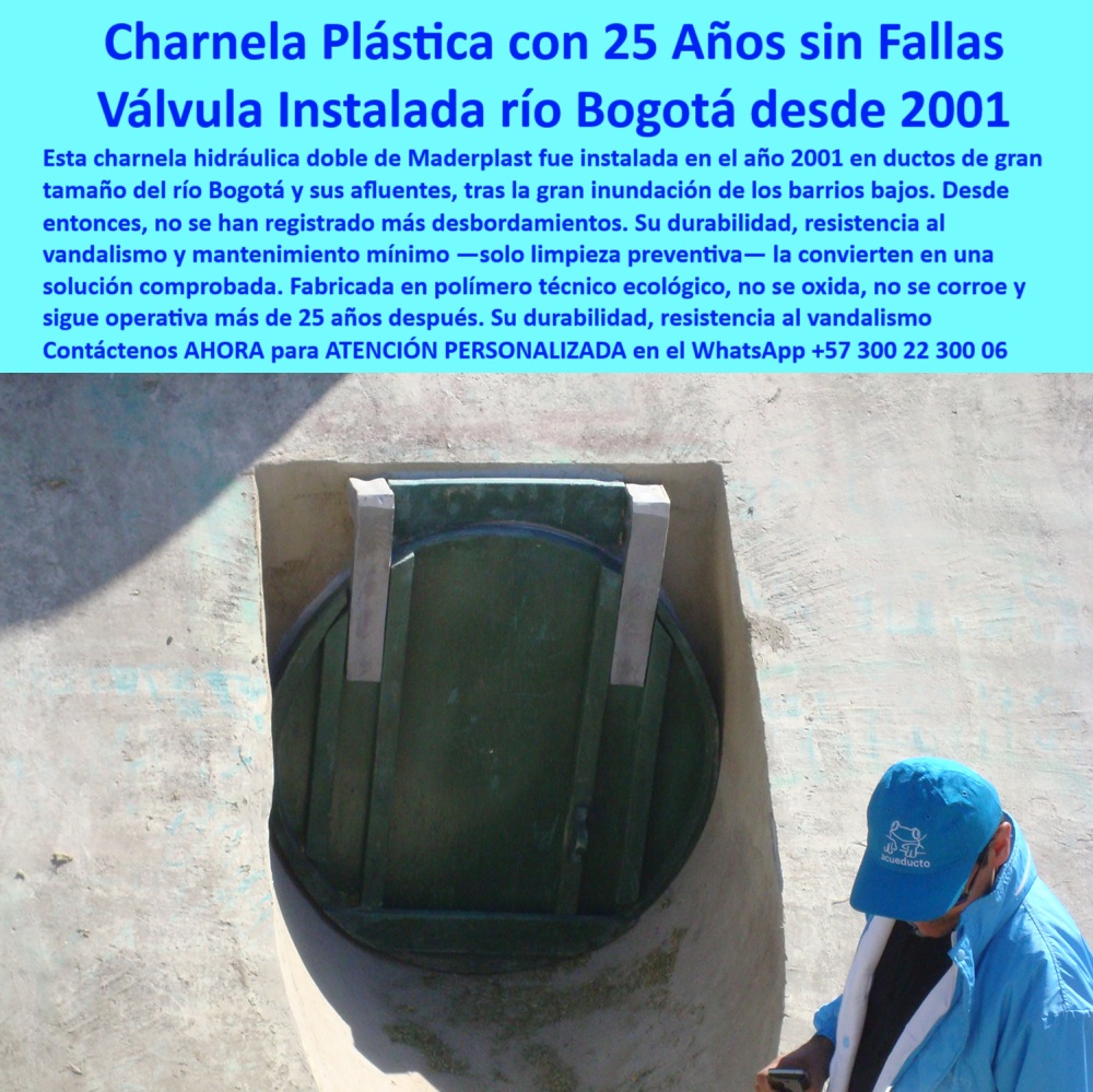 Charnela Para Canales Anti Retorno Instalación Charnelas Anti Inundaciones Maderplast 0 Cómo instalar compuertas plásticas en ductos de gran tamaño charnela hidráulica doble compuerta ecológica para control hídrico Ptar 01 En la imagen se observa una charnela hidráulica circular fabricada en polímero técnico, instalada desde el año 2001 en un ducto curvo de concreto perteneciente al sistema pluvial del río Bogotá. La compuerta aparece firmemente ajustada en la boca del canal, perfectamente alineada, sin señales de óxido ni deterioro. Dos refuerzos metálicos visibles sobre la tapa garantizan el sello hermético y la fijación estructural. Un operario uniformado con chaqueta azul y gorra institucional realiza una inspección visual técnica, certificando que, tras 25 años de funcionamiento, la válvula sigue en condiciones óptimas, operando sin fugas, sin fallas y sin haber requerido mantenimiento alguno. Esta válvula circular representa la excelencia en compuertas hidráulicas duraderas, ecológicas y libres de corrosión., - Cuando un sistema pluvial debe funcionar por décadas sin interrupciones, sin oxidarse, sin deformarse y sin intervención técnica, la solución no es metálica ni improvisada: la solución es clara, técnica, probada y confiable. Esta charnela-hidráulica-doble, instalada por Maderplast en el año 2001 en los ductos del canal del río Fucha, conectados al río Bogotá, es el mejor ejemplo de compuerta ecológica para control hídrico PTAR que supera la prueba del tiempo. Después de más de dos décadas de servicio continuo, esta válvula hidráulica en ducto de concreto curvo se mantiene operativa, sin oxidación, sin reemplazos, sin necesidad de soldaduras ni partes metálicas móviles que fallen., - Se trata de una válvula antirretorno plástica con 25 años operativa, diseñada para evitar desbordamientos en canales urbanos de alto caudal. Su operación automática —por presión del agua y cierre por gravedad— elimina la necesidad de sistemas eléctricos o supervisión constante. Es una compuerta plástica instalada en canal hidráulico desde 2001, inspeccionada recientemente como parte del Plan Maestro de Alcantarillado de Bogotá, y seleccionada nuevamente por contratistas e instituciones como la CAR, la EAAB y Power China para su implementación en el nuevo canal Tintal 3 y en el sistema PTAR Canoas., - ¿Cuál válvula usar para evitar desbordamientos en canales? —INMEDIATO— Charnela hidráulica antirretorno para ductos urbanos de gran caudal. ¿Qué válvula lleva 25 años funcionando en el río Bogotá? —INMEDIATO— Charnela hidráulica plástica instalada en 2001 sin fallas ni corrosión., - Esta es una válvula-plástica-con-duración-de-25-años, una verdadera solución definitiva para sistemas antirretorno para alcantarillado pluvial, diseñada específicamente para soportar ambientes urbanos agresivos, vandalismo, presión hidráulica elevada y ciclos constantes de uso sin degradarse. Ideal para ductos de canalización masiva, esta compuerta antirretorno para ducto de gran tamaño ha demostrado que una inversión inteligente en tecnología hidráulica ecológica no solo es posible, sino necesaria., - ¿Qué compuerta usar en el Plan Maestro de Alcantarillado? —INMEDIATO— Válvula antirretorno instalada desde 2001 en canal del río Bogotá., - Si usted necesita una válvula hidráulica sin mantenimiento en canal urbano, esta es la referencia obligada. Si busca una compuerta hidráulica aprobada por autoridades ambientales, esta es la evidencia. Si quiere una tapa de inspección con válvula automática para canal que no requiera recambios ni ajustes, que funcione 24/7, que no falle ni se deteriore, esta imagen es su argumento. Porque cuando se trata de compuertas resistentes al vandalismo y la corrosión, no hay espacio para la improvisación. Lo que funcionó hace 25 años, hoy sigue superando las expectativas., - Y eso lo entendieron los ingenieros del Plan Canoas, quienes luego de inspeccionar esta misma instalación, aprobaron el mismo sistema de charnela circular reforzada para su nuevo proyecto. No porque sea lo más costoso, sino porque es lo más confiable. Porque se instala una vez y dura toda una generación., - Solicite ya asesoría especializada con un especialista de Maderplast, atención personalizada en este WhatsApp 57+ 300 22 300 06., - Maderplast no hace pruebas: entrega certezas. Diseñamos, fabricamos, instalamos y garantizamos compuertas que no fallan. Porque su proyecto hidráulico merece una solución real, sostenible y definitiva. Y esa solución está aquí. Charnela Para Canales Anti Retorno Instalación Charnelas Anti Inundaciones Maderplast 0 Cómo instalar compuertas plásticas en ductos de gran tamaño, - charnela-hidráulica-doble, - compuerta ecológica para control hídrico Ptar
