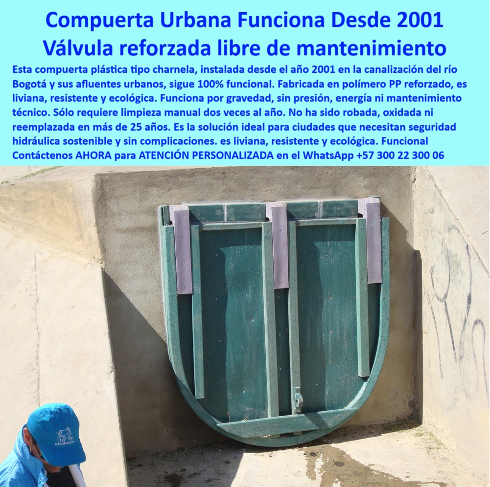 Charnela Para Canales Anti Retorno Instalación Charnelas Anti Inundaciones Maderplast 0 compuerta ecológica para control hídrico en ciudades compuerta plástica canal urbano compuerta liviana polímero resistente canales 0 La imagen captura uno de los testimonios más contundentes de durabilidad hidráulica urbana: la compuerta plástica tipo charnela número 89, instalada desde el año 2001 en el canal del río Fucha en Bogotá, aún 100% funcional. Esta válvula reforzada para alcantarillado pluvial, hecha en polímero PP técnico, ha resistido dos décadas sin oxidación, sin vandalismo, sin ser reemplazada ni robada, y operando con un rendimiento intacto. Es la prueba viva de que la charnela hidráulica plástica reforzada es la mejor decisión para la seguridad hídrica urbana cuando se requiere eficiencia sin mantenimiento., - ¿Qué compuerta dura más de 20 años en drenajes urbanos?, - LA SOLUCIÓN LA DA MADERPLAST: Válvula reforzada 100% funcional desde 2001, instalada en canal de concreto, sin energía, sin presión hidráulica forzada, y solo con mantenimiento mínimo: una limpieza manual dos veces por año. Esta es una compuerta ecológica para infraestructura pública hecha para durar., - ¿Cuál válvula sirve para aguas residuales sin mantenimiento?, - LA SOLUCIÓN LA DA MADERPLAST: Charnela de PP técnico, sin óxido ni energía, como esta válvula antirretorno para drenaje municipal que trabaja por gravedad, automáticamente, cerrándose sin asistencia mecánica, sin sensores ni partes metálicas móviles expuestas., - ¿Qué tapa es segura contra robos en canalización urbana?, - LA SOLUCIÓN LA DA MADERPLAST: Compuerta urbana reforzada con anclaje de concreto, como la que aparece aquí, con base curva y doble bisagra superior, instalada directamente sobre concreto canalizado, garantizando que no se zafe, no se oxide ni sea vandalizada., - ¿Qué sistema evita el reflujo en el alcantarillado?, - LA SOLUCIÓN LA DA MADERPLAST: Charnela hidráulica plástica con cierre pasivo, sin consumo energético, sin riesgo de corrosión. Estas compuertas de control para PTAR urbano son compatibles con redes pluviales y sanitarias, funcionando en entornos hostiles de ciudad., - Este sistema antirretorno plástico para ciudad ha sido validado por entidades técnicas como la EAAB, la CAR y contratistas internacionales como Power China, quienes han revisado e inspeccionado esta válvula urbana de instalación rápida en el marco del Plan Maestro de Alcantarillado de Bogotá – Plan Canoas y PTAR Canoas. Resultado: prueba superada, cliente satisfecho, compra repetida para el canal Tintal 3., - Estamos hablando de una válvula circular para desagües de ciudad, tapa hidráulica ecológica para ductos, instalada en un sistema visible de concreto urbano, como se aprecia en la imagen. Es una charnela canalizada en drenaje urbano profundo, que ha demostrado ser una compuerta hidráulica urbana circular reforzada, con el mejor costo-beneficio técnico de largo plazo., - ¿Qué válvula funciona sin energía en canales pluviales?, - LA SOLUCIÓN LA DA MADERPLAST: Compuerta plástica circular con cierre por gravedad, como esta compuerta para control de reflujo urbano con baja presión, ideal para proyectos donde el mantenimiento debe ser mínimo y la funcionalidad máxima., - 📌 ¿Busca una válvula con más de 20 años de experiencia comprobada en campo? Contáctenos al WhatsApp +57 300 22 300 06. Maderplast entrega soluciones que no fallan., - 📐 ¿Tiene un canal pluvial o sanitario y necesita una tapa segura, ecológica y libre de mantenimiento? Escríbanos ya al +57 300 22 300 06. Le asesoramos personalmente., - 🔧 ¿Necesita compuertas técnicas resistentes al clima urbano, vandalismo y corrosión? Pida su cotización en +57 300 22 300 06. Su obra merece soluciones Maderplast. Charnela Para Canales Anti Retorno Instalación Charnelas Anti Inundaciones Maderplast 0 compuerta ecológica para control hídrico en ciudades, - compuerta-plástica-canal-urbano, - compuerta-liviana-polímero-resistente canales 0